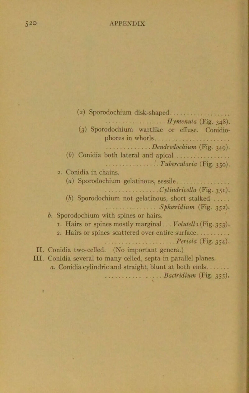 (2) Sporodochium disk-shaped Hymenula (Fig. 348). (3) Sporodochium wartlike or effuse. Conidio- phores in whorls Dctidrodochium (Fig. 349). {b) Conidia both lateral and apical Tubercularia (Fig. 350). 2. Conidia in chains. (o) Sporodochium gelatinous, sessile Cylindricolla (Fig. 351). (b) Sporodochium not gelatinous, short stalked Sphccridiinn (Fig. 352). b. Sporodochium with spines or hairs. 1. Hairs or spines mostly marginal. . . Voluklli (Fig. 353). 2. Hairs or spines scattered over entire surface Periola (Fig. 354). II. Conidia two-celled. (No important genera.) III. Conidia several to many celled, septa in parallel planes. a. Conidia cylindric and straight, blunt at both ends ... Baclridium (Fig. 355), f
