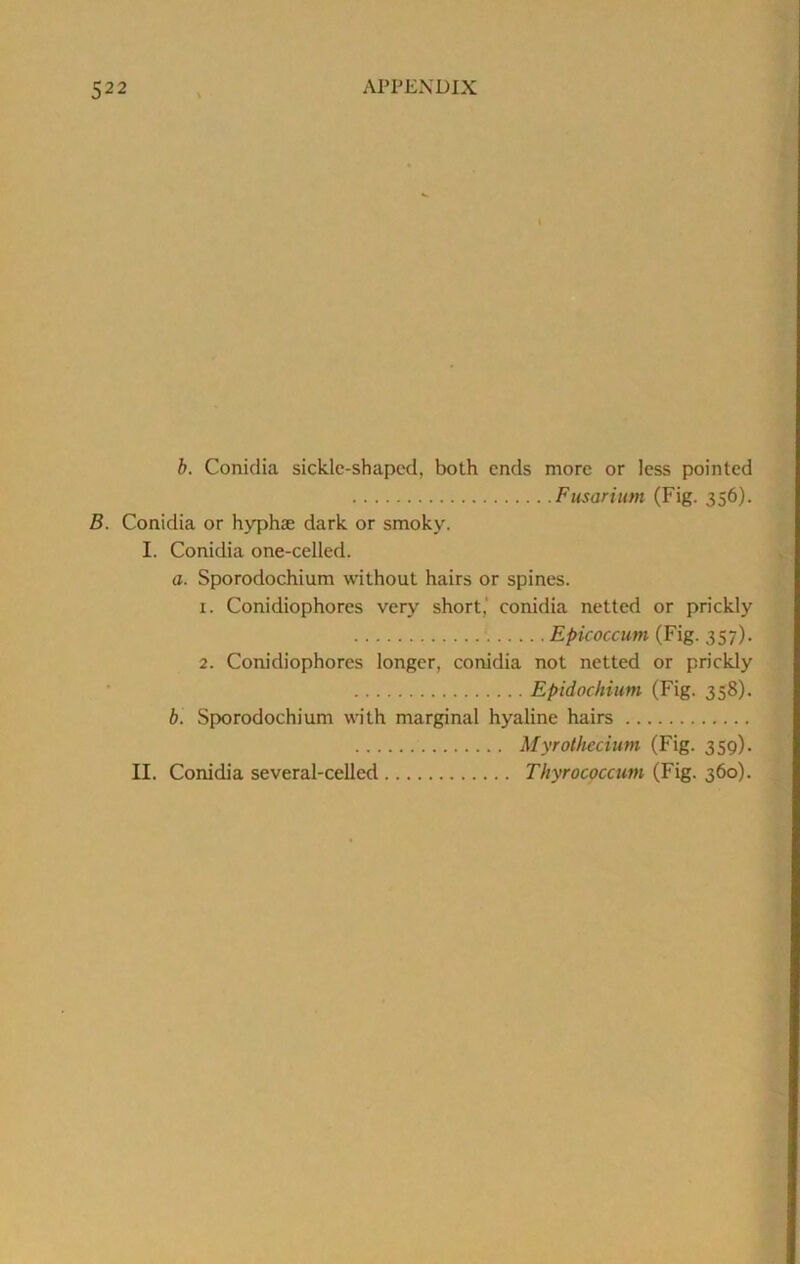 b. Conidia sickle-shaped, both ends more or less pointed Fusarium (Fig. 356). B. Conidia or hyphae dark or smoky. I. Conidia one-celled. a. Sporodochium without hairs or spines. 1. Conidiophores very short,' conidia netted or prickly Epicoccum (Fig. 357). 2. Conidiophores longer, conidia not netted or prickly Epidochium (Fig. 358). b. Sporodochium with marginal hyaline hairs Myrothccium (Fig. 359). II. Conidia several-celled Thyrococcum (Fig. 360).