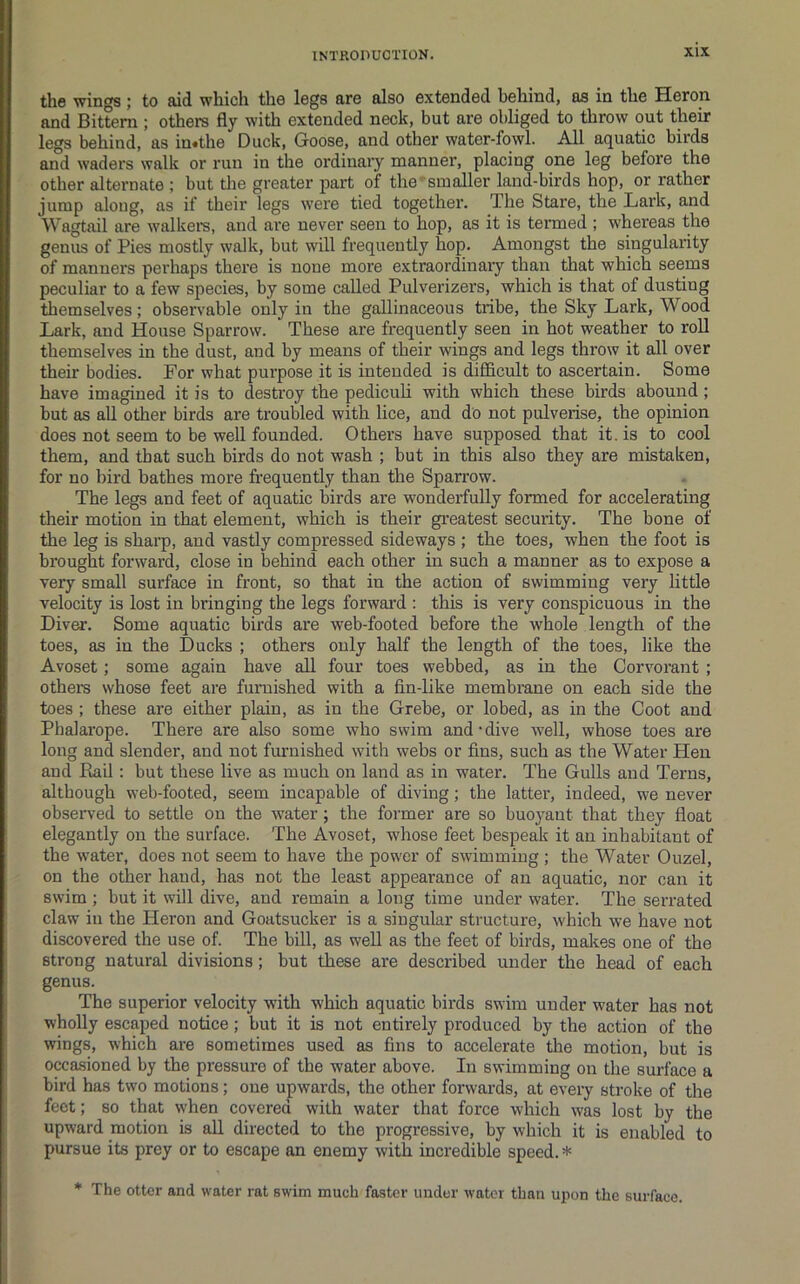 the wings ; to aid which the legs are also extended behind, as in the Heron and Bittern ; others fly with extended neck, but are obliged to throw out their legs behind, as in«the Duck, Goose, and other water-fowl. All aquatic birds and waders walk or run in the ordinary manner, placing one leg before the other alternate ; but die greater part of the'■smaller land-birds hop, or rather jump along, as if their legs were tied together. The Stare, the Lark, and Wagtail are walkers, and are never seen to hop, as it is termed ; whereas the genus of Pies mostly walk, but will frequeutiy hop. Amongst the singularity of manners perhaps there is none more extraordinaiy than that which seems peculiar to a few species, by some called Pulverizers, which is that of dusting themselves; observable only in the gallinaceous tribe, the Sky Lark, Wood Lark, and House Sparrow. These are frequently seen in hot weather to roll themselves in the dust, and by means of their wings and legs throw it all over their bodies. For what purpose it is intended is difficult to ascertain. Some have imagined it is to destroy the pediculi with which these birds abound; but as all other birds are troubled with lice, and do not pulverise, the opinion does not seem to be well founded. Others have supposed that it. is to cool them, and that such birds do not wash ; but in this also they are mistaken, for no bird bathes more frequently than the Sparrow. The legs and feet of aquatic birds are wonderfully formed for accelerating their motion in that element, which is their greatest security. The bone of the leg is sharp, and vastly compressed sideways ; the toes, when the foot is brought forward, close in behind each other in such a manner as to expose a very small surface in front, so that in the action of swimming very little velocity is lost in bringing the legs forward : this is very conspicuous in the Diver. Some aquatic birds are web-footed before the whole length of the toes, as in the Ducks ; others only half the length of the toes, like the Avoset; some again have all four toes webbed, as in the Corvorant ; other’s whose feet are furnished with a fin-like membrane on each side the toes ; these are either plain, as in the Grebe, or lobed, as in the Coot and Phalarope. There are also some who swim and’dive well, whose toes are long and slender, and not furnished with webs or fins, such as the Water Hen and Hail: but these live as much on land as in water. The Gulls and Terns, although web-footed, seem incapable of diving; the latter, indeed, we never obseiwed to settle on the water; the former are so buoyant that they float elegantly on the surface. The Avoset, whose feet bespeak it an inhabitant of the water, does not seem to have the power of swimming ; the Water Ouzel, on the other haud, has not the least appearance of an aquatic, nor can it swim; but it will dive, and remain a long time under water. The serrated claw in the Heron and Goatsucker is a singular structure, which we have not discovered the use of. The bill, as well as the feet of birds, makes one of the strong natural divisions; but these are described under the head of each genus. The superior velocity with which aquatic birds swim under water has not wholly escaped notice; but it is not entirely produced by the action of the wings, which are sometimes used as fins to accelerate the motion, but is occasioned by the pressure of the water above. In swimming on the surface a bird has two motions; one upwards, the other forwards, at every stroke of the feet; so that when covered with water that force which was lost by the upward motion is all directed to the progressive, by which it is enabled to pursue its prey or to escape an enemy with incredible speed. * * The otter and water rat swim much faster under water than upon the surface.