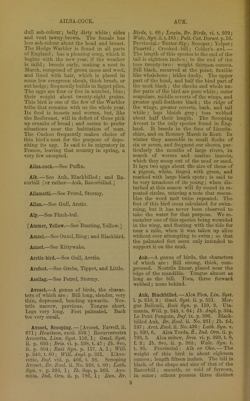 dull ash-colour; belly dirty white; sides and vent tawny-brown. The female has less ash-colour about the head and breast. The Hedge Warbler is found in all parts of England; has a pleasing song, which it begins with the new year, if the weather is mild; breeds early, maldng a nest in Mai'ch, composed of green moss and wool, and lined uith hair, which is placed in some low evergreen shrub, thick brush, or cut hedge; fi-equenUy builds in faggot piles. The eggs are four or five in number, blue; their weight about twenty-eight grains. This bird is one of the few of the Warbler tribe that remains with us the whole year. Its food is insects and worms, but, lilce the Eedbreast, will in defect of these pick up crumbs of bread; and seems to prefer situations near the habitation of man. The Cuckoo frequently makes choice of this bu’d’s nest for the purpose of depo- siting its egg. Is said to be migratory in France, leaving that country in spring, a very few excepted. Ailsa-cock.—See Puffin. Aik. — See Auk, Blackbilled; and Ea- zorbiU [or rather—Auk, Eazorbilled.] Allamotti.—See Petrel, Stormy. Allan.—See GuU, Arctic. Alp.—See Finch-bul. [Ammer, Yellow.—See Bunting, Yellow.] Amzel.—See Ouzel, Eing; and Blackbii'd. Annet.—See Kittywake. Arctic-bird.—See Gull, Arctic. Arsfoot.—See Grebe, Tippet, and Little. Assilag.—See Petrel, Stormy. Avoset.—^A genus of birds, the charac- ters of which are : BEl long, slender, very thin, depressed, bending upwards. Nos- trils narrow, pervious. Tongue short. Legs very long. Feet palmated. Back toe very smaE. Avoset, Scooping. — [Avocet, Yarrell, ii. 071; Hewitson, cxcii. 309.] Eecurverostra Avocetta, Linn. Syst. 150, 1; Gmel. Syst. ii. p. 093 ; Bris. vi. p. 538, t. 47; Ib. 8vo, ii. p. 504; Raii Syn. p. 117, A. 1; Will. p. 240, t. 00 ; Will. Anyl. p. 321. L’Avo- cette, Buf. vui. p. 400, t. 38. Scooping Avoset, Br. Zool. ii. No. 228, t. 80; Lath. Syn. V. p. 293, 1; Ib. Sup. p. 203. Avo- cetta, Ind. Om. ii, p. 780, 1; Uo«. Br. Birds, t. GO ; Lewin, Br. Birds, \i. t. 202; Wale. Syn.ii. 1.105; Pult. Cat. Dorset, p. 10. Piwiucial: Butter-fiip; Scooper; Yelper; Picarini ; Crooked - bill; Cobler’s - awl. — The length of this species to the end of the tail is eighteen inches; to tlie end of the toes twenty-two : weight thii-teen ounces. BDl black, recuiwed at the point, flexible like whalebone; hides dusky. The upper part of the head, and half the hind pai-t of the neck black; the cheeks and whole un- der parts of the bird are pure white; outer scapulars, middle coverts of the wings, and greater quid-feathers black; the ridge of the wings, greater coverts, back, and tail white ; legs bluish gi-ey; toes webbed about half them length. The Scooping Avoset is the only species foimd in Eng- land. It breeds in the fens of Lincoln- shire, and on Eomney Marsh in Kent. In winter they assemble in smaE flocks of six or seven, and frequent our shores, par- ticularly the mouths of large rivers, in search of worms and marine insects, which they scoop out of the mud or sand. It lays two eggs about tbe size of those of a pigeon, white, tingea with green, and mai’ked with large black spots; is said to be very tenacious of its young; when dis- turbed at this season will fly round in re- peated cii’cles, uttering a note that resem- bles the word twit twice repeated. The feet of this bird seem calculated for swim- ming, but it has never been observed to take the water for that purpose. We re- member one of this species being wounded in the wing, and floating vdth the tide for near a mEe, when it was taken up aEve without ever attempting to swim; so that the palmated feet seem only intended to support it on the mud. Auk.—A genus of birds, the characters of w'hich are: BiU strong, thick, com- pressed. Nostrils linear, placed near the ■edge of the mandible. Tongue almost as long as the biU. Toes, three forward webbed; none behind. Auk, BlackbiEed.—Alca Pica, Lin. Syst. i. p. 210, 2 ; Gmel. Syst. u. p. 551. Mer- gus BeEonii, Raii Syn. p. 119, 2. Uta- mania. Will. p. 243, t. 04; Ib. Angl. p. 324. Le Petit Pengoin, Buf. ix. p. 390. Black- bEled Auk, Br. Zool. u. No. 231; Ib. fol. 137; Arct. Zool. u. No. 420; Lath. Syn. v. p. 320, 0. Alca Torda, &., Ind. Om. u. p. 793, 5. Alca minor, Bris. ri. p. 923, t. 8, f. 2; Ib. 8vo, u. p. 383; Wale. Syn. i. t. 85. Provincial: Aik or Oke. — The weight of this burd is about eighteen ounces; length fifteen inches. Tire bEl is black, of the shape and size of that of the EazorbiE ; smooth, or void of furrow's, in some; others possess three distinct