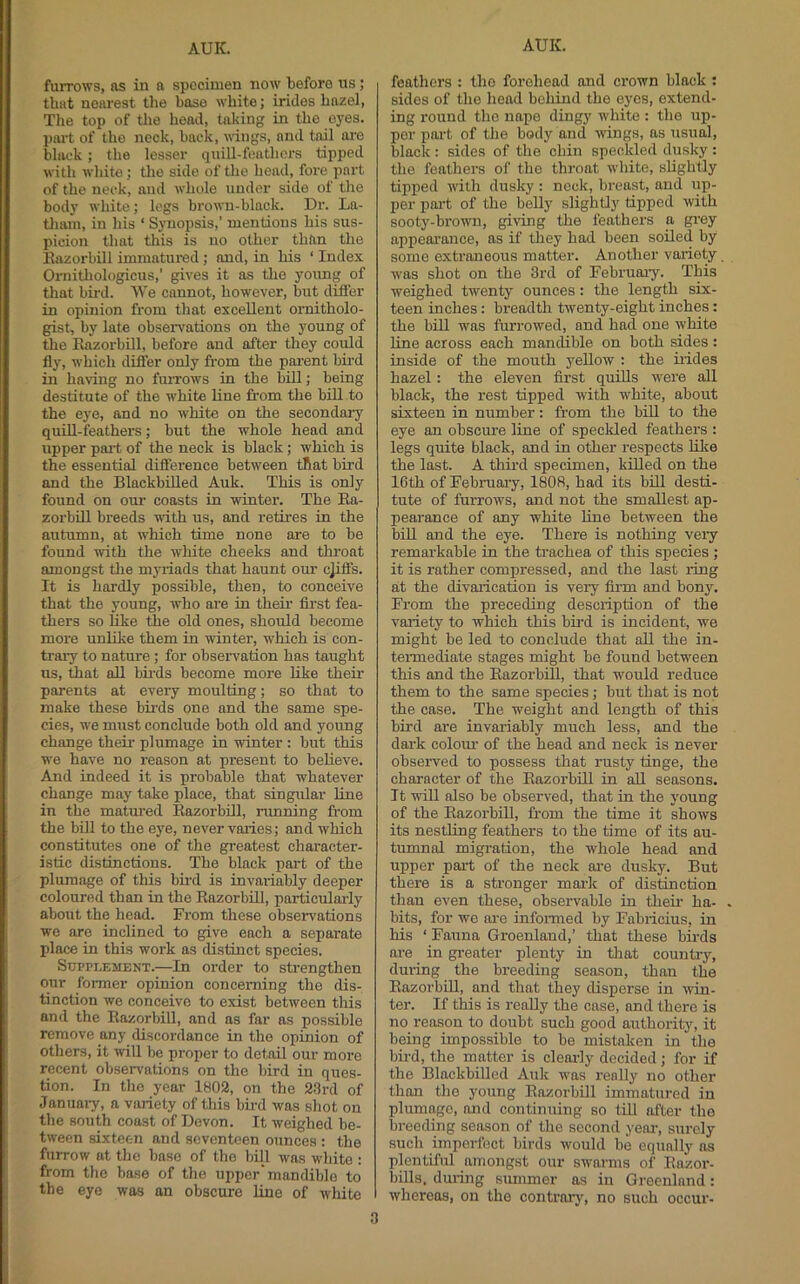 furrows, as in a specimen now before us; that nearest the base white; irides hazel, The top of the head, taking in the eyes. ])iu't of the neck, back, wings, and tail oi'e black; the lesser quill-feathers tipped with white; the side of the head, fore part of the neck, and whole under side of the body white; legs brown-black. Dr. La- tliain, in his ‘ Synopsis,’ mentions his sus- picion that this is no other than the Eazorbill immatured; and, in his ‘ Index Ornithologicus,’ gives it as the young of that bii-d. We cannot, however, but difier in opinion from that excellent ornitholo- gist, by late obsen'ations on the young of the Eazorbill, before and after they could fly, which differ only from the parent bird in having no furrows in the bill; being destitute of the white line from the bill to the eye, and no white on the secondary quiU-feathers; but the whole head and upper pai’t of the neck is black; which is the essential difi’erence between that bird and the BlackbiUed Auk. This is only found on oui’ coasts in winter. The Ea- zorbill breeds wnth us, and retires in the autumn, at which time none are to be found with the wliite cheeks and throat amongst the myriads that haunt om- c]ifis. It is hardly possible, then, to conceive that the young, who are in their first fea- thers so like the old ones, should become more unlike them in winter, which is con- trary to nature ; for observation has taught us, that aE birds become more like their parents at every moulting; so that to make these birds one and the same spe- cies, we must conclude both old and young change their plumage in winter : but this we have no reason at present to believe. And indeed it is probable that whatever change may take place, that singular Ene in the matm’ed Eazorbill, running from the bill to the eye, never varies; and which constitutes one of the greatest character- istic distinctions. The black part of the plumage of this bird is invariably deeper coloured than in the Eazorbill, paiticulariy aborrt the head. From these observations wo are inclined to give each a separate place in this work as distinct species. Supplement.—In or-der to str-engthen orrr former opinion concerming the dis- tinction we conceive to exist between this and the Eazorbill, and as far as possible remove any discordance in the opinion of others, it will be proper to detail our more recent observations on the bird in ques- tion. In the year 1802, on the 2.3rd of January, a vfiriety of this bird was shot on the south coast of Devon. It weighed be- tween sixteen and seventeen orrnces : the furrow at the base of the bill was w-hito : from the base of the upper'mandible to the eye was an obscure line of white feathers : the forehead and crown black; sides of the head behind the eyes, extend- ing round the nape dingy white : the up- per part of the body and wings, as usual, black : sides of the chin speckled dusky ; the feathers of the throat white, slightly tipped with dusky : neck, bi’east, and rrp- per par-t of the belly slightly tipped with sooty-brown, giving the feathers a grey appeai’ance, as if they had been soEed by some extraneous matter. Another variety ■was shot on the 3rd of February. This weighed twenty ounces: the length six- teen inches: breadth twenty-eight inches: the bill was furrowed, and had one white line across each mandible on both sides : inside of the mouth yellow : the irides hazel: the eleven first quills were all black, the rest tipped with white, about sixteen in number: from the bill to the eye an obscure line of speckled feathers : legs quite black, and in other respects hlie the last. A third specimen, killed on the IGth of February, 1808, had its bill desti- tute of furrows, and not the smallest ap- pear'ance of any white hne between the biU and the eye. There is nothing very remarkable in the trachea of this species ; it is rather comirressed, and the last ring at the divarication is very firm and bony. From the preceding description of the variety to which this bh'd is incident, we might be led to conclude that all the in- termediate stages might be found between this and the Eazorbill, that would reduce them to the same species; but that is not the case. The weight and length of this bird are invariably much less, and the dark coloru’ of the head and neck is never observed to possess that rusty tinge, the character of the EazorbiE in all seasons. It ■will also be observed, that in the young of the Eazorbill, from the time it shows its nesthng feathers to the time of its au- tumnal migration, the whole head and upper pari of the neck ar-e dirsky. But there is a stronger mark of distinction than even these, observable in their ha- bits, for we ai’o informed by Fabricius, in his ‘ Farrna Greenland,’ that these bfrds are in gr-eater plenty in that country, during the breeding season, than the EazorbiU, and that they disperse in win- ter. If this is really the case, and there is no reason to doubt such good authority, it being impossible to be mistaken in tire bird, the matter is cleor-ly decided; for if the Blackbilled Auk ■rvas really no other than the young Eazorbill imrnatrrred in plumage, and continuing so till after the breeding season of the second year-, surely such imperfect birds would be eqrrally as plentifirl amongst our s^warnrs of Eazor- bills, duriirg summer as iir Greenland : whereas, on the contrary, no such ocertr-