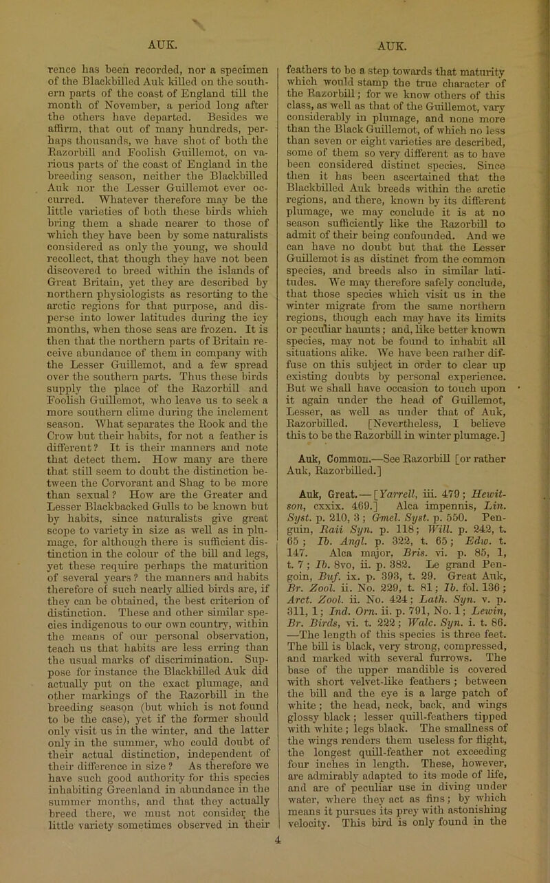 rence has been recorded, nor a specimen of the Blackbilled Auk killed on the south- ern parts of the coast of England till the month of November, a period long after the others have departed. Besides we affirm, that out of many hundreds, per- haps thousands, we have shot of both the Eazorbill and Foolish Guillemot, on va- rious parts of the coast of England in the breeding season, neither the Blackbilled Auk nor the Lesser Guillemot ever oc- curred. Whatever therefore may be the little varieties of both these birds which bring them a shade nearer to those of which thej' have been by some naturalists considered as only the young, we should 1‘ecollect, that though they have not been discovered to breed within the islands of Great Britain, yet they are described by northern physiologists as resorting to the arctic regions for that puipose, and dis- perse into lower latitudes during the icy months, when those seas are frozen. It is then that the northern parts of Britain re- ceive abundance of them in company with the Lesser Guillemot, and a few spread over the southern parts. Thus these birds supply the place of the Razorbill and Foolish Guillemot, who leave us to seek a more southern clime during the inclement season. What separates the Rook and the Crow but their habits, for not a feather is diffei’ent? It is their manners and note that detect them. How many are there that still seem to doubt the distinction be- tween the Corvorant and Shag to be more than sexual ? How ai-e the Greater and Lesser Blackbacked GuUs to be known but by habits, since naturalists give great scope to variety in size as weU as in plu- mage, for although there is sufficient dis- tinction in the colour of the bid and legs, yet these require perhaps the maturition of several years ? the manners and habits therefore of such nearly allied birds are, if they can be obtained, the best criterion of distinction. These and other similar spe- cies indigenous to our own country, within the means of our personal observ’ation, teach us that habits are less erring than the usual marks of disciimination. Sup- pose for instance the Blackbdled Auk did actually put on the exact plumage, and other markings of the Razorbill in the breeding seaspn (but which is not found to be the case), yet if the former should only visit us in the winter, and the latter only in the summer, who could doubt of their actual distinction, independent of their difference in size ? As therefore we have such good authority for this species inhabiting Greenland in abundance in the summer months, and that they actually breed there, we must not consider the little variety sometimes observed in their | feathers to bo o step towards that maturity which would stamp the true character of the Razorbill; for we know others of this class, as well as that of the Guillemot, vary considerably in plumage, and none more than the Black Guillemot, of which no less than seven or eight varieties are described, some of them so very different as to have been considered distinct species. Since then it has been ascertained that the Blackbilled Auk breeds wthin the arctic I'egions, and there, known by its different plumage, we may conclude it is at no season sufficiently like the Razorbill to admit of their being confounded. And we can have no doubt but that the Lesser Guillemot is as distinct from the common species, and breeds also in similar lati- tudes. We may therefore safely conclude, that those species which visit us in the winter migrate from the same northern regions, though each may have its limits or peculiar haunts; and, Hke better known species, may not be found to inhabit all situations alike. We have been rather dif- fuse on this subject in order to clear up existing doubts by personal experience. But we shall have occasion to touch upon it again under the head of Guillemot, Lesser, as well as under that of Auk, Razorbilled. [Nevertheless, I believe this to bo the Razorbill in winter plumage.] Auk, Common.—See Razorbill [or rather Auk, Razorbilled.] Auk, Great.— [FatTeZZ, iii. 479; Hewit- son, cxxix. 400.] Alca impennis, Lin. Syst. p. 210, 3 ; Gmel. Syst. p. 550. Pen- guin, Raii Syn. p. 118; Will. p. 242, t. 65 ; Ib. Angl. p. 322, t. 65; Edio. t. 147. Alca major, Bris. vi. p. 85, 1, t. 7 ; Ib. 8vo, ii. p. 382. Le grand Pen- goin, Buf. ix. p. 393, t. 29. Great Auk, Br. Zool. ii. No. 229, t. 81; lb. fol. 130 ; Arct. Zool. ii. No. 424; Lath. Syn. v. p. 311, 1; Ind. Orn. ii. p. 701, No. 1; Lewin, Br. Birds, vi. t. 222; Wale. Syn. i. t. 86. —The length of this species is three feet. The bid is black, very strong, compressed, and marked with several furrows. The base of the upper mandible is covered with short velvet-like feathers ; between the bill and the eye is a lai-ge patch of white; the head, neck, back, and wings glossy black ; lesser quill-feathers tipped with white; legs black. The smaUness of the wings renders them useless for flight, the longest quBl-feather not exceeding four inches in length. These, however, are admirably adapted to its mode of hfe, and are of peculiar use in diring under water, where they act as fins; by which means it pursues its pre}' with astonishing velocity. This bird is only found in the