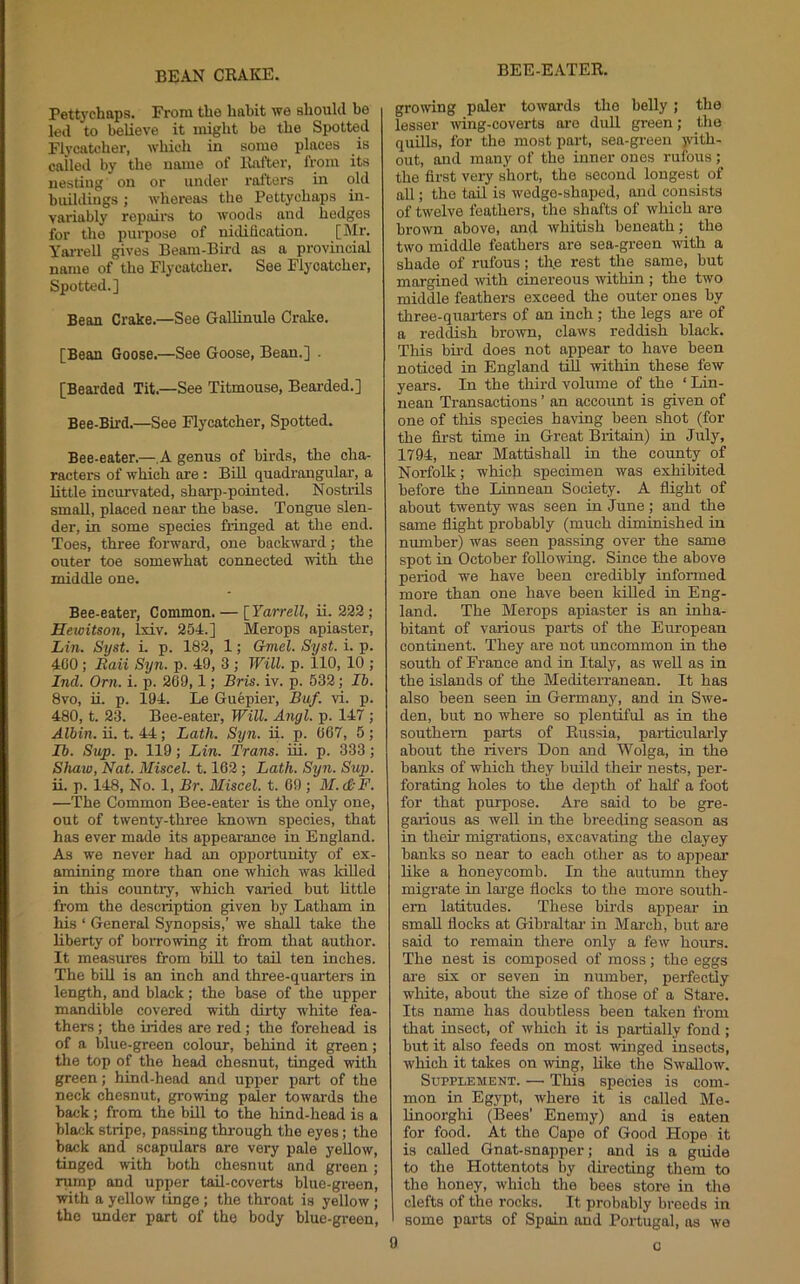 BEAN CKAKE. BEE-EATER. Pett}'chaps. Erora the habit we should be led to believe it might be the Spotted Flycatcher, which in some places is called by the name of Rafter, from its nesting on or under I’ofters in old buildings; whereas the Pettychaps in- variably repairs to woods and hedges for tlie piu’pose of nidification. [Mr. Yan-ell gives Beam-Bird as a provincial name of the Flycatcher. See Flycatcher, Spotted.] Bean Crake.—See Gallinule Crake. [Bean Goose.—See Goose, Bean.] . [Bearded Tit.—See Titmouse, Bearded.] Bee-Bird.—See Flycatcher, Spotted. Bee-eater.—.A genus of birds, the cha- racters of which are: Bill quadrangular, a little incurvated, sharp-pointed. Nostrils small, placed near the base. Tongue slen- der, in some species fringed at the end. Toes, three forward, one backward; the outer toe somewhat connected with the middle one. Bee-eater, Common. — [Yarrell, ii. 222; Heioitson, Ixiv. 254.] Merops apiaster, Lin. Syst. L p. 182, 1; Gniel. Syst. i. p. 400; Eaii Syn. p. 49, 3 ; Will. p. 110, 10 ; Ind. Orn. i. p. 269,1; Bris. iv. p. 532; Ib. 8vo, ii. p. 194. Le Guepier, Buf. vi. p. 480, t. 23. Bee-eater, Will. Angl. p. 147 ; Albin. ii. t. 44; Lath. Syn. ii. p. 667, 5 ; Ib. Sup. p. 119; Lin. Trans, iii. p. 333; Slum, Nat. Miscel. 1.162; Lath. Syn. Sup. ii. p. 148, No. 1, Br. Miscel. t. 69 ; M.d-F. —The Common Bee-eater is the only one, out of twenty-three known species, that has ever made its appearance in England. As we never had an opportunity of ex- amining more than one which was killed in this country, which varied but Httle from the description given by Latham in his ‘ General Synopsis,’ we shall take the liberty of borrowing it from that author. It measures from bill to tail ten inches. The bill is an inch and three-quarters in length, and black; the base of the upper mandible covered with dirty white fea- thers ; the irides are red; the forehead is of a blue-green colour, behind it green; the top of the head chesnut, tinged with green; hind-head and upper part of the neck chesnut, growing paler towai'ds the back; from the bill to the hind-head is a black stripe, passing through the eyes; the back and scapulars are very pale yellow, tinged with both chesnut and green ; rump and upper tail-coverts blue-green, with a yellow tinge ; the throat is yellow ; the under part of the body blue-green. growing paler towards the belly; the lesser wing-coverts are dull green; the quills, for the most part, sea-green pdth- out, and many of the inner ones rufous; the first very short, the second longest of all; the tail is wedge-shaped, and consists of twelve feathers, the shafts of which are brown above, and whitish beneath; the two middle feathers are sea-green with a shade of rufous; the rest the same, but margined with cinereous within ; the two middle feathers exceed the outer ones by three-quarters of an inch; the legs are of a reddish brown, claws reddish black. This bu-d does not appear to have been noticed in England till within these few years. In the third volume of the ‘ Lin- nean Transactions ’ an account is given of one of this species having been shot (for the first time in Great Britain) in July, 1794, near Mattishall in the county of Norfolk; which specimen was exhibited before the Linnean Society. A flight of about twenty was seen in June; and the same flight probably (much diminished in number) was seen passing over the same spot in October following. Since the above period we have been credibly informed more than one have been killed in Eng- land. The Merops apiaster is an inha- bitant of various parts of the European continent. They are not uncommon in the south of France and in Italy, as well as in the islands of the Mediterranean. It has also been seen in Germany, and in Swe- den, but no where so plentiful as in the southern parts of Russia, particulaily about the rivers Don and Wolga, in the banks of which they build thefr nests, per- forating holes to the depith of half a foot for that purpose. Are said to be gre- garious as well in the breeding season as in thefr migi’ations, excavating the clayey banks so near to each other as to appear like a honeycomb. In the autumn they migrate in lai-ge flocks to the more south- ern latitudes. These birds appear in small flocks at Gibraltar' in March, but are said to remain tliere only a few hours. The nest is composed of moss; the eggs ai-e six or seven in number, perfectiy white, about the size of those of a Stare. Its name has doubtless been taken from that insect, of which it is partially fond ; but it also feeds on most winged insects, which it takes on wing, like the Swallow. Supplement. — This species is com- mon in Egypt, where it is called Me- linoorghi (Bees’ Enemy) and is eaten for food. At the Cape of Good Hope it is called Gnat-snapper; and is a guide to the Hottentots by directing tliem to the honey, which the bees store in the clefts of the rocks. It probably breeds in some parts of Spain and Portugal, os we c