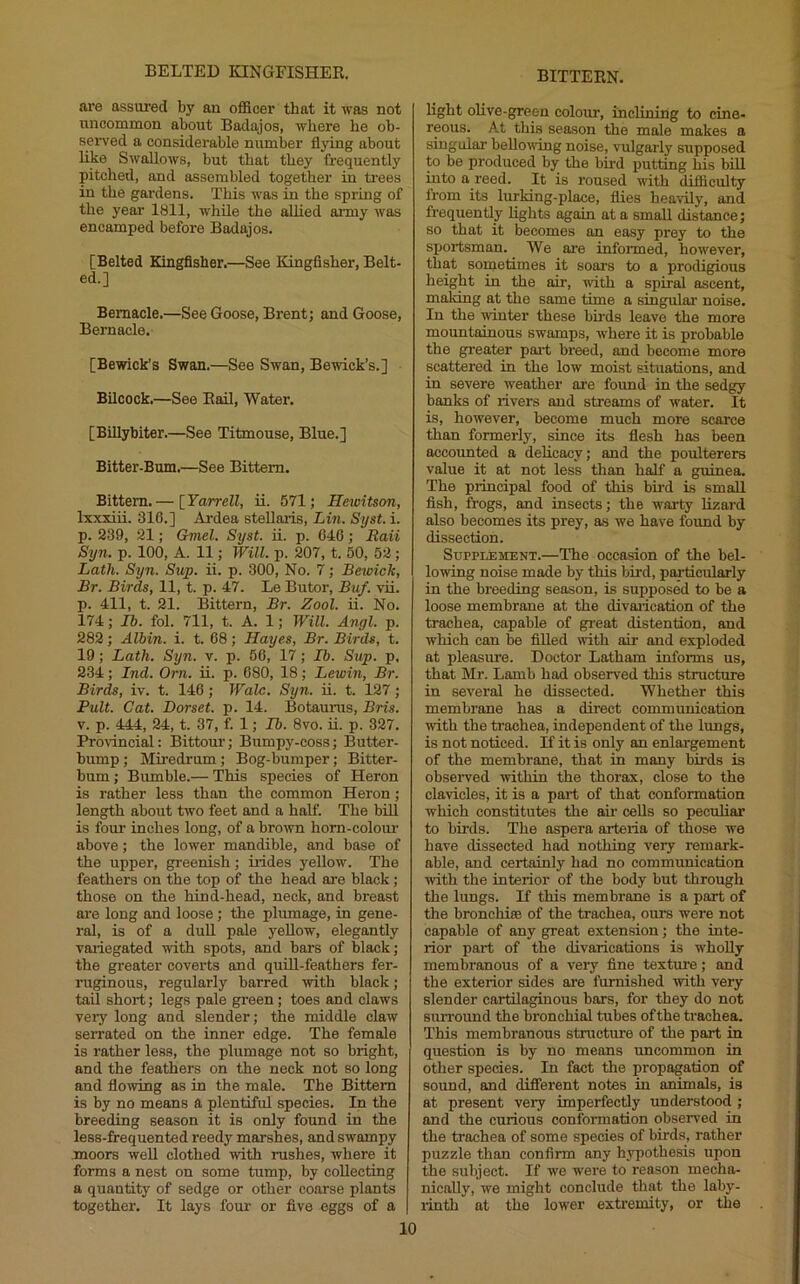 BELTED laNGFISHEK. are assured by an officer that it was not uncommon about Badajos, where he ob- seiwed a considerable number flying about like Swallows, but that they frequently pitched, and assembled together in trees in the gardens. This was in the spring of the year 1811, whUe the aUied army was encamped before Badajos. [Belted Kingfisher.—See Kingfisher, Belt- ed.] Bemacle.—See Goose, Brent; and Goose, Bernacle. [Bewick’s Swan.—See Swan, Bewick’s.] Bilcock.—See Eail, Water. [Billybiter.—See Titmouse, Blue.] Bitter-Bum.—See Bittern. Bittern.— [Yarrell, ii. 571; Hewitson, Ixxxiii. 316.] Ardea stellaiis, Lin. Syst. i. p. 239, 21; Gmel. Syst. ii. p. 646; Raii Syn. p. 100, A. 11; Will. p. 207, t. 50, 52 ; Lath. Syn. Sup. ii. p. 300, No. 7; Bewick, Br. Birds, 11, t. p. 47. Le Butor, Buf. vii. p. 411, t. 21. Bittern, Br. Zool. ii. No. 174; lb. fol. 711, t. A. 1; Will. Angl. p. 282; Albin. i. t. 68; Hayes, Br. Birds, t. 19; Lath. Syn. v. p. 56, 17; Tb. Sup. p, 234; Ind. Orn. ii. p. 680, 18; Lewin, Br. Birds, iv. t. 146; Wale. Syn. ii. t. 127; Pult. Cat. Dorset, p. 14. Botaums, Bris. V. p. 444, 24, t. 37, f. 1; Ib. 8vo. ii. p. 327. Provincial: Bittour; Bumpy-coss; Butter- bump ; Miredrum; Bog-bumper; Bitter- bum ; Bumble.— This species of Heron is rather less than tlie common Heron; length about two feet and a half. The bill is four inches long, of a brown hom-coloiu’ above; the lower mandible, and base of the upper, greenish; irides yellow. The feathers on the top of the head are black; those on the hind-head, neck, and breast are long and loose ; the plumage, in gene- ral, is of a dull pale yellow, elegantly variegated with spots, and bars of black; the greater coverts and quOl-feathers fer- ruginous, regularly barred with black; tail short; legs pale green; toes and claws very long and slender; the middle claw serrated on the inner edge. The female is rather less, the plumage not so bright, and the feathers on the neck not so long and flowing as in the male. The Bittern is by no means a plentiful species. In the breeding season it is only found in the less-frequented reedy marshes, and swampy moors well clothed with rushes, where it forms a nest on some tump, by collecting a quantity of sedge or other coarse plants together. It lays four or five eggs of a | light olive-green colour, inclining to cine- reous. At this season the male makes a singular bellowing noise, vulgarly supposed to be produced by the bu'd putting his bill into a reed. It is roused with difficulty from its lurking-place, flies heavily, and frequently lights again at a small distance; so that it becomes an easy prey to the sportsman. We are informed, however, that sonaetimes it soars to a prodigious height in the air, with a spiral ascent, making at the same time a singular noise. In the winter these birds leave the more mountainous swamps, where it is probable the greater paid breed, and become more scattered in the low moist situations, and in severe weather are found in the sedgy banks of rivers and streams of water. It is, however, become much more scarce than formerly, since its flesh has been accounted a delicacy; and the poulterers value it at not less than half a guinea. The principal food of this bii-d is small fish, frogs, and insects; the warty lizard also becomes its prey, as we have found by dissection. SuppnLEMENT.—The occasion of the bel- lowing noise made by this bird, particularly in the breeding season, is suppos^ to be a loose membrane at the divarication of the trachea, capable of great distention, and which can be fiUed with air and exploded at pleasure. Doctor Latham informs us, that Mr. Lamb had observed this structure in several he dissected. Whether this membrane has a direct communication with the trachea, independent of the lungs, is not noticed. If it is only an enlargement of the membrane, that in many birds is observed within the thorax, close to the clavicles, it is a part of that conformation which constitutes the au cells so peculiar to birds. The aspera arteria of those we have dissected had nothing very remark- able, and certainly had no communication with the interior of the body but through the lungs. If this membrane is a part of the bronchiee of the trachea, ours were not capable of any great extension; the inte- rior part of the divarications is wholly membranous of a very fine texture; and the exterior sides are furnished with very slender cartilaginous bars, for they do not suiTound the bronchial tubes of the trachea. This membranous structure of the part in question is by no means uncommon in other species. In fact the propagation of sound, and dififerent notes in animals, is at present very imperfectly understood ; and the curious conformation observed in the trachea of some species of birds, rather puzzle than confirm any h3q)othesis upon the subject. If we were to reason mecha- nically, we might conclude that the laby- rinth at the lower exti-emity, or the