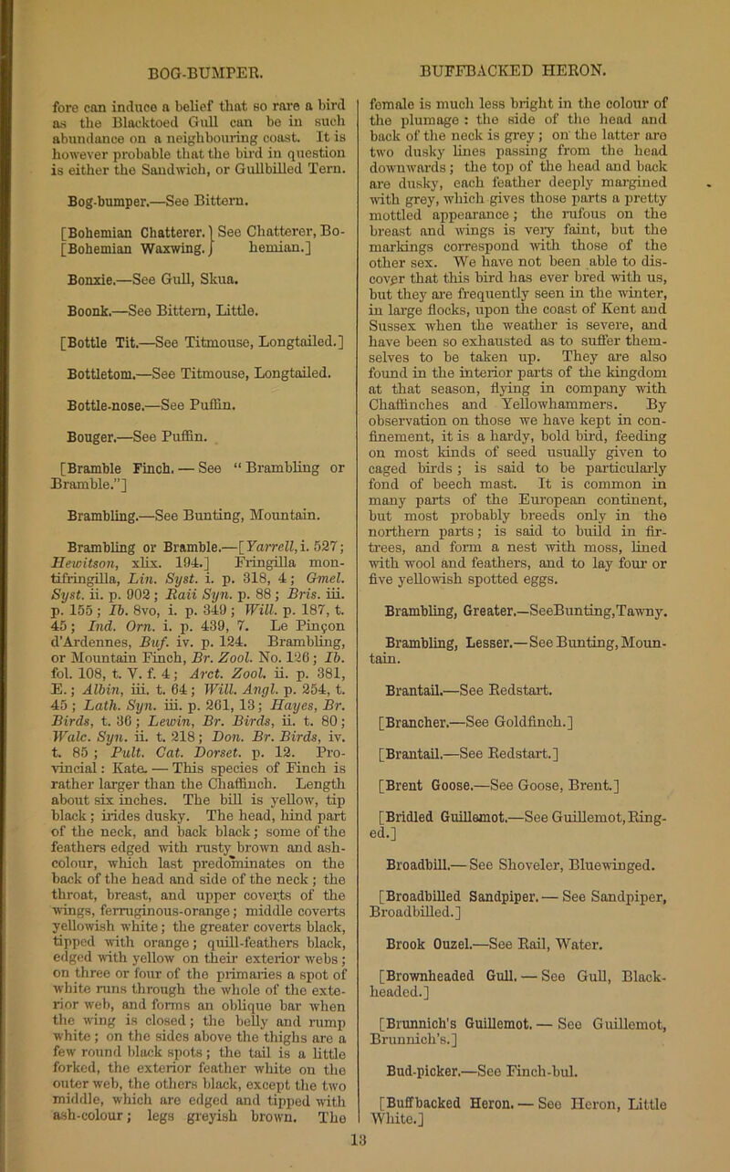 BOG-BUMPER. BUFFBACKED HERON. fore can induce a belief that so rare a bird a-s the Blacktoed Gull can be in such abundance on a neighbouring coast. It is however probable that the bird in question is either the Saudwch, or GullbiRed Tern. Bog-bumper.—See Bittern. [Bohemian Chatterer. 1 See Chatterer, Bo- [Bohemian Waxwing. J hemian.] Bonxie.—See GuU, Skua. Boonk.—See Bittern, Little. [Bottle Tit.—See Titmouse, Longtailed.] Bottletom.—See Titmouse, Longtailed. Bottle-nose.—See Puffin. Bouger.—See Puffin. [Bramble Finch. — See “ Brambling or Bramble.”] Brambling.—See Bunting, Mountain. Brambling or Bramble.—[_Yarrell,i. \ Hewitson, xlix. 194.] FringiUa mon- tifringilla, Lin. Syst. i. p. 318, 4; Gmel. Syst. ii. p. 902 ; Eaii Syn. p. 88 ; Bris. iii. p. 155 ; lb. 8vo, i. p. 349 ; Will. p. 187, t. 45; Ind. Orn. i. p. 439, 7. Le Pincon d’Axdennes, Buf. iv. p. 124. Brambling, or Mountain Finch, Br. Zool. No. 126; 15. fol. 108, t. V. f. 4; Arct. Zool, ii. p. 381, E.; Albin, iii. t. 64; Will. Angl. p. 254, t. 45 ; Lath. Syn. iii. p. 261, 13; Hayes, Br. Birds, t. 36; Lewin, Br. Birds, ii. t. 80; Wale. Syn. ii. t. 218; Don. Br. Birds, iv. t. 85 ; Bull. Cat. Dorset, p. 12. ]?ro- vincial: Kate. — This species of Finch is rather larger than the Chaffinch. Length about six inches. The bUl is yeUow, tip black; hides dusky. The head, hind part of the neck, and back black; some of the feathers edged with rusty brown and ash- colour, which last predominates on the back of the head and side of the neck; the throat, breast, and upper coverts of the wings, femiginous-orange; middle coverts yellowish white; the greater coverts black, tipped -with orange; quiU-feathers black, edged with yellow on then’ exterior webs; on three or four of the primaries a spot of white runs through the whole of the exte- rior web, and forms an oblique bar when tlie wing is closed; the beUy and rump white ; on the sides above the thighs are a few round black spots; the tail is a little forked, the exterior feather white on the outer web, the others black, except tlie two middle, which are edged and tipped uith ash-colour; legs greyish brown. The female is much less bright in the colour of the plumage : the side of the head and back of the neck is grey; on the latter are two dusky lines passing from the head downwards; the top of the head and back are dusky, each feather deeply margined with grey, which gives those parts a pretty mottled appearance; the rufous on the breast and wings is very faint, but the markings correspond with those of the other sex. We have not been able to dis- cover that this bird has ever bred with us, but they ai-e frequently seen in the winter, in lai'ge flocks, upon the coast of Kent and Sussex when the weather is severe, and have been so exhausted as to suffer them- selves to be taken up. They ai-e also found in the interior pai’ts of the kingdom at that season, flying in company with Chaffinches and Yellowhammers. By observation on those we have kept in con- finement, it is a hardy, bold bii’d, feeding on most lands of seed usually given to caged birds ; is said to be pai-ticularly fond of beech mast. It is common in many parts of the European continent, but most probably breeds only in the northern parts; is said to build in fir- trees, and form a nest with moss, lined with wool and feathers, and to lay four or five yellowish spotted eggs. Brambling, Greater.—SeeBunting,Tawny. Brambling, Lesser.—See Bunting, Moun- tain. Brantail.—See Redstart. [Brancher.—See Goldfinch.] [Brantail.—See Redstart.] [Brent Goose.—See Goose, Brent.] [Bridled Guillemot.—See Guillemot,Ring- ed.] Broadbill.— See Shoveler, Bluewinged. [Broadbilled Sandpiper. — See Sandpiper, Broadbilled.] Brook Ouzel.—See Rail, Water. [Brownheaded Gull. — See GuU, Black- headed.] [Brunnich's GuiUemot. — See GuUlemot, Brimnich’s.] Bud-picker.—See Finch-bul. [Buffbacked Heron. — See Heron, Little White.]