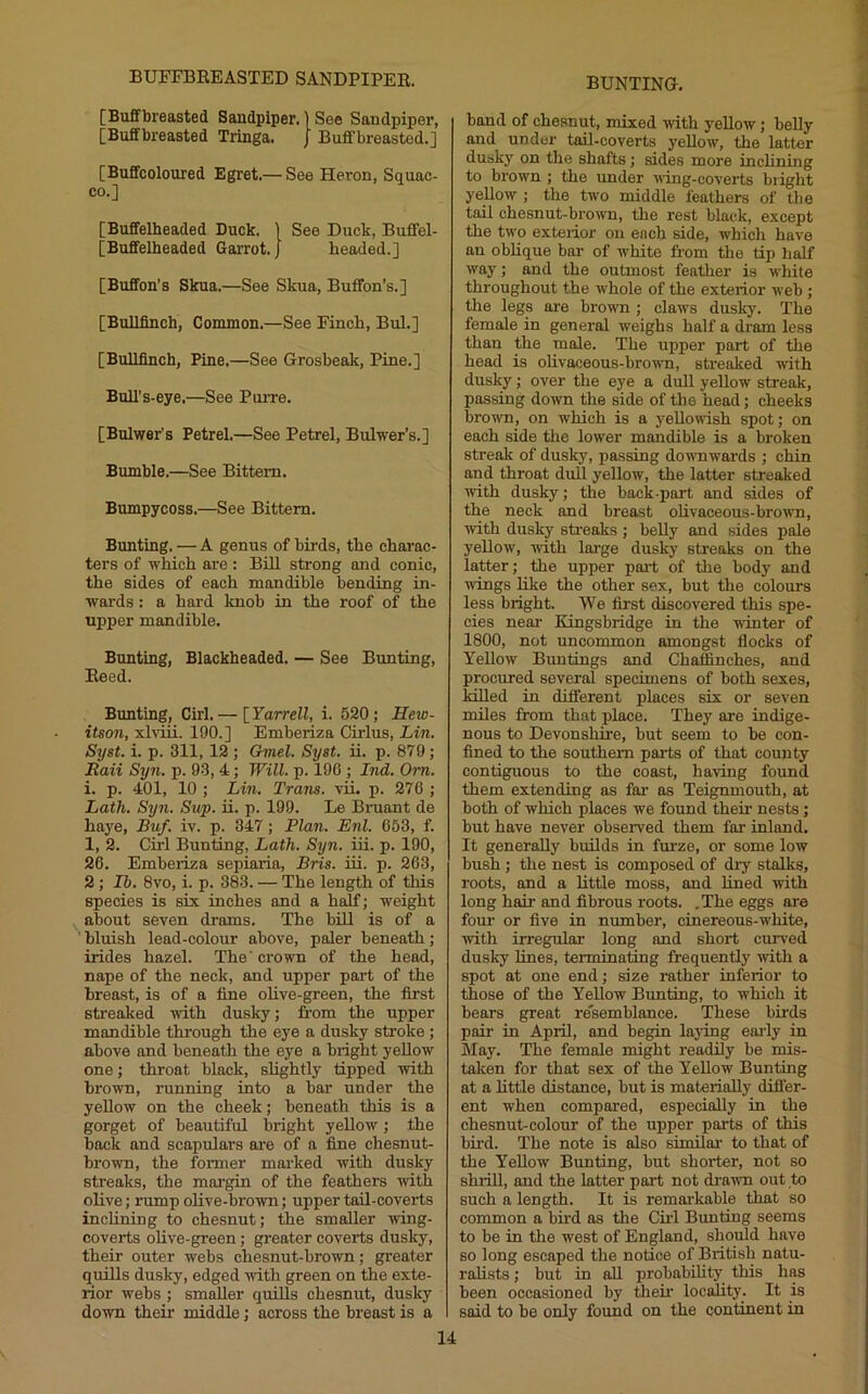 BUFFBEEASTED SANDPIPEE. [Buffbreasted Sandpiper. | See Sandpiper, [Buffbreasted Tringa. J Bufifbreasted.] [Buffcoloured Egret.— See Heron, Squac- co.] [Buffelheaded Duck. 1 See Duck, Bufifel- [Buffelheaded Garrot. J headed.] [Buffon’s Skua.—See Skua, Buffon’s.] [Bullfinch, Common.—See Finch, Bui.] [Bullfinch, Pine.—See Grosbeak, Pine.] Bull’s-eye.—See PuiTe. [Bulwer's Petrel.—See Petrel, Bulwer’s.] Bumble.—See Bittern. Bumpycoss.—See Bittern. Bunting. — A genus of bh-ds, the charac- ters of which are: Bill strong and conic, the sides of each mandible bending in- wards : a hard knob in the roof of the upper mandible. Bunting, Blackheaded. — See Bunting, Eeed. Bunting, Cirl. — [_Yarrell, i. 520; Hew- itson, xlviii. 190.] Emberiza Cirlus, Lin. Sijst. i. p. 311, 12 ; Gmel. Syst. ii. p. 879; Rail Syn. p. 93, 4; Will. p. 196 ; Ind. Om. i. p. 401, 10 ; Lin. Trans, vri. p. 276 ; Lath. Syn. Sup. ii. p. 199. Le Bruant de haye, Buf. iv. p. 347; Plan. Enl. 653, f. 1, 2. Girl Bunting, Lath. Syn. iii. p. 190, 26. Emberiza sepiaria, Bris. iii. p. 263, 2 ; 15. 8vo, i. p. 383. — The length of this species is six inches and a half; weight about seven drams. The bill is of a ' bluish lead-colour above, paler beneath; irides hazel. The' crown of the head, nape of the neck, and upper part of the breast, is of a fine olive-green, the first streaked with dusky; fi-om the upper mandible through the eye a dusky stroke; above and beneath the eye a bright yellow one; throat black, shghtly tipped with brown, running into a bar under the yellow on the cheek; beneath this is a gorget of beautiful bright yellow ; the back and scapulars are of a fine chesnut- brown, the former mai’ked with dusky streaks, the margin of the feathers with oUve; rump oHve-brown; upper tail-coverts inclining to chesnut; the smaller ■wing- coverts oUve-green; greater coverts dusky, their outer webs chesnut-brown; greater quiEs dusky, edged ■\vith green on the exte- rior webs ; smaller quills chesnut, dusky down their middle; across the breast is a band of chesnut, mixed -with yellow; belly and under tail-coverts yeUow, the latter dusky on the shafts; sides more inclining to brown ; the under ■\\'ing-coverts blight yellow ; the t'n'o middle feathers of tlie tail chesnut-browm, the rest black, except the two exterior on each side, which have an oblique bar of white from tlie tip half way; and the outmost feather is ■white throughout the whole of the exterior web ; the legs are brown ; claws dusky. The female in general weighs half a dram less than the male. The upper part of the head is olivaceous-bro^wn, streaked with dusky; over the eye a dull yellow streak, passing down the side of the head; cheeks brown, on which is a yellowish spot; on each side the lower mandible is a broken streak of dusky, passing downwai'ds ; chin and throat dull yellow, the latter streaked ■with dusky; the back-part and sides of the neck and breast olivaceous-bro^vn, with dusky sti-eaks ; belly and sides pale yellow, ■with large dusky streaks on the latter; the upper part of the body and wings hke the other sex, but the colours less bright. We first discovered this spe- cies near Kingsbridge in the ■winter of 1800, not uncommon amongst flocks of Yellow Buntings and Chaffinches, and procured several specimens of both sexes, killed in different places six or seven miles from that place. They are indige- nous to Devonshire, but seem to be con- fined to the southern parts of that county contiguous to the coast, ha^ving found them extending as far os Teignmouth, at both of which places we found their nests; but have never observed them far inland. It generally builds in furze, or some low bush ; the nest is composed of diy stalks, roots, and a little moss, and lined •with long hair and fibrous roots. .The eggs are four or five in number, cinereous-white, with irregular long and short curved dusky fines, terminating frequently ■with a spot at one end; size rather inferior to those of the Yellow Bunting, to which it bears great resemblance. These birds pair in April, and begin lajing early in May. The female might readily be mis- taken for that sex of the Yellow Bunting at a little distance, but is materially differ- ent when compared, especially in the chesnut-colour of the upper parts of this bird. The note is also similar to that of the YeUow Bunting, but shoilnr, not so shiiU, and the latter part not drawn out to such a length. It is remarkable that so common a bird as the Cirl Bunting seems to be in the west of England, should have BO long escaped the notice of British natu- ralists ; but in aU probability this has been occasioned by tlieir locality. It is said to be only found on the continent in