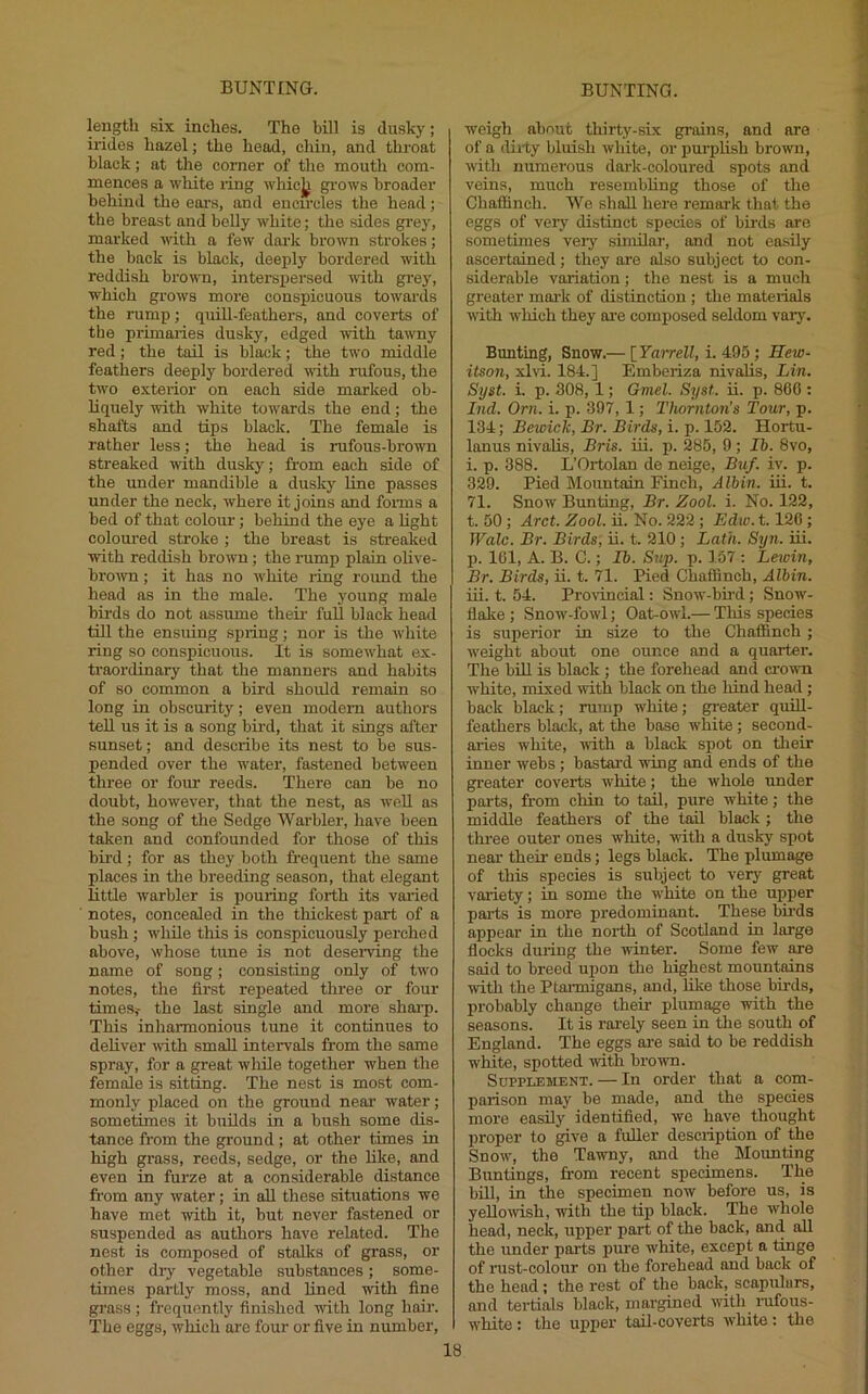 length six inches. The bill is dusky; irides hazel; the head, chin, and throat black; at the corner of the mouth com- mences a white ring whicj^ grows broader behind the ears, and encircles the head; the breast and beUy white; the sides grey, marked with a few dai-k brown strokes; the back is black, deeply bordered with reddish brown, intersiiersed irith grey, which grows more conspicuous towards the rump; quiU-feathers, and coverts of the primaries dusky, edged with tawny red; the tail is black; the two middle feathers deeply bordered with i-ufous, the two exteiior on each side marked ob- liquely with white towards the end; the shafts and tips black. The female is rather less; the head is rufous-browm streaked with dusky; from each side of the under mandible a dusky line passes under the neck, where it joins and foi-ms a bed of that colour; behind the eye a light coloured stroke ; the breast is streaked with reddish brown; the rump plain olive- brown ; it has no wliite ring round the head as in the male. The young male birds do not assume their full black head till the ensuing spring; nor is the w'hite ring so conspicuous. It is somewdiat ex- traordinary that the manners and habits of so common a bird should remain so long in obscurity; even modem authors tell us it is a song bu'd, that it sings after sunset; and describe its nest to be sus- pended over the W'ater, fastened between three or four reeds. There can be no doubt, however, that the nest, as well as the song of the Sedge Warbler, have been taken and confounded for those of this bird; for as they both frequent the same places in the breeding season, that elegant little warbler is pouring forth its varied notes, concealed in the tliickest part of a bush; wliile this is conspicuously perched above, whose tune is not deserving the name of song; consisting only of two notes, the first repeated three or four times,' the last single and more shai-p. This inharmonious tune it continues to deliver with small intervals from the same spray, for a great wliile together when the fem^e is sitting. The nest is most com- monly placed on the ground near water; sometimes it builds in a bush some dis- tance from the ground; at other times in high grass, reeds, sedge, or the like, and even in furze at a considerable distance from any water; in all these situations we have met with it, but never fastened or suspended as authors have related. The nest is composed of stalks of grass, or other dry vegetable substances; some- times partly moss, and lined with fine grass; frequently finished with long hair. The eggs, which are four or five in number. weigh about thirty-six grains, and are of a dii-ty bluish white, or purplish brown, with numerous dark-coloured spots and veins, much resembling those of the Chaftinch. We shall here remark that the eggs of very distinct species of bfrds are sometimes very similar, and not easily ascertained; they are also subject to con- siderable variation; the nest is a much greater inai-k of distinction; the materials rvith which they ai’e composed seldom vary. Bunting, Snow.— [FarreZl, i. 495; Hew- itson, xlri. 184.] Emberiza nivalis, Lin. Syst. i. p. 308, 1; Gmel. Syst. ii. p. 860 : hid. Orn. i. p. 397, 1; Thornton’s Tour, p. 134; Bewick, Br. Birds, i. p. 152. Hortu- lanus nivalis, Bris. iii. p. 285, 9 ; Ib. 8vo, i. p. 388. L’Ortolan de neige, Buf. iv. p. 329. Pied Mountain Finch, Albin. iii. t. 71. Snow Bunting, Br. Zool. i. No. 122, t. 50 ; Arct. Zool. ii. No. 222 ; Edw. 1.126; Wale. Br. Birds, ii. t. 210 ; Lath. Syn. iii. p. 101, A. B. C.; Ib. Sup. p. 157 : Lewin, Br. Birds, ii. t. 71. Pied Chaffinch, Albin. iii. t. 54. Prordncial: Snow-bfrd; Snow- flake ; Snow-fowl; Oat-owl.— This species is superior in size to the Chaffinch ; weight about one ounce and a quarter. The bin is black ; the forehead and crown white, mixed with black on the Irind head; back black; rump white; greater quiU- feathers black, at the base w'hite ; second- aries white, rrith a black spot on tlieir inner webs ; bastar-d wing and ends of the greater coverts white; the whole under par-ts, from chin to tail, pure white; the middle feathers of the tail black; the thr-ee outer ones white, with a dusky spot near their ends; legs black. The plumage of this species is subject to very great variety; in some the white on the upirer parts is more predominant. These birds appear in the norih of Scotland in large flocks during the winter. Some few are said to breed upon the highest mountains witlr the Ptarmigans, and, like those birds, probably change their plumage with the seasons. It is rarely seen in tire south of England. The eggs are said to be reddish white, spotted rvith brorrui. Supplement. — Itr order that a com- parison may be made, and the species more easily identified, we have thought proper to give a fuller description of the Snow, the Tawny, and the Mounting Buntings, from recent specimens. The bill, in the specimen now before us, is yeUorvish, with the tip black. The whole head, neck, upper part of the back, and all the under parts pure white, except a tinge of rust-colour on the forehead and back of the head; the rest of the back, scapulars, and tertials black, margined with ruforrs- white: the upper tail-coverts white; the