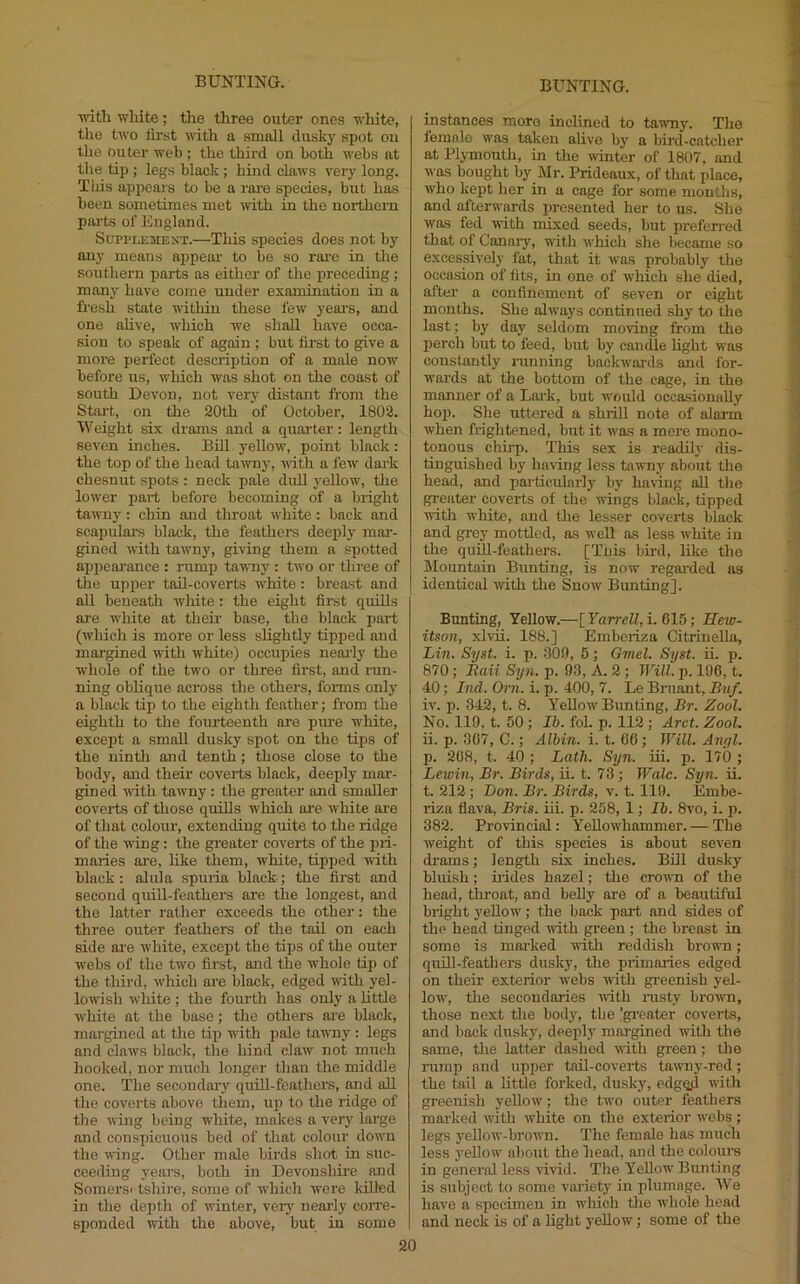 ■ndth wliite; the three outer ones white, the two first uith a small dusky spot on the outer web ; the third on both webs at the tip ; legs black; hind claws very long. This appears to be a rar-e species, but has been sometimes met mth in the northern pints of England. Supplement.—This species does not by any means appear to be so rai'e in the southern jjarts as either of the preceding; many have come under examination in a fresh state within these few yeai’S, and one ahve, which we shall have occa- sion to speak of again ; but first to give a more perfect description of a male now before us, which was shot on the coast of south Devon, not very distant from the Start, on the 20th of October, 1808. Weight six drams and a quarter: length seven inches. Bill yellow, point black: the top of the head tawny, uith a few dark chesnut spots : neck pale dull yellow, the lower part before becoming of a bright tawny: chin and tliroat white: back and scapulars black, the feathers deeply mar- gined with tawny, giving them a spotted appeai’ance : rump ta'miy : two or three of the upper tail-coverts white: breast and all beneath wliite: the eight first quills are white at their base, the black part (which is more or less slightly tipped and mai'gined with white) occupies neoily the whole of the two or three first, and run- ning oblique across the others, forms only a black tip to the eighth feather; from the eighth to the fourteenth are pure white, except a small dusky spot on the tips of the ninth and tenth; those close to the body, and their coverts black, deeply mar- gined irith tawny: the greater and smaller coverts of those quills which aie white are of that colour, extending quite to the ridge of the wing: the greater coverts of the pri- maries are, like tliem, white, tipped rvith black: alula spuria black; the first and second quill-feathers are the longest, and the latter rather exceeds the other: the three orrter feathers of the tail on each side ar-e white, except the tips of the outer webs of the two first, and the whole tip of the third, which are black, edged with yel- lowish white; the fourth has only a little white at the base; the others ar-e black, margined at the tip with pale tawny : legs and claws black, the hind claw not much hooked, nor much longer than the middle one. The secondary quiU-fcathers, and all the coverts above them, up to the ridge of the wing being white, makes a very large and consincuous bed of that colour down the wing. Other male birds shot in suc- ceeding years, both in Devonshire and Somersi tshire, some of which were killed in the depth of winter, verj' neaily coire- sponded uith the above, but in some instances more inclined to tawny. The female was taken alive by a bii’d-catcher at Plymouth, in the mnter of 1807, and was bought by Mr. Prideaux, of that place, who kept her in a cage for some montlis, and afterwards presented her to us. She was fed with mixed seeds, but preferred that of Canaiy, with which she became so excessively fat, that it was jirobably the occasion of fits, in one of which she died, after a confinement of seven or eight months. She always continued shy to tlie last; by day seldom moving from the perch but to feed, but by candle light was constantly running backwards and for- wards at the bottom of the cage, in the manner of a Lark, but would occasionally hop. She uttered a shrill note of alarm when frightened, but it was a mere mono- tonous chirp. This sex is readily dis- tinguished by having less tawmy about the he^, and particularly by having all the gi’eater coverts of the wings black, tipped with white, and the lesser coverts black and grey mottled, as well as less white in the quill-feathers. [Tnis bird, like the Mountain Bunting, is now regai’ded as identical -with the Snow Bunting]. Bunting, Yellow.—[Farrell, i. 615; Hew- itson, xlvii. 188.] Embeiiza Citrinello, Lin. Syst. i. p. 309, 5; Gmel. Syst. ii. p. 870; Bail Syn. p. 93, A. 2 ; Will. p. 196, t. 40; Ind. Orn. i. p. 400, 7. Le Bruant, Buf. iv. p. 342, t. 8. Yellow Bunting, Br. Zool. No. 119, t. 50 ; Ih. fol. p. 112 ; Arct. Zool. ii. p. 307, G.; Alhin. i. t. 06; Will. Angl. p. 268, t. 40 ; Lath. Syn. iii. p. 170 ; Lewin, Br. Birds, ii. t. 73; Wale. Syn. ii. t. 212; Don. Br. Birds, v. t. 119. Embe- rixa flava, Bris. iii. p. 258, 1; Ib. 8vo, i. p. 382. Provincial: Y'dlowhammer. — The weight of this species is about seven drams; length six inches. Bill dusky bluish; irides hazel; the crown of the head, throat, and beUy are of a beautiful bright yellow; the back part and sides of the head tinged with green ; the breast in some is marked witli reddish brown; quill-feathers dusky, the primaries edged on their exterior webs irith greenish yel- low, the secondaries irith nisty brown, those next tlie body, tbe 'greater coverts, and back dusky, deeply margined with the same, the latter dashed with green; the nunp and upper tail-coverts tawmy-red; the tail a little forked, dusky, edgiyl with greenish yeUow'; the two outer feathers marked with wiiite on the exterior w'ebs ; legs yellow-brown. The female has much less yellow about the head, and the colours in general less vivid. Tlie Yellow Bunting is subject to some variety in plumage. \Ve have a specimen in wiiich tlie w'hole head and neck is of a light yellow; some of the