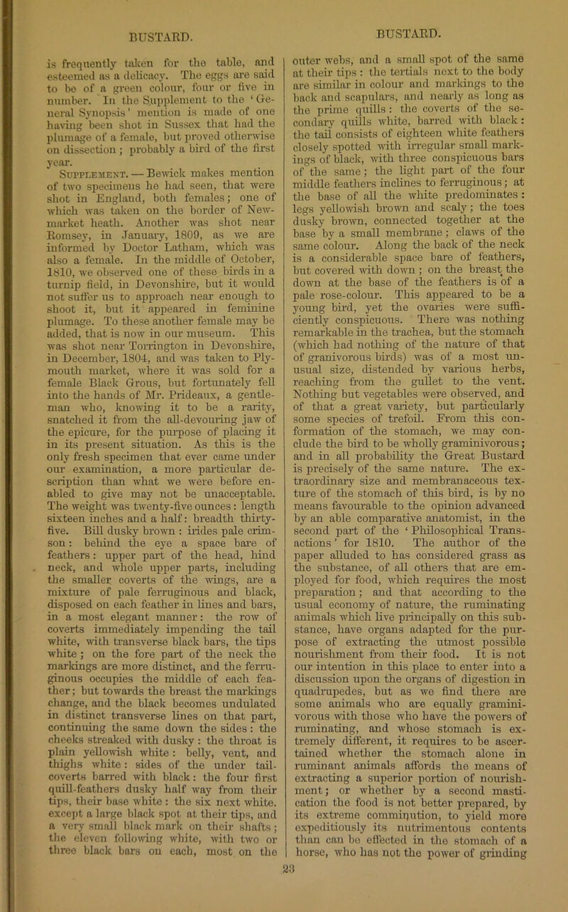 is frequently tnlcen for the tnble, and esteemed as a delicacy. The eggs are said to be of a green colour, four or five in number. In the Supplement to the ‘ Ge- nenxl Synopsis ’ mention is made of one having been shot in Sussex that had the plumage of a female, but proved otherwise on dissection ; probably a bird of the first yeai\ SuTPLEMENT. — Bexvick makes mention of two specimens he had seen, that were shot in England, both females; one of which was taken on the border of New- max'ket heath. Another was shot near Romsey, in .January, 1809, as we ai'e informed by Doctor Latham, which was also a female. In the middle of October, 1810, we observed one of these birds in a turnip field, in Devonshire, but it would not suffer us to apixroach neai’ enough to shoot it, but it appeared in feminine plumage. To these another female may be added, that is now in our museum. This was shot near Torrington in Devonshire, in December, 1801, and was taken to Ply- mouth mai’ket, where it was sold for a female Black Grous, but fortunately feU into the hands of Mr. Prideaux, a gentle- man who, knowing it to be a rarity, snatched it from the aU-devouiing jaw of the epicure, for the pui’pose of j)lacing it in its present situation. As this is the only fresh specimen that ever came under om' examination, a more particular de- scription than what we were before en- abled to give may not be unacceptable. The weight was twenty-five ounces: length sixteen inches and a half: bi’eadth thirty- five. Bid dusky bro-nm : irides pale crim- son : behind the eye a space bar’e of feathers: upper port of the head, hind neck, and whole uxxper parts, including the smaller coverts of the wings, are a mixture of pale ferrugiuoits and black, disposed on each feather in lines and bars, in a most elegant manner: the row of coverts immediately impending the tail white, xrith transverse black bars, the tips white ; on the fore part of the neck the markings are more distinct, and the ferru- ginous occupies the middle of each fea- ther ; but towards the breast the markings change, and the black becomes undulated in distinct transverse lines on that part, contintiing the same down the sides : the cheeks streaked with dusky : the throat is plain yellowish white : belly, vent, and thighs white: sides of the under tail- coverts barred with black: the four first quill-feathcrs dusky half way from their tips, their base white : the six next white, except a large black spot at their tips, and a very small black mark on their shafts; the eleven folloxving white, with two or three black bars on each, most on the outer webs, and a small spot of the same at their tips : the tertials next to the body are similar in colour and marldngs to the back and scapulars, and nearly as long as the prime quills : the coverts of the se- condary quills white, barred with black: the tail consists of eighteen white feathers closely spotted with irregular small mark- ings of black, with three conspicuous bars of the same; the light part of the four middle feathers inclines to ferruginous; at the base of aU the wliite predominates : legs yellowish brown and scaly; the toes dusky brown, connected together at the base by a small membrane; claws of the same colour. Along the back of the neck is a considerable space bare of feathers, but covered wth down ; on the breast the down at the base of the feathers is of a pale rose-colour. This appealed to be a young bird, yet the ovaries were suffi- ciently conspicuous. There was nothing remarkable in the trachea, but the stomach (which had nothing of the natme of that of granivorous birds) was of a most un- usual size, distended by various herbs, reaching from the gullet to the vent. Nothing but vegetables were observed, and of that a great variety, but particulaiiy some species of trefoil. From this con- formation of the stomach, we may con- clude the bird to be wholly graminivorous; and in all probability the Great Bustard is precisely of the same nature. The ex- traordinary size and membranaceous tex- ture of the stomach of this bird, is by no means favourable to the opinion advanced by an able comparative anatomist, in the second port of the ‘ Philosophical Trans- actions ’ for 1810. The author of the paper alluded to has considered grass as the substance, of all others that are em- ployed for food, which requires the most preparation; and that according to the usual economy of nature, the ruminating animals which live principally on this sub- stance, have organs adapted for the pur- pose of extracting the utmost possible nourishment from then' food. It is not our intention in this place to enter into a discussion upon the organs of digestion in quadrupedes, but as we find tiiere are some animals who are equally gramini- vorous with those who have the powers of ruminating, and whose stomach is ex- tremely different, it requires to be ascer- tained whether the stomach alone in ruminant animals affords the means of extracting a superior poidion of nourish- ment; or whether by a second masti- cation the food is not better prepared, by its extreme commiqution, to yield more expeditiously its nutrimentous contents than can bo effected in the stomach of a horse, who has not the power of grinding