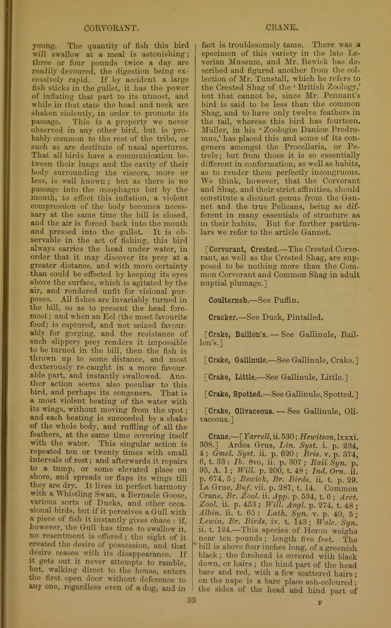 young. The quantity of fish this bird will swallow at a meal is astonishing; three or four pounds twice a day ai’e readily devoured, the digestion being ex- cessively rapid. If by accident a large fish sticks in the gullet, it has the power of inflating that part to its utmost, and while in that state the head and neck are shaken violently, in order to promote its passage. This is a property we never observed in any other bird, but is pro- bably common to the I'est of the tribe, or such as are destitute of nasal apertures. That all birds have a communication be- tween their lungs and the cavity of their body surrounding the viscera, more or less, is well known; but as there is no jjassage into the oesophagus but by the mouth, to effect this inflation, a violent compression of the body becomes neces- sary at the same time the bill is closed, and the air is forced back into the mouth and pressed into the guUet. It is ob- servable in the act of fishing, this bird always canies the head under water, in order that it may discover its prey at a greater distance, and with moi’e certainty than could be effected by keeping its eyes above the surface, which is agitated by the air, and rendered unfit for visional pur- poses. All fishes are invariably turned in the biU, so as to present the head fore- most; and when an Eel (the most favourite food) is captured, and not seized favour- ably for gorging, and the resistance of such sUppery prey renders it impossible to be turned in the bill, then the fish is thrown up to some distance, and most dexterously re-caught in a more favour- able part, and instantly swallowed. Ano- ther action seems also peculiar to this bird, and perhaps its congeners. That is a most violent beating of the water with its wings, -B-ithout moving from the spot; and each beating is succeeded by a shake of the whole body, and ruffling of all the feathers, at the same time covering itself with the water. This singular action is repeated ten or twenty times with small intervals of rest; and afterwards it repairs to a tump, or some elevated place on shore, and spreads or flaps its wings till they are diy. It lives in perfect harmony with a Whistling Swan, a Bernacle Goose, various sorts of Ducks, and other occa- sional birds, but if it perceives a GuU with a piece of fish it instantly gives chace : if, however, the Gull has time to swallow it, no resentment is offered; the sight of it created tlic desire of possession, and that desire ceases with its disappearance. If it gets out it never attempts to ramble, but, walking direct to tlie liouse, enters the first open door without deference to any one, regardless even of a dog, and in fact is troublesomely tame. There was a specimen of this variety in the late Le- veriau Museum, and Mr. Bewick has de- scribed and figured another from the col- lection of Mr. Tunstall, which ho refers to the Crested Shag of the ‘ British Zoology,’ but that cannot be, since Mr. Pennant’s bird is said to be less than the common Shag, and to have only twelve feathers in the tail, whereas this bird has fourteen. MiiUer, in his ‘ Zoologise Danicaj Prodro- raus,’ has placed this and some of its con- geners amongst the ProceUaiia, or Pe- trels ; but from those it is so essentially different in conformation, as well as habits, as to render them perfectly incongruous. We think, however, that the Corvorant and Shag, and their strict affinities, should constitute a distinct genus from the Gan- net and the true Pelicans, being as dif- ferent in many essentials of structiu'e as in their habits. But for further particu- lars we refer to the article Gannet. [Corvorant, Crested.—The Crested Corvo- rant, as well as the Crested Shag, are sup- posed to be nothing more than the Com- mon Corvorant and Common Shag in adult nuptial plumage.] Coultemeb.—See Puffin. Cracker.—See Duck, Pintailed. [Crake, Baillon’s. — See Gallinule, Bail- Ion’s.] [Crake, Gallinule.—See Gallinule, Cralce.] [Crake, Little.—See Gallinule, Little.] [Crake, Spotted.—See Gallinule, Spotted.] [Crake, Olivaceous. — See Gallinule, OU- vaceous.] Crane,—[ Yarrell, ii. 530; Hewitson, Ixxxi. 308.] Ardea Grus, Lin. Syst. i. p. 234, 4; Gmel. Syst. ii. p. 620; Bris. v. p. 374, 6, t. 33 : 16. 8vo, ii. p. 307; Raii Sy7i. p. 95, A. 1; Will. p. 200, t. 48 ; Ind. Om. ii. p. 674, 5; Bewick, Br. Birds, ii. t. p. 29. La Grue, Buf. to. p. 287, t. 14. Common Crane, Br. Zool. ii. App. p. 534, t. 6 ; Arct. Zool. ii. p. 453 ; Will. Angl. p. 274, t. 48 ; Alhin. ii. t. 65 : Lath. Syn. v. p. 40, 5; Lewin, Br. Birds, iv. t. 143; Wale. Syn. ii. t. 124.—This species of Heron weighs near ten pounds; length five feet. The bill is above four inches long, of a greenish black; the forehead is covered with black down, or hairs ; the hind part of the head bare and red, with a few scattered hau-s ; on the nape is a bare place ash-coloured ; the sides of the head and hind part of 03 S’