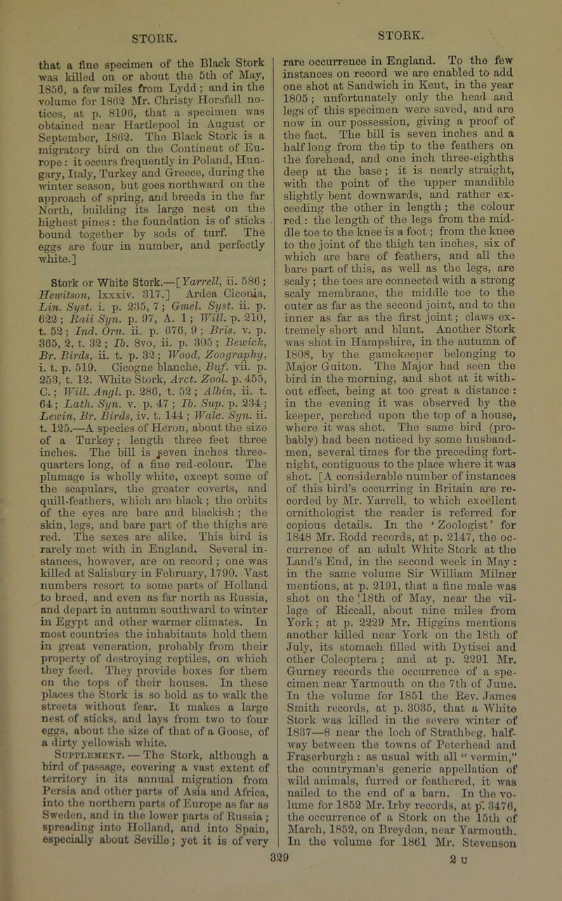 that a fine specimen of the Black Stork was killed on or about the 5th of May, 1856, a few miles from Lydd ; and in the volume for 186'3 Mr. Christy Horsfall no- tices, at p. 8190, that a specimen was obtained near Hartlepool in August or September, 1803. The Black Stork is a migratory bird on the Continent of Eu- rope : it occiu's frequently in Poland, Hun- gary, Italy, Turkey and Greece, during the ■winter season, but goes northward on the approach of spring, and breeds in the far North, building its large nest on the highest pines : the foundation is of sticks bound together by sods of turf. The eggs are four in number, and perfectly white.] Stork or White Stork.—{Yaii'ell, ii. 586; HewiUon, Ixxxiv. 317.] Ardea Cicouia, Lin. Si/st. i. p. 235, 7; Gmel. Syst. ii. p. 623 ; Raii Syn. p. 97, A. 1; Will- V- 210, t. 52; Ind. Orn. ii. p. 676, 9 ; Bris. v. p. 365, 2, t. 32; Ib. 8vo, ii. p. 305 ; Bewick, Br. Birds, ii. t. p. 33; Wood, Zoography, i. t. p. 519. Cicogne Ijlanche, Buf. vii. p. 253, t. 12. Wliite Stork, Arct. Zool. p. 455, C.; Will. Angl. p. 286, t. 52; Albin, ii. t. 64; Lath. Syn. v. p. 47 ; Ib. Sup. p. 2-34; Lewin, Br. Birds, iv. t. 144; Wale. Syn. ii. t. 125.—A species of Heron, about the size of a Turkey; length three feet three inches. The bill is ^even inches three- quarters long, of a fine red-colour. The plumage is wholly white, except some of the scapulars, the greater coverts, and quill-feathers, which are black ; the orbits of the eyes are bare and blackish ; the skin, legs, and bai’e part of the thighs are red. The sexes are alike. This bird is rarely met with in England. Several in- stances, however, are on record ; one was killed at Salisbury in February, 1790. Vast numbers resort to some parts of Holland to breed, and even as far north as Russia, and depart in autumn southward to winter in Egypt and other warmer climates. In most countries the inhabitants hold them in great veneration, probably from tlieir property of destroying reptiles, on which they feed. They provide boxes for them on the tops of their houses. In these places the Stork is so bold as to walk the streets without fear. It makes a lai’ge nest of sticks, and lays from two to four eggs, about the size of that of a Goose, of a dirty yellowish white. Supplement. — The Stork, although a bird of passage, covering a vast extent of territory in its annual migration from Persia and other parts of Asia and Africa, into the northern parts of Europe as far as Sweden, and in the lower parts of Russia ; spreading into Holland, and into Spain, especially about Seville; yet it is of very rare occurrence in England. To the few instances on record we oi'e enabled to add one shot at Sandwich in Kent, in the year 1805 ; unfortunately only the head and legs of this specimen were saved, and are now in our possession, giving a proof of the fact. The bRl is seven inches and a half long from the tip to the feathers on the forehead, and one inch three-eighths deep at the base; it is nearly straight, with the point of the upper mandible sUghtly bent downwards, and rather ex- ceeding the other in length; the colour red : the length of the legs from the mid- dle toe to the knee is a foot; from the knee to the joint of the thigh ten inches, six of which are bare of feathers, and all the bare part of this, as well as the legs, are scaly; the toes are connected with a strong scaly membrane, the middle toe to the outer as far as the second joint, and to the inner as far as the first joint; claws ex- tremely short and blunt. Another Stork was shot in Hampshire, in the autumn of 1808, by the gamekeeper belonging to Major Guiton. The Major had seen the bird in the morning, and shot at it with- out effect, being at too great a distance : in the evening it was observed by the keeper, perched upon the top of a house, where it was shot. The same bird (pro- bably) had been noticed by some husband- men, several times for the preceding fort- night, contiguous to the place where it was shot. [A considerable number of instances of this bii'd’s occurring in Britain ai’e re- corded by Mr. YaiTell, to which excellent ornithologist the reader is referred for copious details. In the ‘ Zoologist ’ for 1848 Mr. Rodd records, at p. 2147, the oc- currence of an adult White Stork at the Land’s End, in the second week in May : in the same volume Sir WiRiam Milner mentions, at p. 2191, that a fine male was shot on the |18th of May, near the vil- lage of Eiccall, about nine miles from York; at p. 2229 Mr. Higgins mentions another killed near York on the 18th of July, its stomach filled with Dytisci and other Coleoptera; and at p. 2291 Mr. Gurney records the occurrence of a spe- cimen near Yarmouth on the 7th of June. In the volume for 1851 the Rev. James Smith records, at p. 3035, that a White Stork was Idlled in the severe winter of 1837—8 near the loch of Strathbeg, half- way between the towns of Peterhead and Fraserburgh : as usual with all “ vermin,” the countryman’s generic appellation of wild animals, fun-ed or feathered, it was nailed to the end of a barn. In the vo- lume for 1852 Mr. Irby records, at p'. 3476, the occurrence of a Stork on the 15th of March, 1852, on Breydon, near Yarmouth. In the volume for 1861 Mr. Stevenson