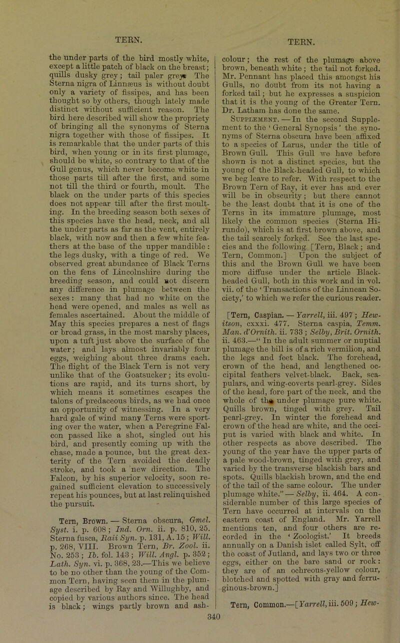 the under parts of the bird mostly white, except a little patch of black on the breast; quills dusky grey; tail paler grey* Tlie Sterna nigra of Linnaeus is ■without doubt only a variety of fissipes, and has been thought so by others, though lately made distinct ■without sufficient reason. The bird here described will show the propriety of bringing aU the synonyms of Sterna nigra together with those of fissipes. It is remarkable that the under parts of this bird, when young or in its first plumage, should be white, so contrary to that of the GuU genus, which never become white in those parts till after the first, and some not till the third or fourth, moult. The black on the under parts of this species does not appear till after the first moult- ing. In the breeding season both sexes of this species have the head, neck, and all the under parts as far as the vent, entirely black, with now and then a few white fea- thers at the base of the upper mandible : the legs dusky, with a tinge of red. We observed great abundance of Black Terns on the fens of Lincolnshire during the breeding season, and could Hot discern any difierence in plumage between the sexes: many that had no white on the head were opened, and males as well as females ascertained. About the middle of May this species prepares a nest of flags or broad grass, in the most marshy places, upon a tuft just above the surface of the water; and lays almost invariably four eggs, weighing about three drams each. The flight of the Black Tern is not very unlike that of the Goatsucker; its evolu- tions are rapid, and its turns short, by which means it sometimes escapes the talons of predaceous birds, as we had once an opportunity of witnessing. In a very hard gale of wind many Terns were sport- ing over the w’ater, when a Peregrine Fal- con passed like a shot, singled out his bii-d, and presently coming up ■with the chase, made a pounce, but the gi'eat dex- terity of the Teni avoided the deadly stroke, and took a new direction. The Falcon, by his superior velocity, soon re- gained sufficient elevation to successively repeat his pounces, but at last relinquished the pursuit. Tern, Brown. — Sterna obscura, Gmel. Syst. i. p. 608 ; Ind. Om. ii. p. 810, 25. Sterna fusca, Raii Syn. p. 131, A. 15; Will. p. 208, VIII. Brown Tern, Br. Zool. ii. No. 253 ; Ih. fol. 143 ; Will. Angl. p. 352; Lath. Syn. vi. p. 368, 23.—This we believe to be no other than the young of the Com- mon Tern, having seen them in the plum- age described by Ray and Willugbby, and copied by various authors since. The head is black; wings partly brown and ash- 340 colour; the rest of the plumage above brown, beneath white; the tail not forked. Mr. Pennant has placed this amongst his Gulls, no doubt from its not having a forked tail; but he expresses a suspicion that it is the young of the Greater Tern. Dr. Latham has done the same. Supplement. — In the second Supple- ment to the ‘ General Synopsis ’ the syno- nyms of Sterna obscura have been affixed to a species of Larus, under the title of Brown Gull. This Gull wo have before shown is not a distinct species, but the young of the Black-headed Gull, to wdiich we beg leave to refer. With respect to the Brown Tern of Ray, it ever has and ever will be in obscurity; but there cannot be the least doubt that it is one of the Terns in its immature plumage, most likely the common species (Sterna Hi- rundo), which is at first brown above, and the tail scarcely forked. See the last spe- cies and the folloiving [Tern, Black; and Tern, Common.] Upon the subject of this and the Brown Gull we have been more diffuse under the article Black- headed Gull, both in this work and in vol. vii. of the ‘ Transactions of the Linnean So- ciety,’ to which we refer the curious reader. [Tern, Caspian. — Yarrell, ui. 497 ; Hew- itson, cxxxi. 477. Sterna caspia, Temm. Man. d’Ornith. ii. 733 ; Selby, Brit. Ornith. ii. 463.—“ In the adult summer or nuptial plumage the bill is of a rich vermihon, and the legs and feet black. The forehead, crown of the head, and lengthened oc- cipital feathers velvet-black. Back, sca,- pulars, and -\ring-coverts pearl-grey. Sides of the head, fore part of the neck, and the whole of tl% under plumage pure white. Quills brown, tinged with grey. Tail pearl-grey. In winter the forehead and crown of the head are white, and the occi- put is varied with black and white. In other respects as above described. The young of the year have the upper parts of a pale wood-bro^mi, tinged with grey, and varied by the transverse blackish bars and spots. Quills blackish brown, and the end of the tail of the same colour. The under plumage white.” — Selby, ii. 464. A con- siderable number of this large species of Tern have occurred at intervals on the eastern coast of England. Mr. Yarrell mentions ten, and four others are re- corded in the ‘ Zoologist.’ It breeds annually on a Danish islet called Sylt, ofi the coast of Jutland, and lays two or three eggs, either on the bare sand or rock: they ai-e of an ochreous-yellow colour, blotched and spotted with gray and ferru- ginous-brown.] Tern, Common.—[Yarrell,iii. 509; Hew-