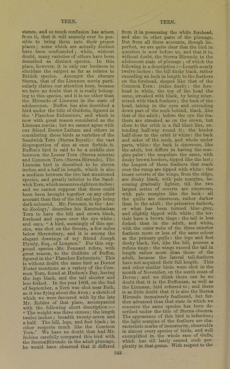 stance, and so much confusion has arisen from it, that it mil scarcely ever be pos- sible to bring them into their proper places; some which are actually distinct have been confounded; while, without doubt, many varieties of others have been described as distinct species. In this place, however, it is only our business to elucidate the subject as far as relates to British species. Amongst the obscure Sterna, that of the Linnoean nsevia parti- cularly claims our attention here, because we have no doubt that it is really belong- ing to this species, and it is no other than the Hirundo of Linnceus in the state of adolescence. Buffon has also described a bird under the title of Guifette, figured in the ‘ Planches Enlumines,’ and which is now with great reason considered as the Linnean nsevia; but we cannot agree -nith our friend Doctor Latham and others in considering these birds as varieties of the Sandwich Tetn (Sterna Boysii): the vast disproportion of size at once forbids it. Buffon’s bird is said to be a middle size between the Lesser Tern (Sterna minuta) and Common Tern (Sterna Hirundo). The Linnean bird is described to be eleven inches and a half in length, which is also a medium between the two last mentioned species, and greatly inferior to the Sand- wich Tern, which measures eighteen inches: and we cannot suppose that these could have been brought together on any other account than that of the bill and legs being dark-coloured. Mr. Pennant, in the ‘ Arc- tic Zoology,’ describes his Kamtschatkan Tern to have the bUl and crowm black, forehead and space over the eye white; and says, “ A bird, seemingly of this spe- cies, was shot on the Severn, a few miles below Shrewsbury, and it is among the elegant drawings of my friend Joseph Plymly, Esq., of Longnor.” For this sup- posed species «Mr. Pennant refers, with great reason, to the Guifette of Bufibn, figured in the ‘ Planches Enlumines.’ This is without doubt the same bird as Doctor Foster mentions as a variety of the Com- mon Tern, found at Hudson’s Bay, having the legs black, and the tail shoi-ter and less forked. In the year 1802, on the 2nd of September, a Tern was shot near Bath, as it was flying about the Avon; a sketch of Avhich we were favoured with by the late Mr. Robins of that place, accompanied with the following short description:— “ The weight was three ounces; the length twelve inches ; breadth twenty-seven and a half. The bUl, legs, and feet black; in other respects much like the Common Tern.” We have no doubt that had Mr. Robins cai-efully compared this bird with the Sterna Hirundo in the adult plumage, he woitld have observed that it dififered from it in possessing the white forehead, and also in other parts of the plumage. But from all these accounts, though im- perfect, we are quite clear that the bird in question is now before us, and that it is, without doubt, the Sterna Hirundo in' the adolescent state of plumage ; of which the following is a description :—Length nearly twelve inches : the bill dusky black, rather exceeding an inch in length to the feathers on the forehead, shaped like that of the Common Tern : irides dusky : the fore- head is white, the top of the head the same, streaked with black, by being inter- mixed with black feathers; the back of the head, taking in the eyes and extending down part of the neck behind, black, like that of the adult; before the eye the fea- thers are streaked as on the crown, but close to the orbit is a full black line, ex- tending half-way round it; the hinder half close to the orbit is white: the back and sides of the neck, and whole under parts, white: the back is cinereous, like the adult, but difiers in having the mar- gins paler: the scapulars the same, ■\vith dusky brown borders, tipped like the last; the longest of these feathers that reach over the rump are tipped with white : the lesser coverts of the wrings, from the ridge, are dusky black, with pale margins, be- coming gradually lighter, till the two largest series of coverts are cinereous, with pale margins like the back : all the quills are cinereous, rather darker than in the adult; the primaries darkest, or what has been termed blue-grey, and slightly tipped •with white; the ter- tials have a brown tinge: the tail is less forked than in the adult, and white, with the outer webs of the three exterior feathers more or less of the same colour as the primary quills: the legs and feet dusky black, but, like the biU, possess a rufous tinge : the wings exceed the tail in length rather more than those of the adult, because the lateral tail-feathers have not acquired their full length. This and other similar birds were shot in the month of November, on the south coast of Devon; and we think there can be no doubt that it is the Bufibnian, as well as the Linncean, bird refeiTed to; and there is as little doubt that it is also the Sterna Hirundo immaturely feathered, but fur- ther advanced than that state in which we conceive the same species has been de- scribed under the title of Sterna obscura. The appearance of this bird is infantine; the light margins of the feathers ai'e cha- racteristic marks of immaturity, observable in almost every species of birds, and well exemplified in the whole race of Gulls, which has till lately caused such per- plexity in that genus. With respect to the