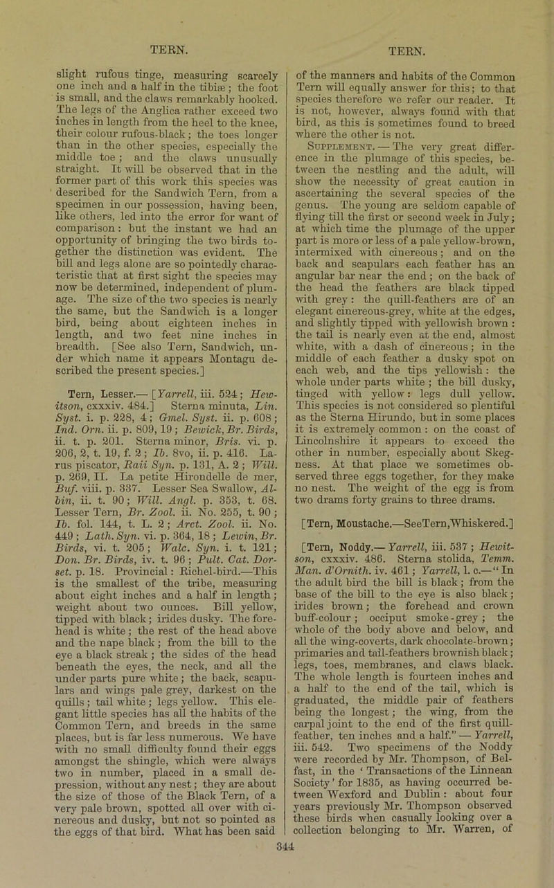 slight mfous tinge, measuring scarcely one inch and a half in the tibite ; the foot is small, and the claws remai’kably hooked. The legs of the Anglica rather exceed two inches in length from the heel to the knee, their colour rufous-black; the toes longer than in the other species, especially the middle toe; and the claws unusually straight. It ivill be observed that in the former part of this work this species was described for the Sandwich Tern, from a specimen in our possession, having been, like others, led into the error for want of comparison: but the instant we had an opportunity of bringing the two birds to- gether the distinction was evident. The bill and legs alone are so pointedly charac- teristic that at first sight the species may now be determined, independent of j)lum- age. The size of the two species is nearly the same, but the Sandwich is a longer bird, being about eighteen inches in length, and two feet nine inches in breadth. [See also Tern, Sandwdch, un- der which name it appears Montagu de- scribed the present species.] Tern, Lesser.— [TarreZZ, iii. 524; Hew- itson, cxxxiv. 484.] Sterna minuta, Lin. Syst. i. p. 228, 4; Gmel. Syst. ii. p. 008; Ind. Orii. ii. p. 809,19; Bewick, Br. Birds, ii. t. p. 201. Sterna minor, Bris. vi. p. 206, 2, t. 19, f. 2 ; Ib. 8vo, ii. p. 416. Ea- rns piscator, Baii Syn. p. 131, A. 2 ; Will. p. 209, II. La petite Hirondelle de mer, Buf. viii. p. 337. Lesser Sea Swallow, Al- bin, ii. t. 90; BBl. Angl. p. 353, t. 08. Lesser Tern, Br. Zool. ii. No. 255, t. 90 ; Ib. fol. 144, t. L. 2; Arct. Zool. ii. No. 449 ; Lath. Syn. vi. p. 364, 18 ; Leioin, Br. Birds, vi. t. 205; Wale. Syn. i. t. 121; Don. Br. Birds, iv. t. 96 ; Bull. Cat. Dor- set. p. 18. Provincial: Richel-bii'd.—This is the smallest of the tiibe, measuring about eight inches and a half in length; weight about two ounces. Bill yellow, tipped with black; irides dusky. The fore- head is white ; the rest of the head above and the nape black ; from the bill to the eye a black streak; the sides of the head beneath the eyes, the neck, and all the under parts pure wliite; the back, sca2Ju- lars and wings pale grey, darkest on the quills; tail white ; legs yellow. This ele- gant little species has all the habits of the Common Tern, and breeds in the same places, but is far less numerous. We have with no small diflBculty found their eggs amongst the shingle, which were always two in number, placed in a small de- pression, without any nest; they are about the size of those of the Black Tern, of a very pale brown, spotted nU over with ci- nereous and dusky, but not so pointed as the eggs of that bird. What has been said of the manners and habits of the Common Tern -will equally answer for this; to that species thei’efore we refer our rearier. It is not, however, alwaj's found with that bird, as this is sometimes found to breed where the other is not. Supplement. — The very great difier- ence in the plumage of this species, be- tween the nestling and the adult, will show the necessity of great caution in ascertaining the several species of the genus. The young are seldom capable of fiying till the first or second week in July; at which time the plumage of the upper part is more or less of a pale yellow-brown, intermixed with cinereous; and on the back and scapulars each feather has an angular bar near the end ; on the back of the head the feathers are black tipped ■with grey: the quill-feathers are of an elegant cinereous-grey, white at the edges, and slightly tipped with yello^vish brown : the tail is nearly even at the end, almost white, with a dash of cinereous; in the middle of each feather a dusky spot on each web, and the tips yellowish: the whole under parts white ; the bill dusky, tinged mth yellow: legs duU yellow. This species is not considered so plentiful as the Sterna Hirundo, but in some places it is extremely common : on the coast of Lincolnshii-e it appears to exceed the other in number, especially about Skeg- ness. At that ifiace we sometimes ob- served three eggs together, for they make no nest. The weight of the egg is from two drams forty gi-ains to three drams. [Tem, Moustache.—SeeTern,'Whiskered.] [Tern, Noddy.— Yarrell, iii. 537 ; Hewit- son, cxxxiv. 486. Sterna stolida, Temm. Man. d’Omith. iv. 461; Yarrell, 1. c.—“ In the adult bii'd the bill is black; from the base of the bill to the eye is also black; irides brown; the forehead and crowm bulf-colour ; occiput smoke - grey ; the whole of the body above and below, and all the -wing-coverts, dark chocolate-brown; primaries and tail-feathers brownish black; legs, toes, membranes, and claws black. The whole length is fourteen inches and a half to the end of the tail, which is graduated, the middle pair of feathers being the longest; the wdng, from the caipal joint to the end of the first quill- feather, ten inches and a half.” — Yarrell, iii. 542. Two specimens of the Noddy were recorded by Mr. Thompson, of Bel- fast, in the ‘ Transactions of the Linnean Society ’ for 1835, as having occurred be- tween Wexford and Dublin : about four years previously Mr. Thompson observed these birds when casually looking over a collection belonging to Mr. Warren, of