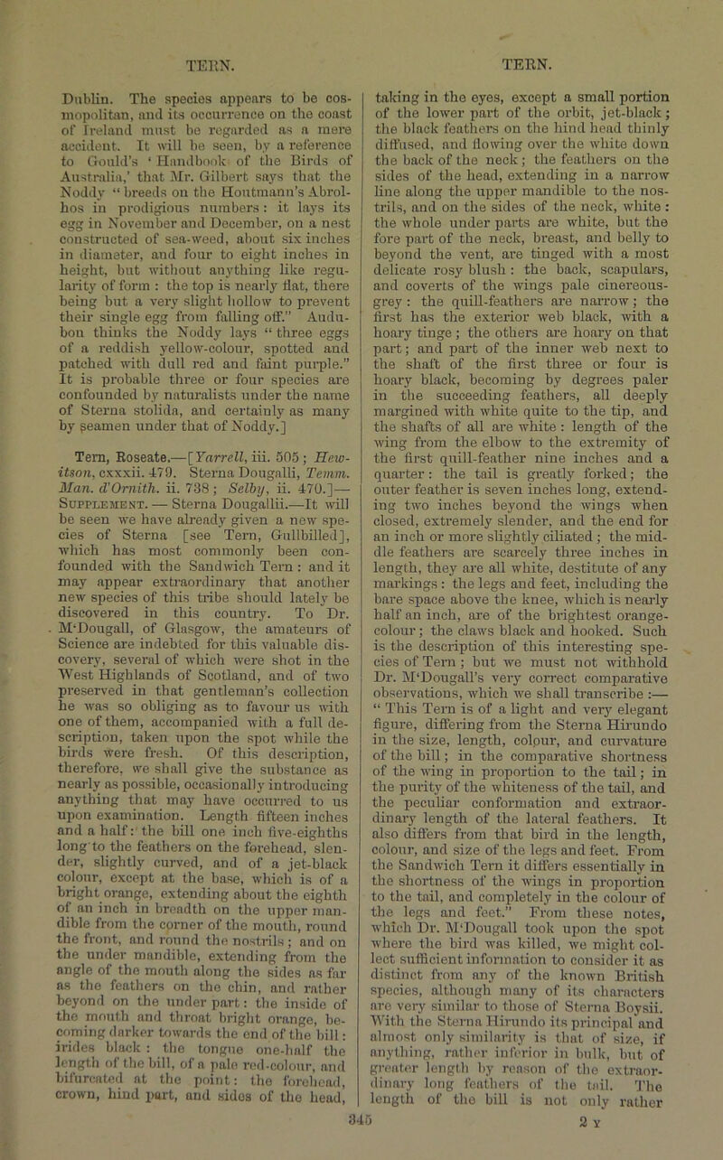 Dublin. The species appears to be cos- mopolitan, ami its occurrence on the coast of Ireland must bo regarded as a mere accident. It will be seen, by a rel'erence to Gould’s ‘ Handbook of the Birds of Australia,' that IMr. Gilbert says that the Noddy “breeds on the Houtmanu’s Abrol- hos in prodigious numbers : it lays its egg in November and December, on a nest constructed of sea-weed, about six inches in diameter, and four to eight inches in height, but without anything like regu- larity of form : the top is nearly flat, there being but a very slight hollow to prevent their single egg from falling olf.” Audu- bon thinks the Noddy lays “ three eggs of a reddish yellow-colour, spotted and patched with dull red and faint purple.” It is probable three or four species are confounded by naturalists under the name of Sterna stolida, and certainly as many by peamen under that of Noddy.] Tern, Roseate.—\_Yarrell,i\i. 505; Hew- ttsoa, cxxxii. 470. Sterna Dougalli, Temm. Man. d'Ornith. ii. 738; Selby, ii. 470.]— Supplement. — Sterna Dougallii.—It will be seen we have already given a new spe- cies of Sterna [see Tern, Gullbilled], which has most commonly been con- founded with the Sand wich Tern : audit may appear extraordinary that another new species of this tribe should lately be discovered in this country. To Dr. M'Dougall, of Glasgow, the amateurs of Science are indebted for this valuable dis- covery, several of which were shot in the West Highlands of Scotland, and of two preserved in that gentleman’s collection he was so obliging as to favour us with one of them, accompanied with a full de- scription, taken upon the spot while the birds were fresh. Of this description, therefore, we shall give the substance as nearly as possible, occasionally introducing anything that may have occurred to us upon examination. Length fifteen inches and a half: the bill one inch five-eighths long'to the feathers on the forehead, slen- der, slightly curved, and of a jet-black colour, except at the base, which is of a bright orange, extending about the eighth of an inch in breadth on the upper man- dible from the corner of the mouth, round the front, and round the nostrils ; and on the under mandible, extending from the angle of the mouth along the sides as far as the feathers on the chin, and rather beyond on the under part: the inside of the mouth and throat bright orange, be- coming darker towards the end of the hill: irides black : the tongue one-half the length of the bill, of a pale red-colour, and bifurcated at the point: the forehead, crown, hind port, and sides of the head, taking in the eyes, except a small portion of the lower part of the orbit, jet-black; the black feathers on the hind head thinly diffused, and flowing over the white down the back of the neck ; the feathers on the sides of the head, extending in a narrow line along the upper mandible to the nos- trils, and on the sides of the neck, white : the whole under parts are white, but the fore part of the neck, breast, and belly to beyond the vent, are tinged with a most delicate rosy blush : the back, scapulars, and coverts of the wings pale cinereous- grey : the quill-feathers are narrow; the first has the exterior web black, -with a hoary tinge ; the others are hoary on that part; and part of the inner web next to the shaft of the first three or four is hoary black, becoming by degrees paler in the succeeding feathers, all deeply margined with white quite to the tip, and the shafts of all are white : length of the wing from the elbow to the extremity of the fii’st quill-feather nine inches and a quarter: the tail is greatly forked; the outer feather is seven inches long, extend- ing two inches beyond the wings when closed, extremely slender, and the end for an inch or more slightly ciliated ; the mid- dle feathers are scarcely three inches in length, they are all white, destitute of any markings : the legs and feet, including the bare space above the knee, which is nearly half an inch, are of the brightest orange- colour ; the claws black and hooked. Such is the description of this interesting spe- cies of Tern; but we must not withhold Dr. M'Dougall’s very correct comparative observations, which we shall transcribe :— “ This Tern is of a light and very elegant figure, differing from the Sterna Hirundo in the size, length, colpur, and curvature of the bill; in the comparative shortness of the wing in proportion to the tail; in the purity of the whiteness of the tail, and the peculiar conformation and extraor- dinary length of the lateral feathers. It also differs from that bird in the length, colour, and size of the legs and feet. From the Sandwich Tern it differs essentially in the shortness of the wings in proportion to the tail, and completely in the colour of the legs and feet.” From these notes, which Dr. M'Dougall took upon the spot where the bird -was killed, wo might col- lect sufficient information to consider it as distinct from any of the known British species, although many of its characters are veiy similar to those of Sterna Boysii. With the Sterna Hirundo its principal and almost only similarity is that of size, if anything, rather inferior in bulk, but of greater lengtii by reason of the extraor- dinary long feathers of the tail. 'The length of the bill is not only rather
