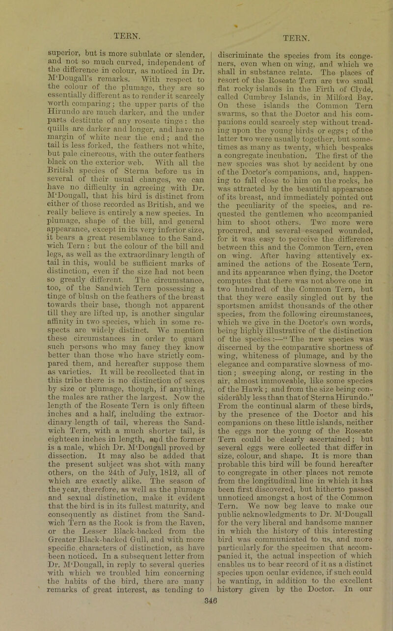 superior, but is more subulate or slender, and not so much curved, independent of tlie difference in colour, ns noticed in Dr. M'Dougall’s remarks. With respect to the colour of the iihimage, they are so essentially different as to render it scarcely worth comparing; the upper parts of the HLrundo are much darker, and the under parts destitute of any roseate tinge: the quills are darker and longer, and have no margin of white near the end ; and the tail is less forked, the feathers not white, but pale cinereous, with the outer feathers black on tlic exterior web. With all the British species of Sterna before us in several of their usual changes, we can have no difficulty in agreeing with Dr. M'Dougnll, that his bird is distinct from either of those recorded as British, and we really believe is entirely a new species. In plumage, shape of the bill, and general appearance, except in its veiy inferior size, it bears a great resemblance to the Sand- wich Tern : but the colour of the bill and legs, as well as the extraordinary length of tail in this, would be sufficient marks of distinction, even if the size had not been so greatly different. The circumstance, too, of the Sandwich Tern possessing a tinge of blush on the feathers of the breast towards their base, though not apparent till they are lifted up, is another singular affinity in two species, which in some re- spects arc widely distinct. We mention these circumstances in order to guard such por.sons who may fancy they know better than those who have strictly com- pared them, and hereafter suppose them as varieties. It will be recollected that in this tribe there is no distinction of sexes by size or plumage, though, if anything, the males are rather the lai’gest. Now the length of the Roseate Tern is only fifteen inches and a half, including the extraor- dinary length of tail, whereas the Sand- wich Tem, with a much shorter tail, is eighteen inches in length, and the former is a male, which Dr. M'Dougoll proved by dissection. It may also be added that the present subject was shot with many others, on the SIth of July, 1812, all of which are exactly alike. The season of the year, therefore, as well as the plumage and sexual distinction, make it evident that the bird is in its fullest maturity, and consequently as distinct from the Sand- wich Tern as the Rook is from the Raven, or the Lesser Black-backed from the Greater Block-backed Gull, and with more specific characters of distinction, ns have been noticed. In a subsequent letter from Dr. M‘Dougall, in reply to several queries with which we troubled him concerning the habits of the bird, there are many remarks of great interest, as tending to discriminate the species from its conge- ners, even when on wing, and which we shall in substance relate. The places of resort of the Roseate Tern are two small flat rocky islands in the Fu-th of Clyde, called Curabrey Islands, in Milford Bay. On these islands the Common Tern swarms, so that the Doctor and his com- panions could scarcely step without tread- ing upon the young birds or eggs ; of the latter two were usually together, but some- times ns many as twenty, which bespeaks a congregate incubation. The first of the new species was shot by accident by one of the Doctor’s companions, and, happen- ing to fall close to him on the rocks, he was attracted by the beautiful appearance of its breast, and immediately pointed out the peculiarity of the species, and re- quested the gentlemen who accompanied him to shoot others. Two more were procured, and several escaped wounded, for it was easy to peiceive the difference between this and the Common Tern, even on wing. After having attentively ex- amined the actions of the Roseate Tem, and its appearance when flying, the Doctor computes that there was not above one in two hundred of the Common Tern, but that they were easily singled out by the sportsmen amidst thousands of the other sj)ecies, from the following circumstances, which we give in the Doctor’s own words, being highly illustrative of the distinction of the species:—“ The new species was discerned by the comparative shortness of wing, whiteness of plumage, and by the elegance and comparative slowness of mo- tion ; sweeping along, or resting in the air, almost immoveable, like some species of the Hawk ; and from the size being con- siderably less than thatof Sterna Himndo.” From the continual alarm of these birds, by the presence of the Doctor and his companions on these little islands, neither the eggs nor the young of the Roseate Tem could be clearly ascertained; but several eggs were collected that differ in size, colour, and shape. It is more than probable this bird will be found hereafter to congregate in other places not remote from the longitudinal line in which it has been first discovered, but hitherto passed unnoticed amongst a host of the Common Tern. We now beg leave to make our public acknowledgments to Dr. M'Dougall for the very liberal and handsome manner in which the history of this interesting bird was communicated to us, and more particularly for the specimen that accom- panied it, the actual inspection of which enables us to bear record of it as a distinct species upon ocular evidence, if such could be wanting, in addition to the excellent history given by the Doctor. In our
