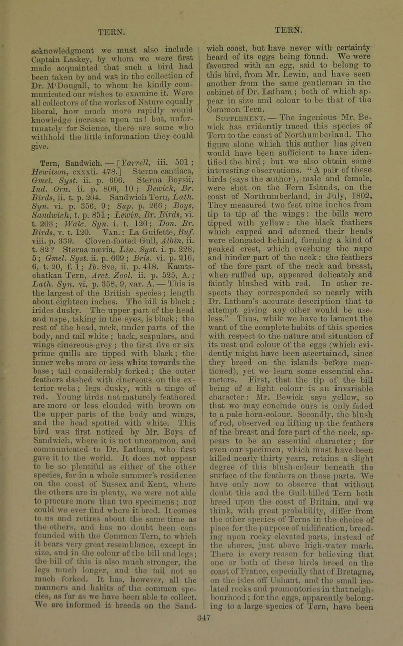 acknowledgment we must also include Captain Laskey, by whom we were first made ac(iuainted that such a bird had been taken by and was in the collection of Dr. M'Dougall, to whom he kindly com- municated our wishes to examine it. Were all collectors of the works of Nature equally liberal, how much more rapidly would knowledge increase upon us ! but, unfor- tunately for Science, there are some who withhold the little information they could give. Tern, Sandwich.— {^Yarrell, iii. 501; Hewitson, cxxxii. 478.] Sterna cantiaca, Gmel. Syst. ii. p. 600. Sterna Boysii, Jnd. Oni. ii. p. 806, 10 ; Bewick, Br. Birds, ii. t. p. 904. Sandwich Tern, Lath. Syii. vi. p. 350, 9; Sup. p. 960 ; Boys, Sandwich, t. p. 851; Lewin, Br. Birds, vi. t. 903; Wale. Sy n. i. t. 190; Don. Br. Birds, V. t. 190. Vak. : La Guifette, Buf. viii. p. 339. Cloven-footed GuU, Alhin, ii. t. 82 ? Sterna ncevia, Lin. Syst. i. p. 228, 5; Gmel. Syst. ii. p. 009 ; Bris. vi. p. 216, 0, t. 20, f. 1; Ib. 8vo, ii. p. 418. Kamts- chatkan Tern, Arct. Zool. ii. p. 525, A.; Lath. Syn. vi. p. 358, 9, var. A. — This is the largest of the British species ; length about eighteen inches. The bill is black ; hides dusky. The upper part of the head and nape, taking in the eyes, is black; the rest of the head, neck, under parts of the bodj, and taU white; back, scapulars, and wings cinereous-grey ; the first five or six prime quills are tipped with black; the inner webs more or less white towards the base ; tail considerably forked ; the outer feathers dashed with cinereous on the ex- terior webs; legs dusky, with a tinge of red. Young birds not maturely feathered are more or less clouded with brown on the upper parts of the body and wings, and the head spotted with white. This bird was first noticed by Mr. Boys of Sandwich, where it is not uncommon, and communicated to Dr. Latham, who first gave it to the world. It does not appear to be so plentiful as either of the other species, for in a whole summer’s residence on the coast of Sussex and Kent, where the others are in plenty, we were not able to procure more than two specimens; nor could we ever find where it bred. It comes to us and retires about the same time as the others, anil has no doubt been con- founded with the Common Tern, to which it bears very great resemblance, except in size, and in tlie colour of tbe bill and legs; the bill of this is also much stronger, the legs much longer, and the (nil not so much forked. It has, however, all the manners and habits of the common spe- cies, ns far as we have been able to collect. We ore informed it breeds on the Sand- wich const, but have never with certainty heal’d of its eggs being found. Wo were favoured with an egg, said to belong to this bird, from Mr. Le\vin, and have seen another from the same gentleman in the cabinet of Dr. Latham ; both of which ap- pear in size and colour to be that of the Common Tern. Supplement. — The ingenious Mr. Be- wick has evidently traced this species of Tern to the coast of Northumberland. The figure alone which this author has given would have been sufiBcient to have iden- tified the bird; but we also obtain some interesting observations. “ A pair of these birds (says the author), male and female, were shot on the Fern Islands, on the coast of Northumberland, in July, 1802. They measured two feet nine inches from tip to tip of the wings : the bills were tipped with yellow: the black feathers which capped and adorned their heads were elongated behind, forming a kind of peaked crest, which overhung the nape and hinder part of the neck : the feathers of the fore part of the neck and breast, when ruffled up, appeared delicately and faintly blushed with red. In other re- spects they corresponded so nearly with Dr. Latham’s accurate description that to attempt giving any other would be use- less.” Thus, while we have to lament the want of the complete habits of this species with respect to the natiu’e and situation of its nest and colour of the eggs (which evi- dently might have been ascertained, since they breed on the islands before men- tioned), yet we learn some essential cha- racters. First, that the tip of the bill being of a light colour is an invariable character: Mr. Bewick says yellow, so that we may conclude ours is only faded to a pale horn-colour. Secondly, the blush of red, observed on lifting up the feathers of the breast and fore part of the neck, ap- pears to be an essential character; for even our sjiecimen, which must have been killed nearly thirty years, retains a slight degree of this blush-colour beneath the surface of the feathers on those parts. We have only now to observe that without doubt this and the Gull-bUled Tern both breed upon the coast of Britain, and we think, with great probability, differ from the other species of Terns in the choice of jilace for the purpose of iiidification, breed- ing upon rocky elevated parts, instead of the shores, just above high-water mark. There is every reason for believing that one or both of these birds breed on the coast of France, especially (hat of Bretagne, on the isles off Ushant, and the small iso- lated rocks and promontories in that neigh- bourhood ; for the eggs, apparently belong- ing to a large species of ’Tern, have been