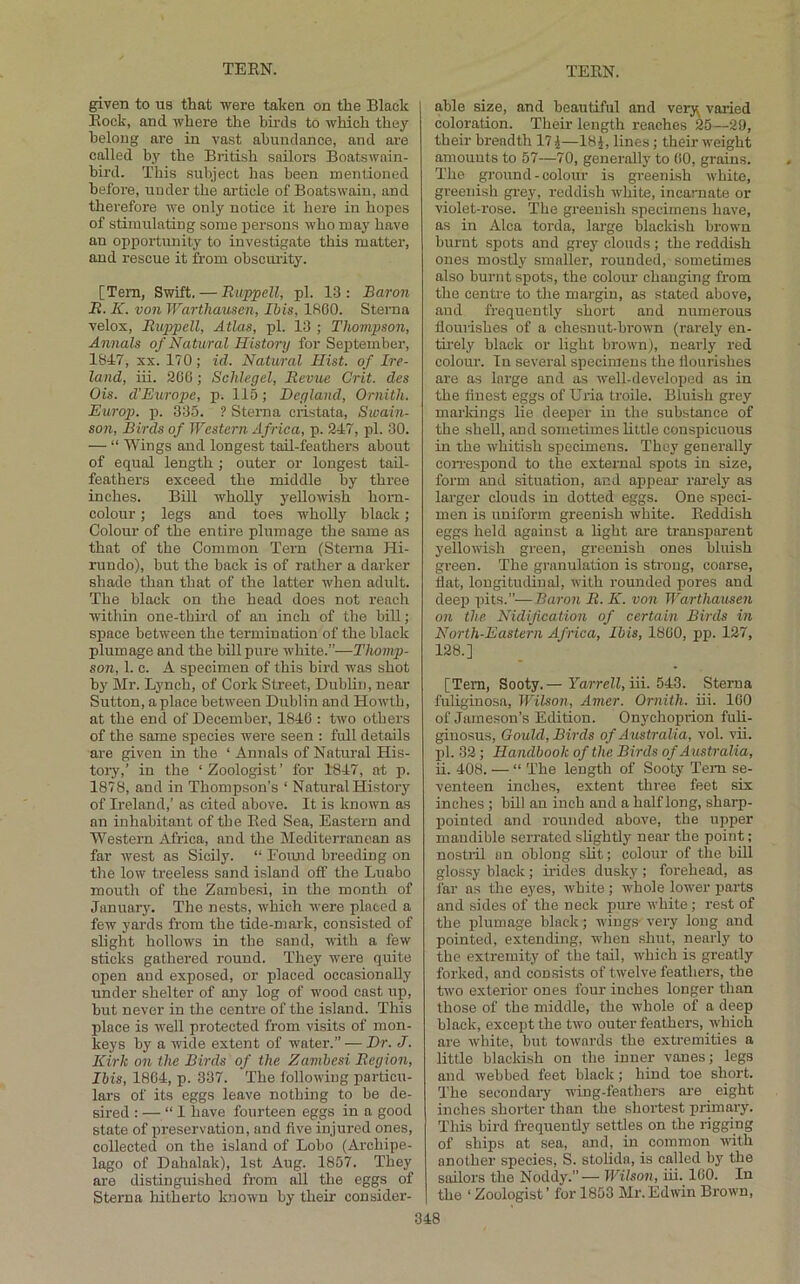 given to us that were taken on the Black Eock, and where the birds to which they belong are in vast abundance, and are called by the British sailors Boatswain- bird. This subject has been mentioned before, under the article of Boatswain, and therefore we only notice it here in hopes of stimulating some persons who may have an opportunity to investigate this matter, and rescue it from obscurity. [Tern, Swift. — Ruppell, pi. 13: Baron B. K. von Warthausen, Ibis, 1800. Sterna velox, Buppell, A tlas, pi. 13 ; Thompson, Annals of Natural History for September, 1847, XX. 170; id. Natural Hist, of Ire- land, iii. 200; Schlegel, Revue Crit. des Ois. d’Europe, p. 115; Heyland, Ornith. Europ. p. 335. ? Sterna ciistata, Swain- son, Birds of Western Africa, p. 247, pi. 30. — “ Wings and longest taU-feathers about of equal length ; outer or longest tail- feathers exceed the middle by three inches. Bill whoEy yellowish horn- colour ; legs and toes wholly black; Colour of the entire plumage the same as that of the Common Tern (Sterna Hi- rundo), but the back is of rather a darker shade than that of the latter when adult. The black on the head does not reach within one-tbii’d of an inch of the bill; space between the termination of the black plumage and the bill pure white.”—Thomp- son, 1. c. A specimen of this bird was shot by Mr. Lynch, of Cork Street, Dublin, near Sutton, a place between Dublin and Howtb, at the end of December, 1840 : two others of the same species were seen : full details are priven in the ‘ Annals of Natural His- toi’y,’ in the ‘Zoologist’ for 1847, at p. 1878, and in Thompson’s ‘ Natural History of Ireland,’ as cited above. It is known as an inhabitant of the Eed Sea, Eastern and Western Africa, and the Mediterranean as far west as Sicily. “ Found breeding on the low treeless sand island off the Luabo mouth of the Zambesi, in the month of January. The nests, which were placed a few yards from the tide-mai’k, consisted of slight hollows in the sand, with a few sticks gathered round. They were quite open and exposed, or placed occasionally under shelter of any log of wood cast up, but never in the centre of the island. This place is well protected from visits of mon- keys by a wide extent of water.” — T)r. J. Kirk on the Birds of the Zambesi Region, Ibis, 1804, p. 337. The following particu- lars of its eggs leave nothing to be de- sired : — “1 have fourteen eggs in a good state of preservation, and five injured ones, collected on the island of Lobo (Archipe- lago of Dahalak), 1st Aug. 1857. They are distinguished from all the eggs of Sterna hitherto known by their consider- able size, and beautiful and verj^ varied coloration. Their length reaches 25—29, their breadth 17 J—IBJ, lines; their weight amounts to 57—70, generally to 00, grains. The ground-colour is greenish white, greenish grey, reddish w'liite, incarnate or violet-rose. The greenish specimens have, as in Alca torda, large blackish brown burnt spots and grey clouds ; the reddish ones mostly smaller, rounded, sometimes also burnt spots, the colour changing from the centre to the margin, as stated above, and frequently short and numerous fioui’ishes of a chesnut-brown (rarely en- tirely black or light brown), nearly red colour. In several specimens the nourishes are as large and as well-developed as in the finest eggs of Uria troile. Bluish grey markings lie deeper in the substance of the shell, and sometimes little conspicuous in the w'hitish specimens. They generally con-espond to the external spots in size, foi-m and situation, and appear rarely as larger clouds in dotted eggs. One speci- men is uniform greenish white. Eeddish eggs held against a light are transparent yellowish green, greenish ones bluish green. The granulation is strong, coarse, fiat, longitudinal, with rounded pores and deep pits.”— Baron R. K. von Warthausen on the Nidijication of certain Birds in North-Eastern Africa, Ibis, 1800, pp. 127, 128.] [Tern, Sooty.— Farrell, iii. 543. Sterna fuhginosa, Wilson, Amer. Ornith. iii. IGO of Jameson’s Edition. Onychoprion fuli- ginosus, Gould, Birds of Australia, vol. vu. pi. 32 ; Handbook of the Birds of Australia, ii. 408. — “ ’The length of Sooty Tem se- venteen inches, extent three feet six inches ; bdl an inch and a half long, sharp- pointed and rounded above, the upper mandible serrated slightly near the point; nostril an oblong slit; colour of the bill glossy black; irides dusky ; forehead, as far as the eyes, white; whole low^er parts and sides of the neck pure w'hite ; rest of the plumage black; wings- very long and pointed, extending, w-hen shut, nearly to the extremity of the tail, which is greatly forked, and consists of twelve feathers, the tw'o exterior ones four inches longer than those of the middle, the whole of a deep black, except the two outer feathers, which are white, but towards the extremities a little blackish on the inner vanes; legs and webbed feet black; hind toe short. The secondary wing-feathers ai’e eight inches shorter than the shortest primary. This bird frequently settles on the rigging of ships at sea, and, in common with another species, S. stolida, is called by the sailors the Noddy.”— Wilsoti, iii. 100. In the ‘ Zoologist ’ for 1853 Mr. Edwin Brown,