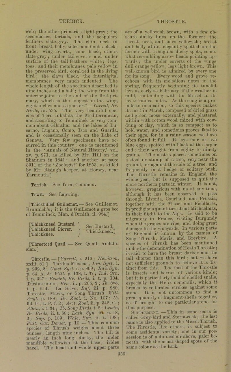 web ; the other primaries light grey; the secondaries, tertials, and the scapulai’y feathers slate-grey. The chin, neck in front, breast, belly, sides, and flanks black; under ^dng-coverts, some black, others slate-grey; under tail-coverts and under surface of the tail-feathers wliite; legs, toes, and their membranes pale yellow in ; the preserved bird, coral-red in the living j bird ; the claws black, the interdigital membranes very much indented. The ' whole length of the specimen described is | nine inches and a half; the wing from the I anterior joint to the end of the first pri- mary, which is the longest in the wing, eight inches and a quarter.”— Yarrell, Br. Birds, iii. 535. This very beautiful spe- cies of Tern inhabits the Mediterranean, and according to Temminck is very com- mon about Gibraltar and the lakes of Lu- carno, Lugano, Como, Isco and Guarda, and is occasionally seen on the Lake of Geneva. Very few specimens have oc- curred in this country ; one is mentioned in the ‘ Annals of Natural History,’ vol. XV. p. 271, as lulled by Mr. Hill on the Shannon in 1841 ; and another, at page 3011 of the ‘ Zoologist’ for 1853, as lulled by Mr. Rishig’s keeper, at Horsey, near Yarmouth.] Terrick.—See Tern, Common. Tewit.—See Laptving. [Thickbilled Guillemot.— See Guillemot, Brunnich’s ; it is the Guillemot a gros bee of Temminck, Man. d’Ornith. ii. 924.] [Thickkneed Bustard. [Thickkneed Plover. [Thickknee. See Bustard, Thickkneed.] [Threetoed Quail. — See Quail, Andalu- sian.] Throstle.— \Yairell, i. 212; Hewitson, xxiii. 81.] Turdns Musicus, Lin. Syst. i. p. 292, 2 ; Gmel. Syst. i. p. 809 ; Baii Syn. p. 04, A. 2 ; Will. p. 138, t. 37 ; hid. Orn. i. p. 327; Bewick, Br. Birds, i. t. p. 104. Turdns minor, Bris. ii. p. 205, 2 ; Ih. 8vo, i. p. 214. La Grive, Buf. iii. p. 280. Throstle, Mavis, or Song Thrush, Will. Angl. p. 188; Br. Zool. i. No. 107; Ih. fol. 91, t. P. f. 2 ; Arct. Zool. ii. p. 342, C.; Alhin, i. t. 34 ; Ih. Song Birds, t. 2; Leioin, Br. Birds, ii. t. 58; Lath. Syn. iii. p. 18, 2; Sup. p. 139; Wale. Syn. ii. t. 198; Pult. Cat. Dorset, p. 10. — This common species of Thrush weighs about three j ounces; length nine inches. The bill is nearly an inch long, dusky, the under | mandible yeUowish at the ba.se; irides \ hazel. The head and whole upper parts ! are of a yellowish brown, with a few ob- scure dusky lines on the foi’iner; the throat, neck, and sides yellowish; breast and belly white, elegantly spotted on the former with triangular dusky spots, some- what resembling arrow-heads pointing up- wards ; the under coverts of the wings dull orange-yellow; legs light brown. This well-known bird is admired by every one for its song. Every wood and grove re- echoes with its melodious notes in the spring, frequently beginning its tunefid la3^s as early as Febrnarj' if the weather is mild, contending with the Missel in its love-strained notes. As the song is a pre- lude to incubation, so this species makes its nest in March, composed of dried grass and green moss externally, and plastered within with rotten wood mixed with cow- dung or clay, which is so compact as to hold water, and sometimes proves fatal to their eggs, for in a rainy season we have often found it full. It lays four or five blue eggs, spotted with black at the larger end; their weight from eighty to ninety grains. The nest is j)laced sometimes on a stool or stump of a tree, very near the ground, or against the side of a tree, and frequently in a hedge or solitary bush. The Throstle remains in England the whole year, but is supposed to quit the more northern parts in winter. It is not, however, gregarious with us at any time, although it has been observed to pass through Livonia, Courland, and Prussia, together with the Missel and Fieldfares, in prodigiotts quantities about Michaelmas, in their flight to the Alps. Is said to be migratory in France, ■t'isiting Burgundy when the grapes are ripe, and doing great damage to the vineyards. In various parts of England is known by the names of Song Thrush, Mavis, and Greybird. A species of Thrush has been mentioned under the denomination of Heath Throstle; is said to have the breast darker and the tail shorter than this bird; but we have not sufficient grounds to believe it is dis- tinct from this. The food of the Throstle is insects and berries of various kinds; but it is particularlj’ fond of shelled snails, especially the Helix nemornlis, which it breaks by reiterated strokes against some stone. It is not uncommon to find a great quantity of fragment-shells together, as if brought to one particular stone for that purpose. SuiTi.EMENT. — This in some parts is called Grej'-bird and Storm-cock ; the last name is also applied to the Missel Thrush. The'Throstle, like others, is subject to some accidental variety; one in our pos- session is of a dun-colour above, paler be- neath, with the usual-shaped spots of the same colour as the back.