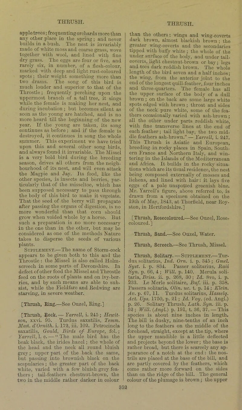 apple trftes; frequenting orchards more than any other place in the spring ; and never builds in a bush. Tlie nest is invariably made of white moss and coarse grass, wove together with wool, and lined with flue dry grass. The eggs are four or five, and rarely six, in number, of a llesh-colour, marked with deep and light rust-coloured spots ; their weight something more than two drams. The song of this bird is much louder and superior to that of the Throstle; frequently perching upon the uppermost branch of a tall tree, it sings while the female is making her nest, and during incubation ; but becomes silent as soon as the young are hatched, and is no more heard till the beginning of the new year. H the young are taken, its song continues as before; and if the female is destroyed, it continues in song the whole summer. This experiment we have tried upon this and several other song birds, and always found it invai-iable. The Missel is a very bold bird during the breeding season, drives all others from the neigh- bourhood of its nest, and will even attack the Magpie and Jay. Its food, hke the other species, is insects and bereies, par- ticularly that of the misseltoe, which has been supposed necessary to pass through the body of this bird to make it vegetate. That the seed of the berry will propagate after passing the organs of digestion, is no more wonderful than that corn should grow when voided whole by a horse. But such a preparation is no more necessary in the one than in the other, but may be considered as one of the methods Nature takes to disperse the seeds of various qjlants. Supplement.—The name of Storm-cock appears to be given both to this and the Throstle ; the Missel is also called Holm- screech in some parts of Devonshire. In defect of other food the Missel and Throstle feed on the roots of plants and on ivy-ber.. ries, and by such means are able to sub- sist, while the Fieldfare and Redwing are starving, in severe weather. [Thrush, Ring.—See Ouzel, Ring.] [Thrush, Rock. — Yarrell, i. 245 ; Hewit- son, xxvi. 95. Turdus saxatilis, Temm. Mail. d'Ornith. i. 172, iii. 102. Petrocincla saxatilis, Gould, Birds of Europe, fol.; Yarrell, 1. c. — “ The male bii-d has the beak black, the irides hazel; the whole of the head and the neck all round bluish grey; upper part of the back the same, but passing into brownish black on the scapularics; the greater part of the back white, varied with a few bluish grey fea- thers ; tail-feathers chestnut-brown, the two in the middle rather darker in colour than the others; \vings and wing-coverts dark brown, almost blackish brown ; the greater wing-coverts and the secondaries tipped with buffy white ; the whole of the under surface of the body, and under tail- coverts, light chestnut-brown or bay; legs and toes dark reddish brown. The whole length of the bird seven and a half inches; the wing, from the anterior joint to the end of the longest quill-feather, four inches and three-quarters. The female has all the upper surface of the body of a dull brown ; on the back are some large white spots edged with brown; throat and sides of the neck pure white, some of the fea- thers occasionally varied with ash-brown ; all the other under parts reddish white, with fine transverse lines at the end of each feather; tail light bay, the two mid- dle feathers ash-brown.” — Yarrell, i. 247. This Thrush is Asiatic and European, breeding in rocky places in Spain, South- ern Fj-ance and Northern Italy, and win- tering in the Islands of the Mediterranean and Africa. It builds in the rocky situa- tions which are its usual residence, the nest being composed externally of mosses and lichens, and lined with hair: it lays five eggs of a pale unspotted greenish blue. Mr. Yarrell’s figure, above referred to, is drawn from a specimen obtained on the 19th of May, 1844, at Thorfield, near Roy- ston, in Hertfordshire.] [Thrush, Rosecoloured.—See Ouzel, Rose- coloured.] Thrush, Sand.—See Ouzel, Water. Thrush, Screech.—See Thrush, Missel. Thrush, Sohtary.—Supplement.— Tur- dus sohtarius, Ind. Orii. i. p. 345; Gviel. Syst. i. p. 834. Passer solitarius, Baii Syn. p. 00, 4; Will. p. 140. Merula soli- taria, Briss. ii. p. 208, 30; Id. 8vo, i. p. 233. Le Merle solitaire, Bt(f. iii. p. 358. Passera sohtaria, Olin. uc. t. p. 14; Klein. Av. p. 07, 11. Turdus solitarius, Hasselq. Act. Ups. 1750, p. 21; Id. Voy. (ed. Angl.) p. 20. Solitary Thrush, Lath. Syn. iii. p. 52 ; Will. (Angl.) p. 191, t. 30, 37. — This species is about nine inches in length. The bill is dusky, nine-tenths of an inch long to the feathers on the middle of the forehead, straight, except at the tip, w-here the upper mandible is a little deflected and pi-ojeots beyond the lower; the base is rather broad, but there is scarcely any ap- pearance of a notch at the end : the nos- trils are placed at the base of the bill, and are partly covered by the feathers, which come rather more forward on the sides than on the ridge of the bill. The general colour of the jAumage is brown; the upper