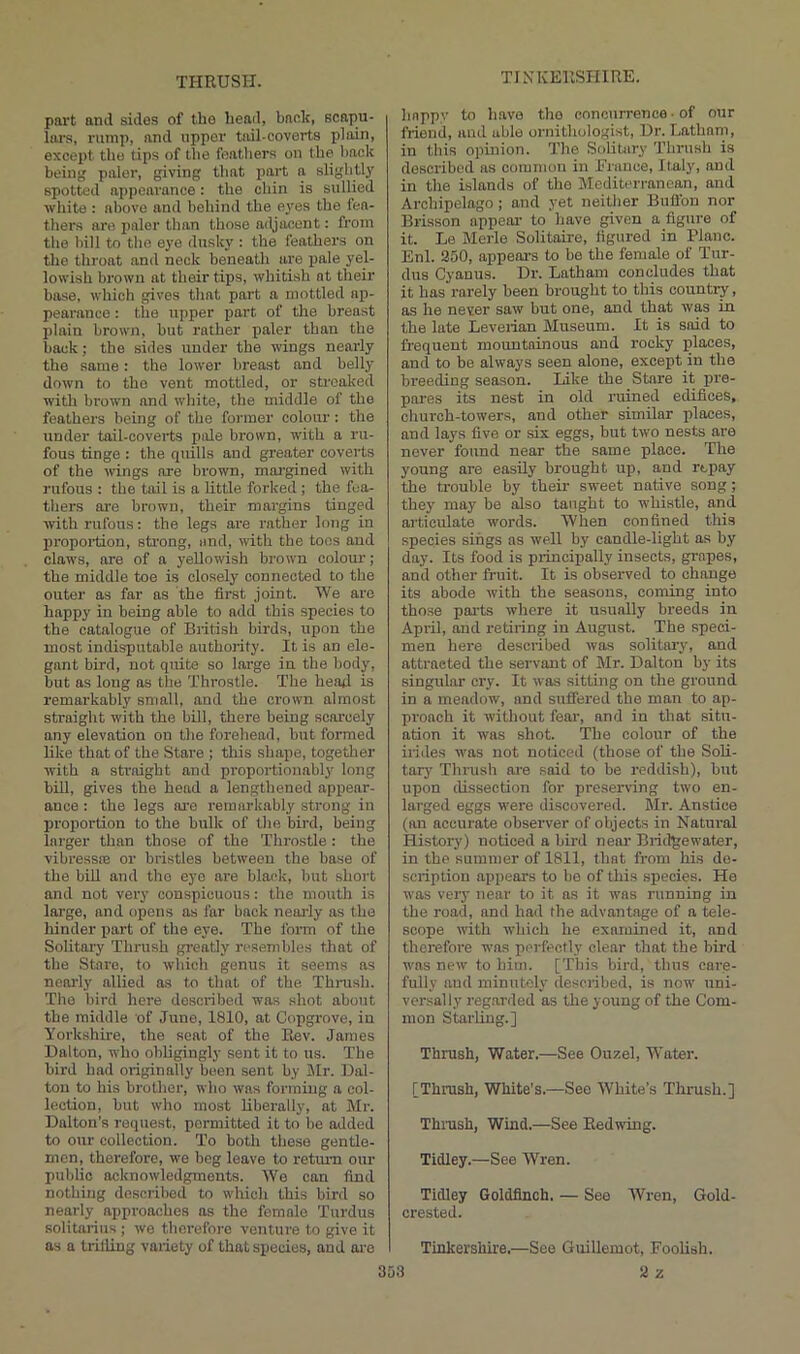 TrNKEllSrilRE. part and sides of the beatl, back, scapu- lars, rump, and upper tail-coverts plain, except the tips of tlie featliers on the back being paler, giving that part a slightly spotted appearance: the chin is sullied white : above and behind the eyes the fea- thers are paler than those adjacent: from the bill to the eye dusky : the feathers on the throat and neck beneath are pale yel- lowish brown at their tips, whitish at their base, which gives that part a mottled ap- pearance : the upper part of tlie breast plain brown, but rather paler than the back; the sides under the wings nearly the same: the lower breast and belly down to the vent mottled, or streaked with brown and white, the middle of the feathers being of the former colour: the under toil-coverts pole brown, with a ru- fous tinge : the quills and greater coverts of the wings are brown, mai’gined with rufous : the tail is a little forked; the fea- thers are brown, their margins tinged with rufous: the legs are rather long in liropoiiion, strong, and, with the tons and claws, are of a yellowish brown colour ; the middle toe is closely connected to the outer as far as the first joint. We are happy in being able to add this species to the catalogue of British birds, upon the most indisputable authority. It is an ele- gant bird, not quite so large in the body, but as long as the Throstle. The head is remarkably small, and the crown almost straight with the bill, there being scarcely any elevation on the forehead, but formed like that of the Stare ; this shape, togetlier with a straight and proportiouably long bill, gives the head a lengthened apj>ear- ance : the legs are remarkably strong in proportion to the bulk of the bird, being larger than those of the Throstle : the vibressiB or bristles between the base of the biU and the eye are black, hut short and not very conspicuous: the mouth is large, and opens as far back jieaily as the hinder part of the eye. The form of the Solitai'y Thrush greatly resembles that of the Stare, to wliich genus it seems as nearly allied as to that of the Thi-ush. The bird here described was shot about the middle of June, 1810, at Copgi'ove, in Yorkshire, the seat of the Rev. Janies Dalton, wlio obligingly sent it to us. The bird had oiiginally been sent by Jlr. Dal- ton to his brother, who was forming a col- lection, but who most liberally, at Mr. Dalton’s request, permitted it to be added to our collection. To both these gentle- men, therefore, we beg leave to retmui our public acknowledgments. We can find nothing described to which this bird so nearly approaches as the female Turdus solitarius; we therefore venture to give it as a trilling variety of that species, and oi-e happy to have tho concurrence • of our friend, and able ornithologist. Dr. Latham, in this opinion. The Solitary Thrush is described as common in France, Italy, and in the islands of tho Mediterranean, and Archipelago; and yet neither Buflbn nor Brisson appear to have given a figure of it. Le Merle Solitaire, figured in Plane. Enl. 350, appears to be the female of Tur- dus Cyanus. Dr. Latham concludes that it has rarely been brought to this country, as he never saw but one, and that was in the late Leverian Museum. It is said to frequent mountainous and rocky places, and to be always seen alone, except in the breeding season. Like the Stare it pre- pares its nest in old ruined edifices, church-towers, and other similar places, and lays five or six eggs, hut two nests are never found near the same place. The young are easily brought up, and repay the trouble by their sweet native song; they may he also taught to whistle, and ai'ticulate words. When confined this species sings as well by candle-light as by day. Its food is principally insects, gropes, and other fruit. It is observed to change its abode with the seasons, coming into those parts where it usually breeds in April, and retiring in Augiist. The speci- men here described was solitaiy, and attracted the servant of Mr. Dalton by its singular cry. It was sitting on the ground in a meadow, and suffered the man to ap- proach it without fear, and in that situ- ation it was shot. The colour of the irides was not noticed (those of the Soli- tary Thrush are said to be reddish), but upon dissection for preserving two en- larged eggs were discovered. Mr. Anstice (an accurate observer of objects in Natural History) noticed a bird near Bridgewater, in the summer of 1811, that from his de- scription appears to bo of this species. He was very near to it as it was running in the road, and had the advantage of a tele- scope with which he examined it, and therefore was perfectly clear that the bird was new to him. [This bird, thus care- fully and minutely described, is now uni- versally reg.arded as the young of the Com- mon Starting.] Thrush, Water.—See Ouzel, Water. [Thrush, White’s.—See White’s Thrush.] Thrush, Wind.—See Redwing. Tidley.—See Wren. Tidley Goldfinch. — See Wren, Gold- crested. Tinkershire.—See Guillemot, Foolish.