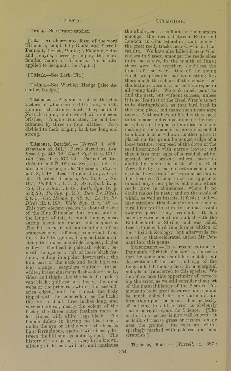 Tima.—See Oyster-catcher. [Tit. — An abbre^hatecl form of the word Titmouse, adopted by Gould and Yarrell. Pennant, Bewick, Montagu, Fleming, Selby and Jenyns, correctly employ the more famihar name of Titmouse. Tit is also applied to designate the Pipits.] [Titlark.—See Lark, Tit.] Titling.—See Warbler, Hedge [also Ac- centor, Hedge.] Titmouse. — A genus of birds, the cha- racters of which are: Bill strait, a little compressed, strong, hard, shnrp-poiuted. Nostrils round, and covered with reflected bristles. Tongue truncated, the end ter- minated by three or four bristles. Toes divided to their origin; back-toe long and sti'ong. • Titmouse, Bearded.— \_Yarrell, i. 406; Hewitson, xl. 161.] Parus biarmicus, Lin. Syst. i. p. .348, 12; Gmel. Syst. ii. p. 1011; Ind. Orn. ii. p. 570, 23. Paims barbatus, Bris. iii. p. 567,12 ; Ib. 8vo, i. p. 468. Le Mesange barbue, on la Moustache, Buf. v. p. 518, t. 18. Least Butcher-bird, Edw. t. 55. Bearded Titmouse, Br. Zool. i. No. 167 ; Ih. fol. 74, t. C. 2 ; Arct. Zool. ii. p. 428, H.: Albin, i. t. 48 ; Lath. Syn. iv. p. 552, 20 ; Ib. Sttp. p. 190; Bon. Br. Birds, i. t. 1; Ost. Menag. p. 78, t.; Lewin, Br. Birds, iii. t. 122 ; Wale. Syn. ii. t. 148. — This very elegant species is about the size of the Blue Titmouse, but, on account of the length of tail, is much longer, mea- suring about six inches and a quarter. The bill is near half an inch long, of an orange-colour, difi’eiing somewhat from tlie rest of the genus, being a little arcu- ated ; the upper mandible longest; hides yellow. The head is pale ash-colour; be- neath the eye is a tuft of loose black fea- thers, ending in a point downwards ; the hind part of tire neck and back light ni- fous-orange; scapulars wLitish; throat white ; breast cinereous flesh-colour; belly, sides, and thighs like the back, but paler; vent black ; quill-feathers dusky; the inner webs of the primaries white ; the second- aries edged, and tliose next the body tipped with the same colour as the back; the tail is about three inches long, and very cuneiform, nearly the colour of the back; the three outer feathers more or less tipped with white; legs black. The female difiers in having no black mark under the eye or at the vent; the head is light ferruginous, spotted with black; be- tw'een the bill and eye a dusky spot. The history of this species is veiy little known, the whole year. It is found in the marshes amongst the reeds between Erith and London, in Gloucestershire, and amongst the great reedy tracks near Cowbit in I.an- cashire. We have also lulled it near AVin- chelsea in Sussex, amongst the reeds close to the sea-shore, in tlie month of June; there were five together, doubtless the brood of that year. One of the young which wo procured had its nestling fea- thers much the colour of the female ; but the feathers were of a looser texture, as in all young bii-ds. AVe took much pains to find the nest, but without success, unless it is so like that of the Reed AVren’s as not to be distinguished, as that bird bred in the same place, and many such nests were taken. Authors have differed with respect to the shape and composition of the nest, as w^ell as in the place of nidification ; one making it the shape of a purse suspended to a branch of a willow; another gives it placed on the ground amongst sedge of a loose texture, composed of the down of the reed intermixed with narrow leaves ; and that it lays four eggs of a reddish white, spotted w'ith brown; others have un- doubtedly taken the nest of the Reed AAT-en for it; so that no certain conclusion is to be drawn from these various accounts. The Bearded Titmouse does not apjoear to inhabit any other places but such where reeds grow' in abundance, w'hore it no doubt makes its nest; aud on the seeds of which, as well as insects, it feeds ; and we may attribute this desideratum in the na- tural history of this bird to the inaccessible swampy places they frequent. It has been by various authors ranked with the Butcher-bird or Shrike, and was called Least Butcher-bird in a former edition of the ‘ British Zoology,’ but afterwards re- moved, by that celebrated author Mr. Pen- nant into this genus. Supplement.— In a recent edition of Pennant’s ‘ British Zoology ’ we observe that by some unaccountable mistake our description of the nest and egg of the Long-tailed Titmouse has, in a marginal note, been transferred to this species. We therefore take this opportunity of correct- ing the error, as we still consider that part of the natural history of the Bearded Tit- mouse to be in great obscurity, and should bo much obliged for any authentic in- formation upon that head. The necessity of noticing this little error is obviously that of a rigid regard for Science. [The nest of this species is now well known ; it is built of coarse grass or rushes, on or near the ground ; the eggs are white, sparingly marked w'ith i^ale red lines and scratches.]