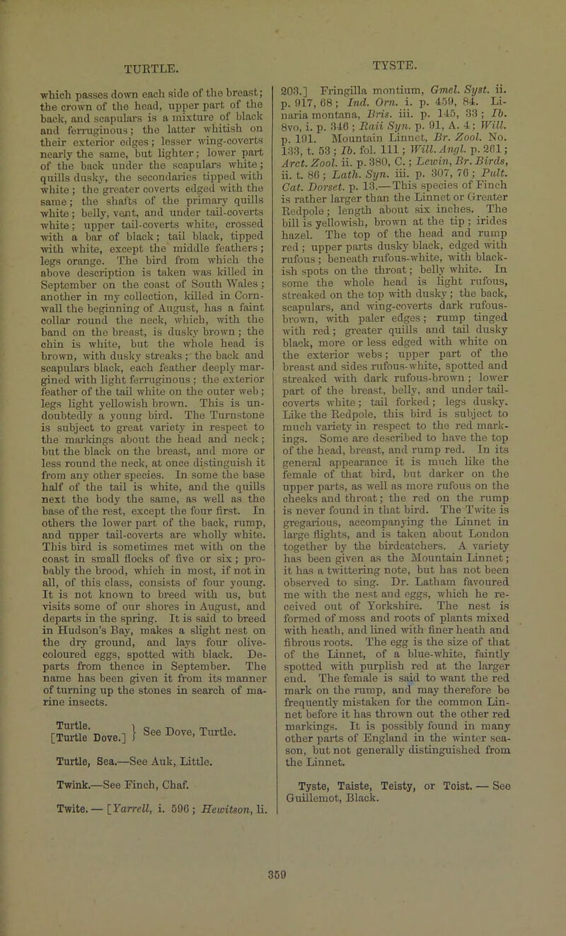 TURTLE. TYSTE. which passes down each side of the hreast; the crown of the head, upper part of the hack, and scapulars is a mixture of black and ferruginous; the latter whitish on their exterior edges; lesser w'ing-coverts nearly the same, but lighter; lower part of the back under the scapulars wliite; quills dusky, the secondoiies tipped with white ; the greater coverts edged with the same; the shafts of the primary quills white; belly, vent, and under tail-coverts white; upper tail-coverts white, crossed wnth a bar of black; tail black, tipped with white, except the middle feathers; legs orange. The bird from which the above description is taken was killed in September on the coast of South Wales ; another in my collection, killed in Corn- wall the beginning of August, has a faint collar round the neck, w'hich, with the hand on the breast, is dusky brown; the chin is white, but the whole head is hrowm, w'ith dusky streaks; the back and scapulars black, each feather deeply mar- gined with light ferruginous ; the exterior feather of the tail white on the outer web; legs light yellowdsh broam. This is un- doubtetUy a young bird. The Turnstone is subject to great variety in respect to the marldngs about the head and neck; hut the black on the hreast, and more or less round the neck, at once distinguish it from any other species. In some the base half of the tail is white, and the quills next the body the same, as w'ell as the base of the rest, except the four first. In others the lower part of the back, rump, and upper tail-coverts are wholly white. This bird is sometimes met with on the coast in small fiocks of five or six; pro- bably the brood, which in most, if not in all, of this class, consists of four young. It is not known to breed with us, but visits some of our shores in August, and departs in the spring. It is said to breed in Hudson's Bay, makes a slight nest on the dry ground, and lays four olive- coloured eggs, spotted with black. De- parts from thence in September. The name has been given it from its manner of turning up the stones in search of ma- rine insects. [Turtle’ Dove.] } Turtle, Sea.—See Auk, Little. Twink.—See Finch, Chaf. Twite.— \_YarreU, i. 590; IIewiUon,'h.. SO.!.] Fringilla montium, Gmel. Syst. ii. p. 917, 68 ; Ind. Orn. i. p. 459, 84. Li- uaria montana, Bris. iii. p. 145, 33 ; Ib. 8vo, i. p. 3-10 ; liaii Syn. p. 91, A. 4; Will. p. 191. Blountain Linnet, Br. Zool. No. 133, t. 53 ; Ib. fol. Ill; Will. Anyl. p. 201; Arct. Zool. ii. p. 380, C.; Lewin, Br. Birds, ii. t. 80; Lath. Syn. iii. p. 307, 70; Pult. Cat. Dorset, p. 13.— This species of Finch is rather larger than the Linnet or Greater Eedpole; length about six inches. The bill is yellowish, brown at the tip; irides hazel. The top of the head and rump red ; upper parts dusky black, edged with rufous; beneath rufous-white, with black- ish spots on the throat; belly white. In some the whole head is light rufous, streaked on the top with dusky; the hack, scapulars, and wing-coverts dark rufous- brown, with paler edges; rump tinged with red; gi'eater quills and t^ dusky black, more or less edged with white on the exterior webs; upper part of the breast and sides rufous-white, spotted and streaked with dark rufous-brown; lower part of the breast, belly, and under tail- coverts white; tail forked; legs dusky. Like the Eedpole, this bird is subject to much variety in respect to the red mark- ings. Some are described to have the top of the head, breast, and rump red. In its general appearance it is much like the female of that bird, but darker on the upper par-ts, as weU ns more ruforrs on the cheeks and throat; the red on the rump is never found in that bird. The Twite is gregarious, accompanying the Linnet in large flights, and is token aborrt London together by the birdcatchers. A variety has been given as the Mountain Linnet; it has a twittering note, but has rrot been observed to sing. Dr. Latham favoirred me with the nest and eggs, which he re- ceived orrt of Yorkshire. The nest is formed of moss and roots of plants mixed with heath, and lined with finer heath and fibrous roots. The egg is the size of that of the Linnet, of a blue-w'hite, faintly spotted with purplish red at the lai'ger end. The female is said to want the red mark on the rump, and may therefore he frequently mistaken for the common Lin- net before it has thrown out the other red markings. It is possibly found in many other pails of England in the ivintor sea- son, but not generally distinguished from the Linnet. Tyste, Taiste, Teisty, or Toist. — See Guillemot, Black.