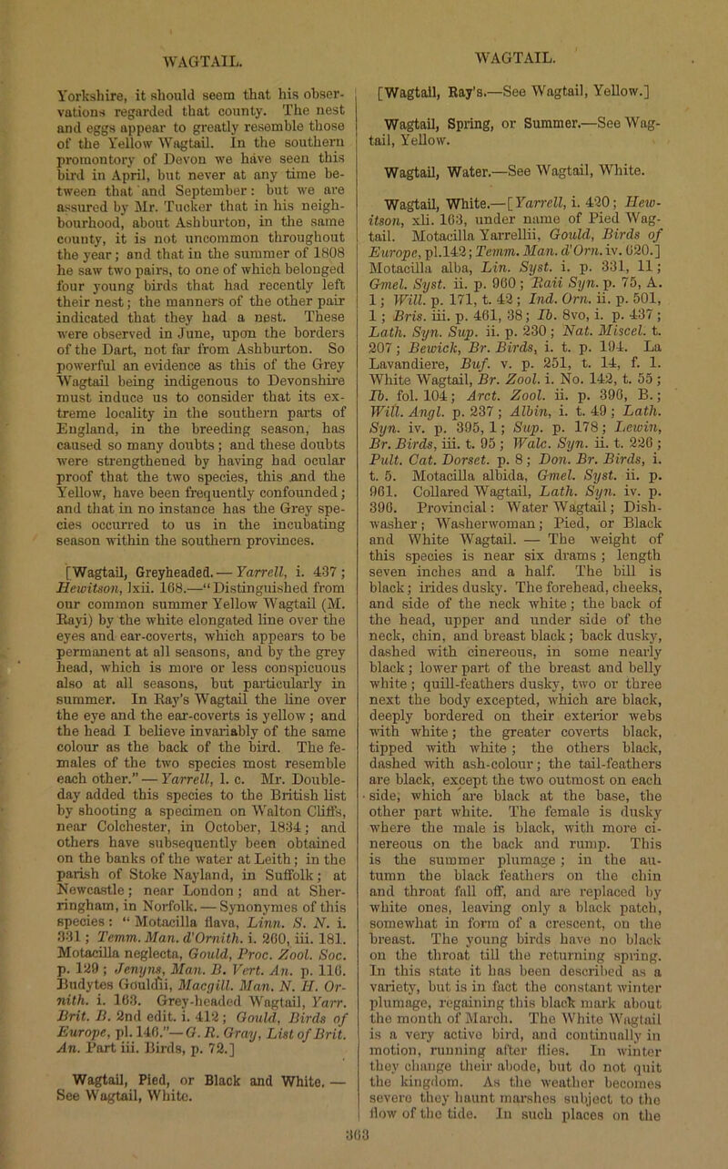 Yorkshire, it should seem that his obser- vations regarded that county. The nest and eggs appear to greatly resemble those of the Yellow Wagtail. In the southern promontory of Devon we have seen this bird in April, but never at any time be- tween that and September: but we are assured by Mr. Tucker that in his neigh- bourhood, about Ashburton, in tlie same county, it is not uncommon throughout the year; and that in the summer of 1808 he saw two pairs, to one of which belonged four young birds that had recently left their nest; the manners of the other pair indicated that they had a nest. These were observed in June, upon the borders of the Dart, not far from Ashburton. So powerful an evidence as this of the Grey Wagtail being indigenous to Devonshii'e must induce us to consider that its ex- treme locality in the southern parts of England, in the breeding season, has caused so many doubts; and these doubts Avere strengthened by having had ocular proof that the two species, this and the Yellow, have been frequently confounded; and that in no instance has the Grey spe- cies occurred to us in the incubating season within the southern provinces. [Wagtail, Greyheaded.— Yarrell, i. 437; Hewitson, Ixii. 168.—“ Distinguished from our common summer Yellow Wagtail (M. Eayi) by the white elongated line over the eyes and ear-coverts, which appears to be permanent at all seasons, and by the grey head, which is more or less conspicuous also at all seasons, but particularly in summer. In Eay’s Wagtail the line over the eye and the ear-coverts is yellow; and the head I believe invaiiably of the same colour as the back of the bird. The fe- males of the two species most resemble each other.” — Yarrell, 1. c. Mr. Double- day added this species to the British list by shooting a specimen on Walton CUSs, near Colchester, in October, 1834; and others have subsequently been obtained on the banks of the water at Leith; in the parish of Stoke Naylnnd, in Suffolk; at Newcastle; near Loudon; and at Shei-- ringham, in Norfolk. — Synonymes of this species: “ Motacilla Hava, Linn. S. N. i. 331; Temm. Man. d’Omith. i. 200, iii. 181. Motacilla neglects, Gould, Proc. Zool. Soc. p. 129; Jenyns, Man. B. Vert. An. p. 110. Budytes Gouldii, Macgill. Man. N. II. Or- nith. i. 163. Grey-headed Wagtail, Yarr. Brit. B. 2nd edit. i. 412 ; Gould, Birds of Europe, pi. 140.—O. R. Gray, List of Brit. An. Port iii. Birds, p. 72.] Wagtail, Pied, or Black and White. — See Wagtail, White. [Wagtail, Ray’s.—See Wagtail, YeUow.] Wagtail, Spring, or Summer.—See Wag- tail, Yellow. Wagtail, Water.—See Wagtail, White. Wagtail, White.—[Tamil, i. 420; Hew- itson, xli. 163, under name of Pied Wag- tail. Motacilla Yarrellii, Gould, Birds of Europe, pl.l42; Temm. Man. d’Orn.iv. 020.] Motacilla alba, Lin. Syst. i. p. 331, 11; Gmel. Syst. ii. p. 900; Raii Syn. p. 75, A. 1; Will. p. 171, t. 42 ; Ind. Orn. u. p. 501, 1; Bris. iii. p. 461, 38; Ih. 8vo, i. p. 437 ; Lath. Syn. Sup. ii. p. 230 ; Nat. Miscel. t. 207; Beicick, Br. Birds, i. t. p. 194. La Lavandiere, Buf. v. p. 251, t. 14, f. 1. White Wagtail, Br. Zool. i. No. 142, t. 55 ; 15. fol. 104; Arct. Zool. ii. p. 390, B.; Will. Angl. p. 237 ; Alhin, i. t. 49 ; Lath. Syn. iv. p. 395, 1; Sup. p. 178; Leioin, Br. Birds, iii. t. 95 ; Wale. Syn. ii. t. 220 ; Pult. Cat. Dorset, p. 8 ; Don. Br. Birds, i. t. 5. Motacilla albida, Gmel. Syst. ii. p. 961. Collared Wagtail, Lath. Sy7i. iv. p. 390. Provincial: Water Wagtail; Dish- washer ; Washerwoman; Pied, or Black and White Wagtail. — The weight of this species is near six drams; length seven inches and a half. The bill is black; irides dusky. The forehead, cheeks, and side of the neck white; the back of the head, upper and under side of the neck, chin, and breast black; back dusky, dashed with cinereous, in some nearly black; lower part of the breast and belly white; quill-feathers dusky, two or three next the body excepted, Avhich are black, deeply bordered on their exterior webs with white; the greater coverts black, tipped with white; the others black, dashed with ash-colour; the tail-feathers are black, except the two outmost on each • side; which 'are black at the base, the other part white. The female is dusky where the male is black, with more ci- nereous on the back and rump. This is the summer plumage; in the au- tumn the black feathoms on the chin and throat fall off, and are replaced by white ones, leaving only a black patch, someAvhat in form of a crescent, on the breast. The young birds have no black on the throat till the returning spring. In this state it has been descrilied ns a variety, but is in fact the constant winter plumage, regaining this black mark about the mouth of March. The White Wagtail is a very active bii'd, and continually in motion, running nl'ter Hies. In winter they change their abode, but do not quit the kingdom. As the weather becomes severe they haunt marshes subject to the I How of the tide. In such places on the
