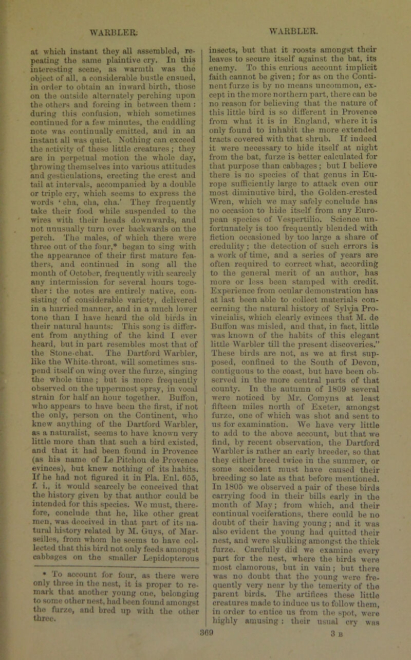 at which instant they all assembled, re- peating the same plaintive cry. In this interesting scene, as warmth was the object of all, a considerable bustle ensued, in order to obtain an inward birth, those on tlie outside alternately perching upon the others and forcing in between them : during this confusion, which sometimes continued for a few minutes, the cuddling note was continually emitted, and in an instant all was quiet. Nothing can exceed the activity of these little creatures ; they are in perpetual motion the whole day, throwing themselves into various attitudes and gesticulations, erecting the crest and tail at intervals, accompanied by a double or triple cry, which seems to express the words ‘ cha, cha, cha.’ They frequently take their food while suspended to the wires with their heads downwards, and not unusually turn over backwards on the perch. The males, of which there were three out of the four,* began to sing with the appearance of their first mature fea- thers, and continued in song all the month of October, frequently with scarcely any intermission for several hours toge- ther : the notes are entirely native, con- sisting of considerable variety, delivered in a hurried manner, and in a much low’er tone than I have heai’d the old birds in their natural haunts; This song is differ- ent from anything of the kind I ever heard, but in part resembles most that of the Stone-chat. The Dartford Warbler, like the White-throat, will sometimes sus- pend itself on wing over the furze, singing the whole time ; but is more frequently observed on the uppermost spray, in vocal strain for half an hour together. Buffon, who appears to have been the first, if not the only, person on the Continent, who knew anything of the Dartford AVarbler, as a naturalist, seems to have known very little more than tliat such a bird existed, and that it had been found in Provence (as his name of Le Pitchou de Provence evinces), but knew nothing of its habits. If he had not figured it in Pla. Enl. 655, f. i., it w’ould scarcely be conceived that the history given by that author could be intended for this species. We must, there- fore, conclude that he, like other great men, was deceived in that part of its na- tural history related by M. Guys, of Mar- seilles, from whom he seems to have col- lected that this bird not only feeds amongst cabbages on the smaller Lepidopterous * To account for four, as there were only three in tlie nest, it is proper to re- mark that another young one, belonging to some other nest, had been found amongst the furze, and bred up with the other three. insects, but that it roosts amongst their leaves to secure itself against the bat, its enemy. To this curious account implicit faith cannot be given; for as on the Conti- nent furze is by no means uncommon, ex- cept in the more northern part, there can be no reason for believing that the nature of this little bird is so difierent in Provence from what it is in England, where it is only found to inhabit the more extended tracts covered with that shrub. If indeed it were necessary to hide itself at night from the bat, furze is better calculated for that purpose than cabbages ; but I believe there is no species of that genus in Eu- rope sufficiently large to attack even our most diminutive bird, the Golden-crested Wren, wffiich we may safely conclude has no occasion to hide itself from any Euro- pean species of Vespertiho. Science un- fortunately is too frequently blended with fiction occasioned by too large a share of credulity; the detection of such errors is a work of time, and a series of years are often required to correct what, according to the general merit of an author, has more or less been stamped with credit. Experience from ocular demonstration has at last been able to collect materials con- cerning the natural history of Sylvia Pro- viuoialis, which clearly evinces that M. de Buffon was misled, and that, in fact, little was known of the habits of this elegant little Warbler till the present discoveries.” These birds are not, as we at first sup- posed, confined to the South of Devon, contiguous to the coast, but have been ob- served in the more central parts of that county. In the autumn of 1809 several were noticed by Mr. Comyns at least fifteen miles north of Exet(jr, amongst furze, one of which was shot and sent to us for examination. We have very little to add to the above account, but that we find, by recent observation, the Dartford Warbler is rather an early breeder, so that they either breed twice in the summer, or some accident must have caused their breeding so late as that before mentioned. In 1805 we observed a pair of these birds carrying food in their bills early in the month of May; from which, and their continual vociferations, there could be no doubt of their having young; and it was also evident the young had quitted their nest, and were skulking amongst the thick furze. Carefully did we examine every part for the nest, where the birds were most clamorous, but in vain; but there was no doubt that the young were fre- qtiently very near by the temerity of the parent birds. Tlie artifices these little creatures made to induce us to follow them, in order to entice us from the spot, were highly amusing : their usual cry was