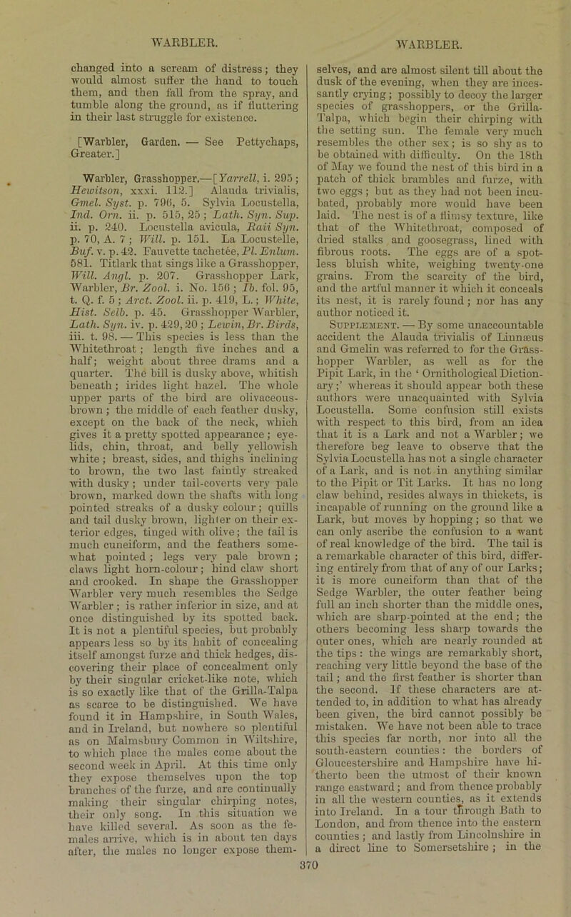 changed into a scream of distress; they would almost suffer the hand to touch them, and then faU from the spraj', and tumble along the ground, ns if fluttering in their last struggle for existence. [Warbler, Garden. — See Pettychaps, Greater.] Warbler, Grasshopper.—[Yarrell, i. 295; Heioitson, xxxi. 112.] Alauda trivialis, Gmel. Syst. p. 79G, 5. Sylvia Locustella, Ind. Orn. ii. p. 515, 25 ; Lath. Syn. Sup. ii. p. 240. Locustella avicula, Eaii Stjn. p. 70, A. 7 ; Will. p. 151. La Locustelle, Buf. V. p. 42. Fauvette tachetee, PL Enlum. 581. Titlark that sings like a Grasshopper, Will. Angl. j). 207. Grasshopper Lark, Warbler, Br. Zool. i. No. 150 ; Ih. fol. 95, t. Q. f. 5 ; Arct. Zool. ii. p. 419, L.; White, Hist. Selb. p. 45. Grasshopper Warbler, Lath. Syn. iv. p. 429,20 ; Lewin, Br. Birds, iii. t. 98. — This species is less than the Whitethroat; length five inches and a half; weight about three drams and a quarter. The bill is dusky above, whitish beneath; irides light hazel. The whole upper parts of the bird are olivaceous- brown ; the middle of each feather dusky, except on the back of the neck, which gives it a pretty spotted appearance ; eye- lids, chin, throat, and belly yellowish white; breast, sides, and thighs inclining to brown, the two last faintly streaked with dusky; under tail-coverts very pale brown, marked down the shafts with long pointed streaks of a dusky colour; quills and tail dusky brown, lighler on their ex- terior edges, tinged with olive; the tail is much cuneiform, and the feathers some- what pointed; legs very pale brown ; claws light horn-colour; hind claw short and crooked. In shape the Grasshopper Warbler vei’y much resembles the Sedge Warbler ; is rather inferior in size, and at once distinguished by its spotted back. It is not a plentiful species, but probably appears less so by its habit of concealing itself amongst furze and thick hedges, dis- covering their place of concealment only bj’ their singular cricket-like note, wliich is so exactly like that of the Grilla-Talpa as scarce to be distinguished. We have found it in Hampshire, in South Wales, and in Ireland, but nowhere so plentiful ns on Malmsbnry Common in Wiltshire, to which place llie males come about the second week in April. At this time only they expose themselves upon the top branches of the furze, and ai-e continually making their singular chirping notes, their only song. In this situation we have killed several. As soon ns the fe- males arrive, which is in about ten daj's after, the males no longer expose them- selves, and are almost silent till about the dusk of the evening, when they are inces- santly crying; possibly to decoy the larger species of grasshoppers, or the Grilla- Talpa, which begin their chirping with the setting sun. The female very much resembles the other sex; is so shy as to be obtained with difficulty. On the I8th of Slay we found the nest of tins bird in a patch of thick brambles and furze, with two eggs; but as they had not been incu- bated, probably more would have been laid. The nest is of a Himsy texture, like that of the 'Whitethroat, composed of dried stalks and goosegrass, lined with fibrous roots. The eggs are of a spot- less bluish white, weighing tweutj'-one grains. From the scarcity of the bird, and the aitiul manner it which it conceals its nest, it is rarely found; nor has any author noticed it. Soppi-EMENT. — By some unaccountable accident the Alauda trivialis of Liuna5us and Gmelin was referred to for the Grass- hopper Warbler, as well as for the Pipit Lark, in the ‘ Ornithological Diction- ary ;’ whereas it should appear both these authors were unacquainted with Sylvia Locustella. Some confusion still exists with respect to this bird, from an idea that it is a Lark and not a Warbler; we therefore beg leave to observe that the Sylvia Locustella has not a single character of a Lark, and is not in anything similar to the Pipit or Tit Larks. It has no long claw behind, resides always in thickets, is incapable of running on the ground like a Lark, but moves by hopping; so that we can only ascribe the confusion to a want of real knowledge of the bird. The tail is a remoi'kable character of this bird, differ- ing entirely from that of any of our Larks; it is more cuneiform than that of the Sedge Warbler, the outer feather being full an inch shorter than the middle ones, which are sharp-pointed at the end; the others becoming less sharp towards the outer ones, which are nearly rounded at the tips : the wings are remarkably short, reaching very little beyond the base of the tail; and the first feather is shorter than the second. If these characters are at- tended to, in addition to what has already been given, the bird cannot possibly bo mistaken. We have not been able to trace this species far north, nor into all the south-eastern counties: the borders of Gloucestershire and Hampshire have hi- therto been the utmost of their known nmge eastward; and from thence probably in all the western counties, as it extends into Ireland. In a tour tHrough Bath to London, and from thence into the eastern counties ; and lastly from Linoolnshii’e in a direct line to Somersetshire ; in the
