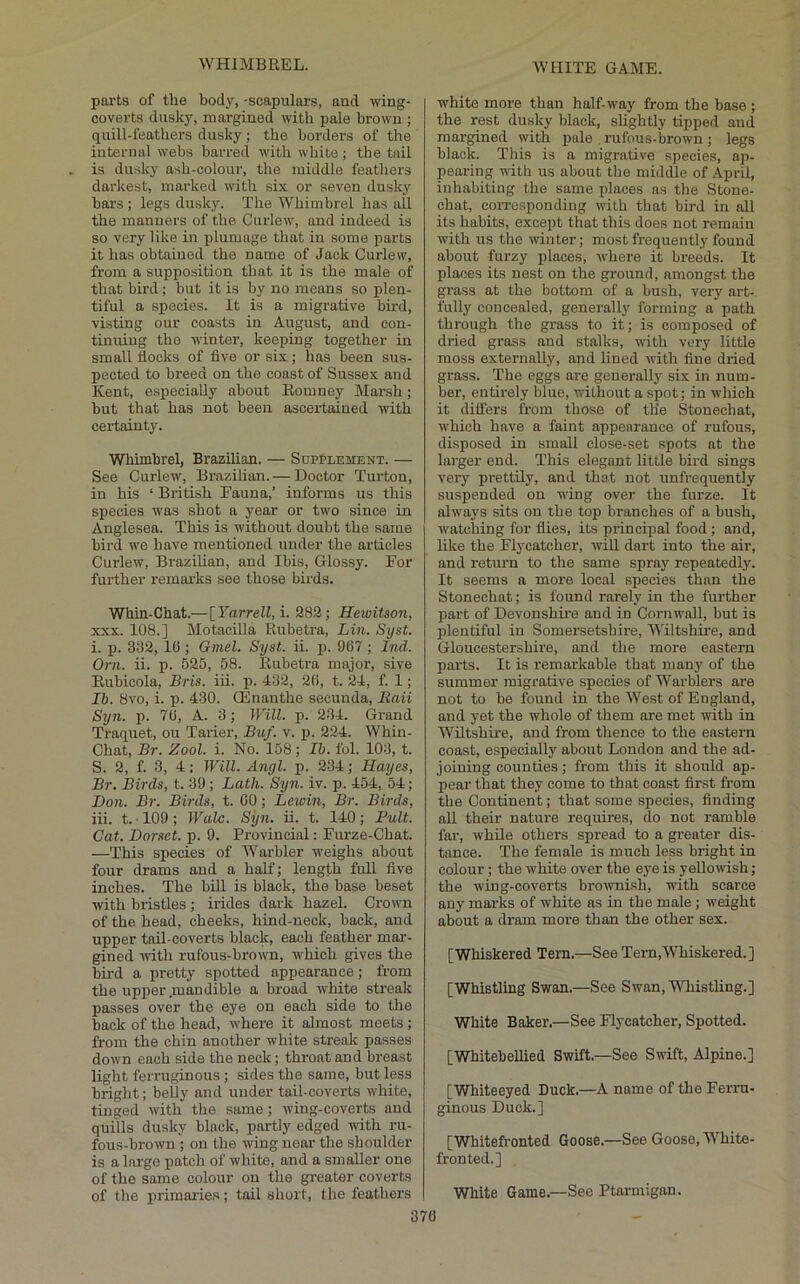 pai’ts of the body, -scapulars, and wing- coverts dusky, margined with pale brown ; quill-feathers dusky; the borders of the internal webs barred with white; the tail is dusky ash-colour, the middle feathers darkest, marked with six or seven dusky bars ; legs dusky. The Whimbrel has all the manners of the Curlew, and indeed is so very like in plumage that in some parts it has obtained the name of Jack Curlew, from a supposition that it is the male of that bird; but it is by no means so plen- tiful a species. It is a migrative bird, visting our coasts in August, and con- tinuing the winter, keeping together in small flocks of five or six; has been sus- pected to breed on the coast of Sussex and Kent, especially about Romney Marsh; but that has not been ascertained with certainty. Whimbrel, Brazilian. — Supplement. — See Curlew, Brazilian.— Doctor Turton, in his ‘ British Fauna,’ informs us this species was shot a year or two since in Anglesea. This is without doubt the same bird we have mentioned under the articles Curlew, Brazilian, and Ibis, Glossy. For further remarks see those birds. Whin-Chat.—\Yarrell,i. 282; Hewitson, xxx. 108.] Motacilla Rubetra, Lin. Syst. i. p. 332, It); Gmel. Syst. ii. i). 907 ; Ind. Orn. ii. p. 525, 58. Rubetra major, sive Eubicola, Bris. iii. p. 432, 20, t. 24, f. I; Ib. 8vo, i. p. 430. QSnanthe secunda, Eaii Syn. p. 70, A. 3; Will. p. 234. Grand Traquet, ou Tarier, Buf. v. p. 224. Whin- Chat, Br. Zool. i. No. 158 ; Ib. fol. 103, t. S. 2, f. 3, 4: Will. Angl. p. 234; Hayes, Br. Birds, t. 39 ; Lath. Syn. iv. p. 454, 54; Don. Br. Birds, t. 00; Lewin, Br. Birds, iii. t. • 109 ; Wale. Sijn. ii. t. 140; Bull. Cat. Dorset, p. 9. Provincial; Furze-Chat. —This species of Warbler weighs about four drams and a half; length full five inches. The biU is black, the base beset with bristles ; irides dark hazel. Crown of the head, cheeks, hind-neck, back, and upper taU-coverts black, each feather mar- gined with rufous-brown, which gives the hii'd a pretty spotted appearance; from the upper .mandible a broad white streak passes over the eye on each side to the back of the head, where it almost meets; from the chin another white streak passes down each side the neck; throat and breast light ferruginous; sides the same, but less bright; belly and under tail-coverts white, tinged with the same; wing-coverts and quills dusky black, partly edged with ru- fous-brown ; on the wing near the shoulder is a large patch of white, and a smaller one of the same colour on the greater coverts of the primarie.s; tail short, the feathers white more than half-way from the base ; the rest dusky black, slightly tipped and margined with pale . rufous-brown ; legs black. This is a migrative species, ap- pearing with us about the middle of April, inhabiting the same places as the Stone- chat, corresponding with that bird in all its habits, except that this does not remain with us the winter; most frequently found about furzy places, where it breeds. It places its nest on the ground, amongst the grass at the bottom of a bush, very art- fully concealed, generally forming a path through the gi-ass to it; is composed of dried grass and stalks, with very little moss externally, and lined with fine dried grass. The eggs are generally six in num- ber, entirely blue, without a spot; in which it differs from those of the Stonechat, w'hich have a faint appearance of rufous, disposed in small close-set spots at the larger end. This elegant little bird sings very prettily, and that not unfrequently suspended on wdng over the furze. It alwaj'S sits on the top branches of a bush, watching for flies, its principal food ; and, like the Flycatcher, wiO. dart into the air, and return to the same spray repeatedly. It seems a more local species than the Stonechat; is found rarely in the further part of Devonshire and in Cornwall, but is plentiful in Somersetshire, Wiltshire, and Gloucestershire, and the more eastern parts. It is remarkable that manj' of the summer migrative species of Warblers are not to he found in the West of England, and yet the whole of them are met ivith in Wfltshii'e, and from thence to the eastern coast, especially about Loudon and the ad- joining counties; from this it should ap- pear that they come to that coast first from the Continent; that some species, finding all their nature requires, do not ramble far, while others spread to a greater dis- tance. The female is much less bright in colour; the white over the eye is yellowish; the wing-coverts brownish, with scarce any marfe of white as in the male; weight about a dram more than the other sex. [Whiskered Tern.—See Tern,MTiiskered.] [Whistling Swan.—See Swan, 'V\'histling.] White Baker.—See Flycatcher, Spotted. [Whitehellied Swift.—See Swift, Alpine.] [Whiteeyed Duck.—A name of the Ferru- ginous Duck.] [Whitefronted Goose.—See Goose, White- fronted.] White Game.—Sec Ptarmigan.
