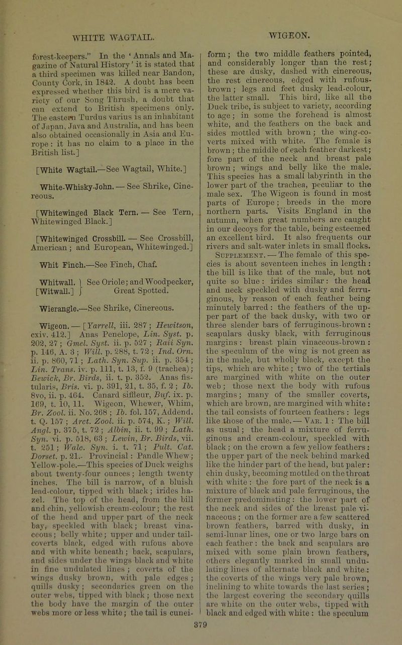 ■WHITE WAGTAIL. forest-keepers. In the ‘ Annals and Ma- gazine of Natural History ’ it is stated that a third specimen was killed near Bandon, County Cork, in 1843. A doubt has been expressed whether this bird is a mere va- riety of our Song Thrush, a doubt that can extend to British specimens onl3'. The easteini Turdus varius is an inhabitant of Japan, Java and Australia, and has been also obtained occa.sionally in Asia and Eu- rope : it has no claim to a jjlace in the British list.] [White Wagtail.—See Wagtail, White.] White-Whisky-John. — See Shrike, Cine- reous. [■Whitewinged Black Tern. — See Tern, White winged Black.] [Whitewinged Crossbill. — See Crossbill, American ; and European, Whitewinged.] ■Whit Finch.—See Finch, Chaf. Whitwall. 1 See Oriole; and Woodpecker, [Witwall.] I Great Spotted. Wierangle.—See Shrike, Cinereous. Wigeon. — [ Yarrell, iii. 287 ; Hewitson, cxiv. 412.] Anas Penelope, Lin. Syst. p. 202, 27 ; Gmel. Syst. ii. p. 527 ; Rail Syn. p. 146, A. 3 ; Will. p. 288, t. 72 ; Ind. Orn. ii. p. 800, 71; Lath. Syn. Suj}. ii. p. 354 ; Lin. Trails, iv. p. Ill, t. 13, f. 0 (trachea); Bewick, Br. Birds, ii. t. p. 352. Anas ils- tularis, Bris. vi. p. 391, 21, t. 35, f. 2 ; Ib. 8vo, ii. p. 404. Canard siflieur, Buf. ix. p. 109, t. 10, 11. Wigeon, Whewer, Whim, Br. Zool. ii. No. 208 ; lb. fol. 157, Addend, t. Q. 157 ; Arct. Zool. ii. p. 574, K.; Will. Angl. p. 375, t. 72 ; Albin, ii. t. 99 ; Lath. Syn. vi. p. 518, 03 ; Lewin, Br. Birds, vii. t. 251; Walo. Syn. i. t. 71; Pult. Cat. Dorset, p. 21.. Provincial: Pandle Whew; Yellow-pole.—This species of Duck weighs about twenty-four ounces; length twenty inches. The bill is narrow, of a bluish lead-colour, tipped with black; irides ha- zel. The top of the head, from the hill and chin, yellowish cream-colour; the rest of the head and upper part of the neck bay, speckled with black; breast vina- ceous; belly white; upper and under tail- coverts black, edged with rufous above and with white beneath; back, scapulars, and sides under the wings black and white in fine undulated lines ; coverts of the wings dusky brown, with pale edges; quills dusky; secondaries green on the outer webs, tipped with black ; those next the body have the margin of the outer webs more or less white; the tiul is cunei- form ; the two middle feathers pointed, and considerably longer than the rest; these are dusky, dashed with cinereous, the rest cinereous, edged with rufous- brown ; legs and feet dusky lead-colour, the latter small. This bird, like all the Duck tribe, is subject to variety, according to age; in some the forehead is almost white, and the feathers on the back and sides mottled with brown; the wing-co- verts mixed with white. The female is brown ; the middle of each feather darkest; fore part of the neck and breast pale brown; wings and belly like the male. This species has a small labyrinth in the lower part of the trachea, peculiar to the male sex. The Wigeon is found in most parts of Europe; breeds in the more northern parts. Visits England in the autumn, when great numbers are caught in our decoys for the table, being esteemed an excellent bird. It also frequents our rivers and salt-water inlets in small flocks. Supplement. — The female of this spe- cies is about seventeen inches in length : the bill is like that of the male, but not quite so blue : irides similar: the head and neck speckled with dusky and ferru- ginous, by reason of each feather being minutely barred: the feathers of the up- per part of the back dusky, with two or three slender bars of ferruginous-brown : scapulars dusky black, with ferruginous mai'gins : breast plain viuaceous-brown ; the speculum of the wing is not green as in the male, but wholly black, except the tips, which are white; two of the tertials are margined with white on the outer web; those next the body with rufous margins; many of the smaller coverts, which are brown, are margined wilh white: the tail consists of fourteen feathers : legs like those of the male.— Vae. 1: The bill as usual; the head a mixture of ferru- ginous and cream-colour, speckled with black; on the crown a I'ew' yellow feathers: the upper part of the neck behind marked like the hinder part of the head, but paler: chin dusky, becoming mottled on the throat with white : tlie fore part of the neck is a mixture of black and i)ale ferruginous, the former predominating: the lower part of the neck and sides of the breast pale vL naceous ; on the former are a few scattered brown leathers, barrc'd with duskj^ in semi-lunar lines, one or two large bars on each feather: the back and scaiuilars are mixed wilh some plain brown feathers, others elegantly marked in small undu- lating lines of alternate black and white: the coverts of the Avings very pole broAvn, inclining to Avhito towards the last series ; the largest covering the secondary quills are white on the outer Avebs, tipped Aviih black and edged Avith Avhite: the speculum
