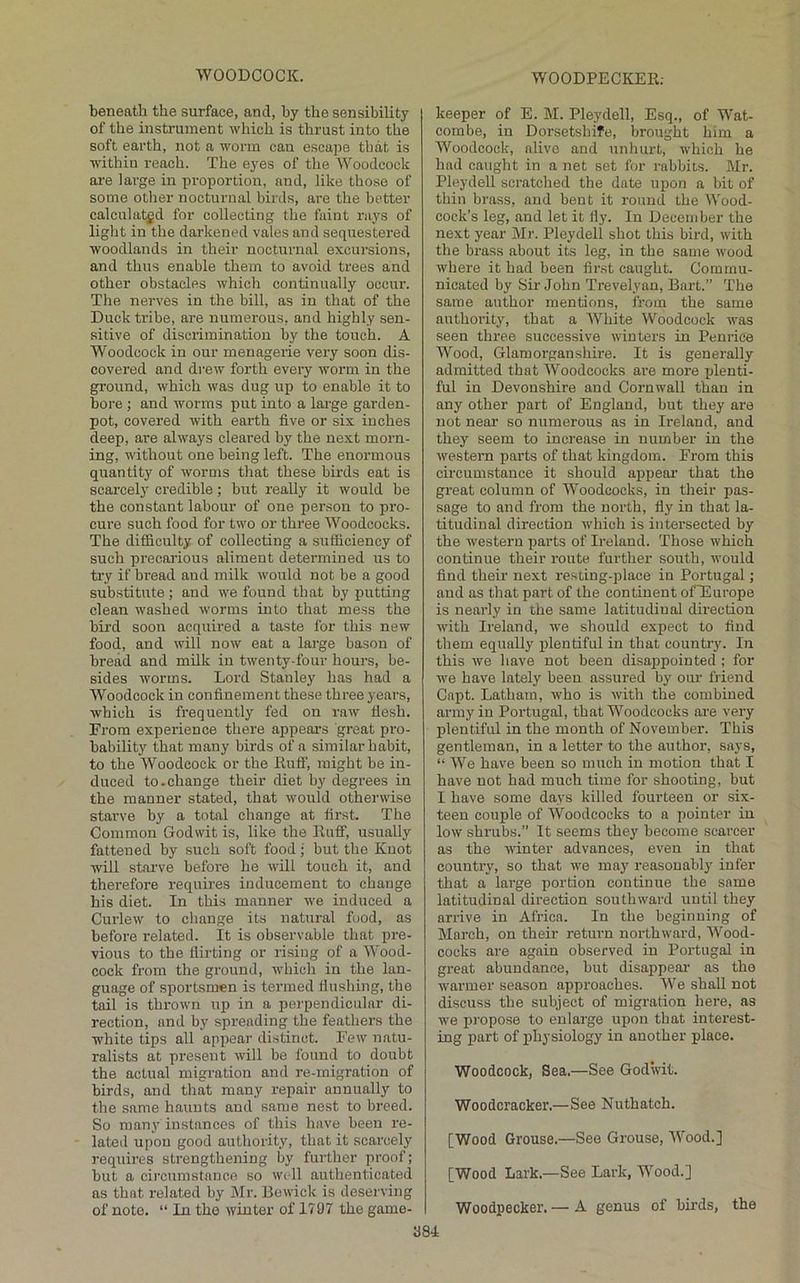 beneath the surface, and, by the sensibility of the instrument which is thrust into the soft earth, not a worm can escape that is within reach. The eyes of the Woodcock are large in proportion, and, like those of some other nocturnal birds, are the better calculated for collecting the faint rays of light in the darkened vales and sequestered woodlands in their noctunial excursions, and thus enable them to avoid trees and other obstacles which continually occur. The nerves in the bill, as in that of the Duck tribe, are numerous, and highly sen- sitive of discrimination by the touch. A Woodcock in our menagerie very soon dis- covered and drew forth every worm in the ground, which was dug up to enable it to bore ; and worms put into a large garden- pot, covered with earth five or six inches deep, are always cleared by the next morn- ing, without one being left. The enormous quantity of worms that these birds eat is scarcely credible; but really it would be the constant labour of one person to pro- cure such food for two or three Woodcocks. The difficulty of collecting a sufficiency of such precarious aliment determined us to try if bread and milk would not be a good substitute; and we found that by putting clean washed worms into that mess the bird soon acquired a taste for this new food, and will now eat a large bason of bread and mUk in twenty-four hours, be- sides worms. Lord Stanley has had a Woodcock in confinement these three years, which is frequently fed on raw flesh. Erora experience there appears great pro- bability that many birds of a similar habit, to the Woodcock or the liuff, might be in- duced to.change their diet by degrees in the manner stated, that would otherwise starve by a total change at first. The Common Godwit is, like the Huff, usually fattened by such soft food; but the Knot will starve before he will touch it, and therefore requires inducement to change his diet. In this manner we induced a Curlew to change its natural food, as before related. It is observable that pre- vious to the flirting or rising of a W'ood- cock from the ground, which in the lan- guage of sportsmen is termed flushing, the tail is thrown up in a perpendicular di- rection, and by spreading the feathers the white tips all appear distinct. Few natu- ralists at present will be found to doubt the actual migration and re-migration of birds, and that many repair annually to the same haunts and same nest to breed. So many instances of this have been re- lated upon good authority, that it scarcely requires strengthening by further proof; but a circumstance so well authenticated as that related by Mr. Bewick is deserving of note. “ In the winter of 1797 the game- keeper of E. M. Pleydell, Esq., of Wat- combe, in Dorsetsbife, brought him a Woodcock, alive and unhurt, which he had caught in a net set for rabbits. Mr. Pleydell scratched the date upon a bit of thin brass, and bent it round the Wood- cock’s leg, and let it fly. In December the next year Mr. Pleydell shot this bird, with the brass about its leg, in the same wood where it had been first caught. Commu- nicated by Sir John Trevelyan, Bart.” The same author mentions, from the same authority, that a AVhite Woodcock tvas seen three successive winters in Penrice Wood, Glamorganshire. It is generally admitted that Woodcocks are more plenti- ful in Devonshire and Cornwall than in any other part of England, but they are not near so numerous as in Ireland, and they seem to increase in number in the western parts of that kingdom. From this circumstance it should appear that the great column of Woodcocks, in their pas- sage to and from the norih, fly in that la- titudinal direction which is intersected by the western parts of Ireland. 'Those which continue their route further south, would find their next resting-place in Portugal; and as that part of the continent ofEurope is nearly in the same latitudinal direction with Ireland, we should expect to find them equally plentiful in that country. In this we have not been disappointed; for we have lately been assured by our friend Capt. Latham, who is with the combined army in Portugal, that Woodcocks are very plentiful in the month of November. This gentleman, in a letter to the author, says, “ We have been so much in motion that I have not had much time for shooting, but I have some days killed fourteen or six- teen couple of Woodcocks to a pointer in low shrubs.” It seems they become scarcer as the winter advances, even in that country, so that we may reasonably infer that a large portion continue the same latitudinal direction southward until they arrive in Africa. In the beginning of March, on their return northward, Wood- cocks are again observed in Portugal in great abundance, but disappear' as the warmer season approaches. We shall not discuss the subject of migration here, as we propose to enlarge upon that interest- ing part of physiology in another place. Woodcock, Sea.—See Godwit. Woodcracker.—See Nuthatch. [Wood Grouse.—See Grouse, Wood.] [Wood Lark.—See Lark, Wood.] Woodpecker. — A genus of birds, the