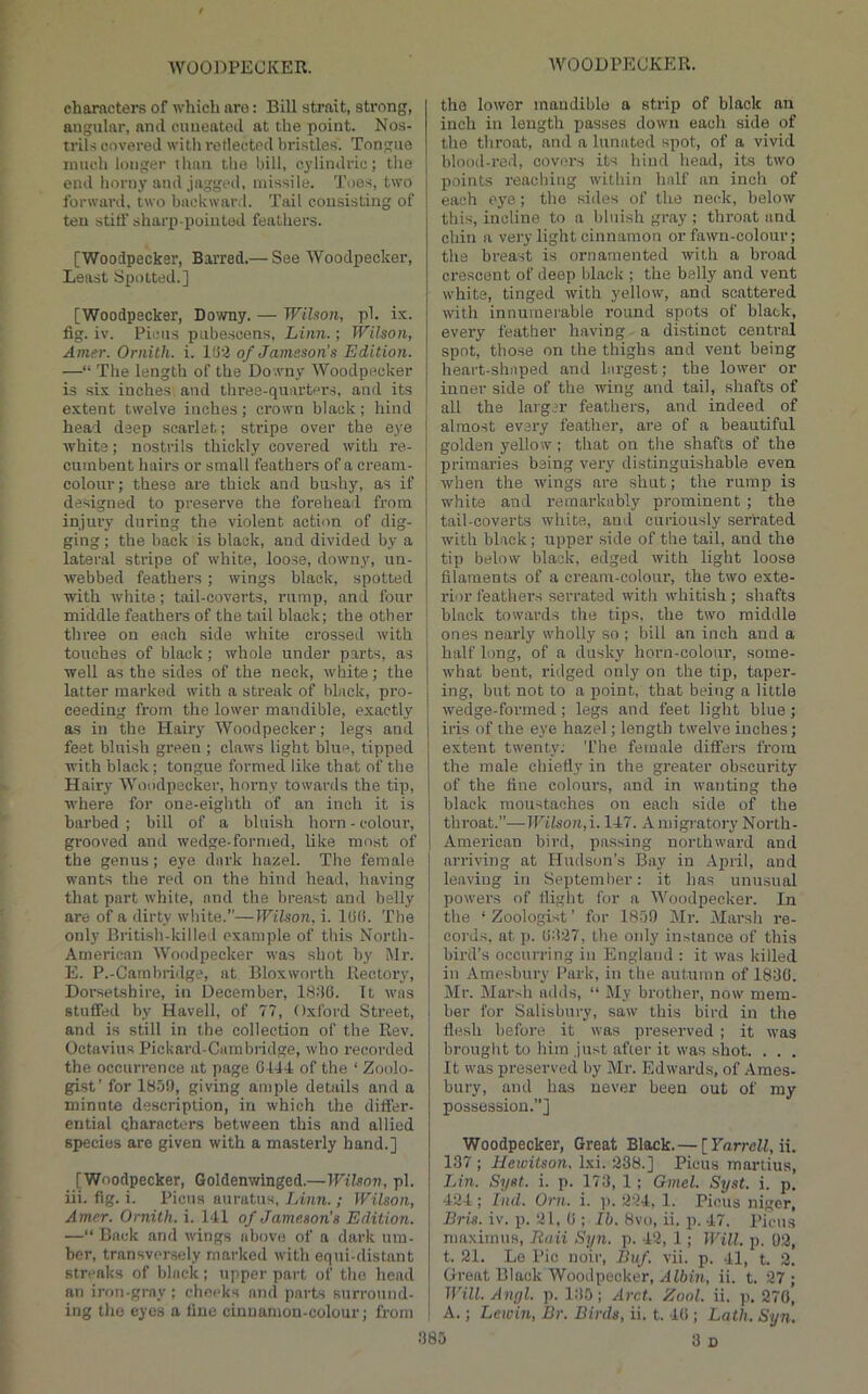 charficters of which are: Bill strait, strong, angular, and cuueated at the point. Nos- trils covered witli retleeted bristles. Tongue much longer than the bill, cylindrio; the end lioru)’and Jagged, missile. Toes, two forwanl, two backward. Tail consisting of ten stiff sharp pointed feathers. [Woodpecker, Barred.— See Woodpecker, Least Spotted.] [Woodpecker, Downy. — Wilson, pi. ix. fig. iv. Piciis piibescens, Linn.; Wilson, Amer. Ornith. i. 1(J'^ of Jameson’s Edition. —“ The length of the Downy Woodpecker is six inches', and three-quarters, and its extent twelve inches; crown black; hind heal deep scarlet; stripe over the eye white; nostrils thickly covered with re- cumbent hairs or small feathers of a creanr- colour; these are thick and bushy, as if designed to preserve the forehead from injury during the violent action of dig- ging ; the back is black, and divided by a lateral stripe of white, loose, downy, un- webbed feathers; wings black, spotted with white; tail-coverts, rump, and four middle feathers of the tail black; the other ! three on each .side white crossed with touches of black; whole under parts, as well as the sides of the neck, whits; the latter marked with a streak of black, pro- ceeding from the lower mandible, exactly as in the Hair}' Woodpecker; legs and feet bluish green ; claws light blue, tipped with black; tongue formed like that of the Hairy Woodpecker, horny towards the tip, where for one-eighth of an inch it is barbed ; bill of a bluish horn - colour, grooved and wedge-formed, like most of the genus; eye dark hazel. The female wants the red on the hind head, having that part white, and the breast and belly are of a dirty white.”—Wilson, i. lG(f. The only British-killeil example of this North- ' American Wof)dpecker was shot by Mr. E. P.-Cambi-idge, at Bloxworth Rectory, Dorsetshire, in December, 18.'(6. It was stuffed by Havell, of 77, Oxford Street, and is still in the collection of the Rev. Octavius Pickard-Cambridge, who recorded the occurrence at page 0444 of the ‘ Zoolo- gist’ for 1859, giving ample details and a minute description, in which the differ- ential characters between this and allied species are given with a masterly hand.] [Woodpecker, Goldenwinged.—Wilson, pi. iii. fig. i. Picus auratus, Linn.; Wilson, Amer. Ornith. i. 141 of Jameson's Edition. —“ Back and wings above of a dark um- ber, transversely marked with equi-distant streaks of black; upper part of the head an iron-gray; cheeks and parts surround- ing the eyes a line cinnamon-colour; from the lower mandible a strip of black an inch in length passes down each side of the throat, and a lunated spot, of a vivid bloo(l-red, covers its hind head, its two points reaching within half an inch of each eye; the sides of the neck, below this, incline to a bluish gray ; thi’oat and chin a vei'y light cinnamon or fawn-colour; the breast is ornamented with a broad crescent of deep black ; the belly and vent white, tinged with yellow, and scattered with innumeiable round spots of black, every feather having a distinct central spot, those on the thighs and vent being heart-shaped and largest; the lower or inner side of the wing and tail, shafts of all the larger feathers, and indeed of almost every feather, are of a beautiful golden yellow; that on the shafts of the primaries being very distinguishable even when the wings are shut; the rump is white and remai’kably prominent ; the tail-coverts white, and curiously serrated with black; upper side of the tail, and the tip below black, edged with light loose filaments of a cream-colour, the two exte- rior feathers serrated with whitish ; shafts black towards the tips, the two middle ones nearly wholly so ; bill an inch and a half long, of a dusky horn-colour, some- what bent, ridged only on the tip, taper- ing, but not to a point, that being a little wedge-foi’rned; legs and feet light blue; iris of the eye hazel; length twelve inches; extent twenty; The female differs from the male chiefly in the greater obscurity of the fine colours, and in wanting the black moustaches on each side of the throat.”—Wilson, i. 147. A migratory North- American bird, passing northward and arriving at Hudson’s Bay in April, and leaving in September: it has unusual powers of flight for a Woodpecker. In the ‘Zoologist’ for 1859 Mr. Marsh re- cords, at p. 09:17, the oidy instance of this bird’s occurring in England : it was killed in Amesbury Park, in the autumn of 183(1. Mr. Mar.-,h adds, “ My brother, now mem- ber for Salisbury, saw this bird in the flesh before it was preserved ; it was brought to him Just after it was shot. . . . It was preserved by Mr. Edwards, of Ames- bury, and has never been out of my possession.”] Woodpecker, Great Black. — [Varrell,ii. 137 ; Uewitson. Ixi. 238.] Pious marlius, Lin. Syst. i. p. 173, 1; Gmel. Syst. i. p. 424; hid. Oni. i. ]). 224, 1. Picus niger, Bris. iv. p. 21, 0 ; Ib. 8vo, ii. p. 47. Picus rnaximus, Raii Syn. p. 42, 1; Will. p. 02, t. 21. Le Pic noir, Buf. vii. p. 41, t. 2. Great Black AVoodpecker, Aiftia, ii. t. 27; Will. Angl. p. 1:15; Arct. Zool. ii. p. 270, A.; Lewin, Br. Birds, ii. t. 4(1; Lath. Syn,