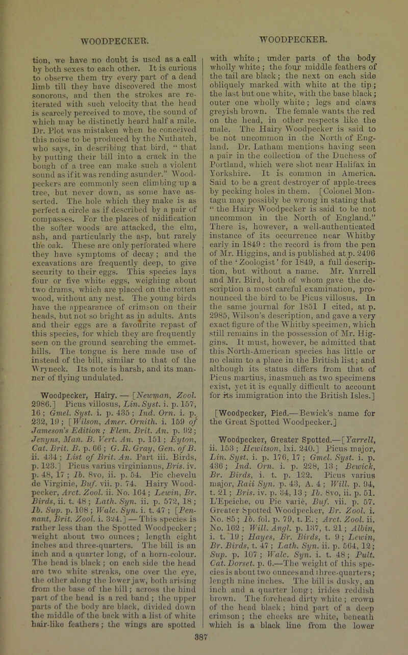 tion, -we have no doubt is used as a call by both sexes to each other. It is curious to observe them try every part of a dead limb till they have discovered the most sonorous, and then the strokes are re- iterated with such velocit3’ that the liend is scarcely perceived to move, the sound of whicdi may be distinctly heard half a mile. Dr. Plot was mistaken when he conceived this noise to be produced by the Nuthatch, who says, in describiii that bird, “ that by putting their bill into a crack in the bough of a tree can make such a violent sound as if it was rending asundei'.” Wood- peckers are commonly seen climbing up a tree, but never down, as some have as- serted. The hole which they make is as perfect a circle as if described by a pair of compasses. For the places of nidification the softer woods are attacked, the elm, ash, and particularly the asp, but rarely the oak. These are only perforated where they have symptoms of decay; and the excavations are frequently deep, to give security to their eggs. This species lays four or five white eggs, weighing about two drams, which are placed on the rotten wood, without any nest. The young birds have the aiipearance of crimson on their beads, but not so bright as in adults. Ants and their eggs are a favourite repast of this species, for which they are frequently seen on the ground searching the emmet- hills. The tongue is here made use of instead of the bill, similar to that of the Wryneck. Its note is harsh, and its man- ner of tiying undulated. Woodpecker, Hairy. — [Newman, Zool. 2980.] Picus villosus, Lin. Syst. i. p. 157, 16 ; Gmel. Syst. i. p. 435; Ind. Orn. i. p.^ 232, 19; [Wilson, Amer. Ornith. i. 159 of Jameson’s Edition ; Flem. Brit. An. p. 92; Jenyns, Man. B. Vert. An. p. 151; Eyton, Cat. Brit. B. p. 00 ; G. B. Gray, Gen. of B. ii. 434 ; lAst of Brit. An. Part iii. Birds, p. 123.] Picus varius virginianus, Bris. iv. p. 48, 17 ; lb. 8vo, ii. p. 54. Pic chevelu de Virginie, Bw/. vii. p. 74. Hairy Wood- pecker, Arct. Zool. ii. No. 104; Lewin, Br. Birds, ii. t. 48 ; Lath. Syn. ii. p. 572, 18 ; lb. Svp. p. 108 ; Wale. Syn. i. t. 47 ; [Pen- nant, Brit. Zool. i. 3ii4.] — This species is rather less than the Spotted Woodpecker ; weight about two ounces; length eight inches and three-quarters. The bill is an inch and a quarter long, of a horn-colour. The head is black ; on each side the head are two white streaks, one over the eye, the other along the lower jaw, both arising from the base of the bill; across the hind part of the head is a red band ; the upper parts of the body are black, divided down the middle of the back with a list of white hair-like featliers; the wings are spotted 38 with white; under parts of the body wholly white; the foiir middle feathers of the tail are black; the next on each side obliquely marked with white at the tip; the last but one white, with the base black; outer one wholly white; legs and claws greyish brown. The female wants the red on the head, in other respects like the male. The Hairy Woodpecker is said to be not uncommon in the North of Eng- land. Dr. Latham mentions having seen a i^air in the collection of the Duchess of Portland, which were shot near Halifax in Yorkshire. It is common in America. Said to be a great destroyer of apple-trees by pecking holes in them. [Colonel Mon- tagu maj' possibly be wrong in stating that “ the Hairy Woodpecker is said to be not uncommon in the North of England.” There is, however, a well-authenticated instance of its occurrence near Whitby early in 1849 : the record is from the pen of Mr. Higgins, and is published at p. 2490 of the ‘ Zoologist’ for 1849, a full descrip- tion, but without a name. Mr. Yarrell and Mr. Bird, both of whom gave the de- scription a most careful examination, pro- nounced the bird to be Picus villosus. In the same journal for 1851 1 cited, at p. 2985, Wilson’s description, and gave a very exact figure of the Whitby specimen, which still remains in the possession of Mr. Hig- gins. It must, however, be admitted that this North-American species has little or no claim to a place in the British list; and although its status differs from that of Picus martius, inasmuch as two specimens exist, yet it is equally difficult to account for ks immigration into the British Isles.] [Woodpecker, Pied.—Bewick’s name for the Great Spotted Woodpecker.] Woodpecker, Greater Spotted.—[Yairell, ii. 153 ; Hewitson, Ixi. 240.] Picus major, Lin. Syst. i. p. 170, 17; Gmel. Syst. i. p. 430; hid. Orn. i. p. 228, 13; Bewick, Br. Birds, i. t. p. 122. Picus varius major, Baii Syn. p. 43, A. 4 ; Will. p. 94, t. 21; Bris. iv. p. 34,13 ; lb. 8vo, ii. j). 51. L’Epeiche, ou Pic varie, Buf. vii. p. 57. Greater Spotted Woodpecker, Br. Zool. i. No. 85; lb. fol. p. 79, t. E.; Arct. Zool. ii. No. 102 ; Will. Anyl. p. 137, t. 21; Albin, i. t. 19; Hayes, Br. Birds, t. 9; Lewin, Br. Birds, t. 47 ; Lath. Syn. ii. p. 504, 12; Svp. p. 107 ; li'alc. Syn. i. t. 48; Pult. Cat. Dorset, p. 0.—The weight of this spe- cies is about two ounces and three-quarters; length nine inches. The bill is dusky, an inch and a quarter long; irides reddish brown. The forehead dirty while ; crowu of the head black ; hind ])art of a deep crimson ; the cheeks are white, beneath which is a black line from the lower