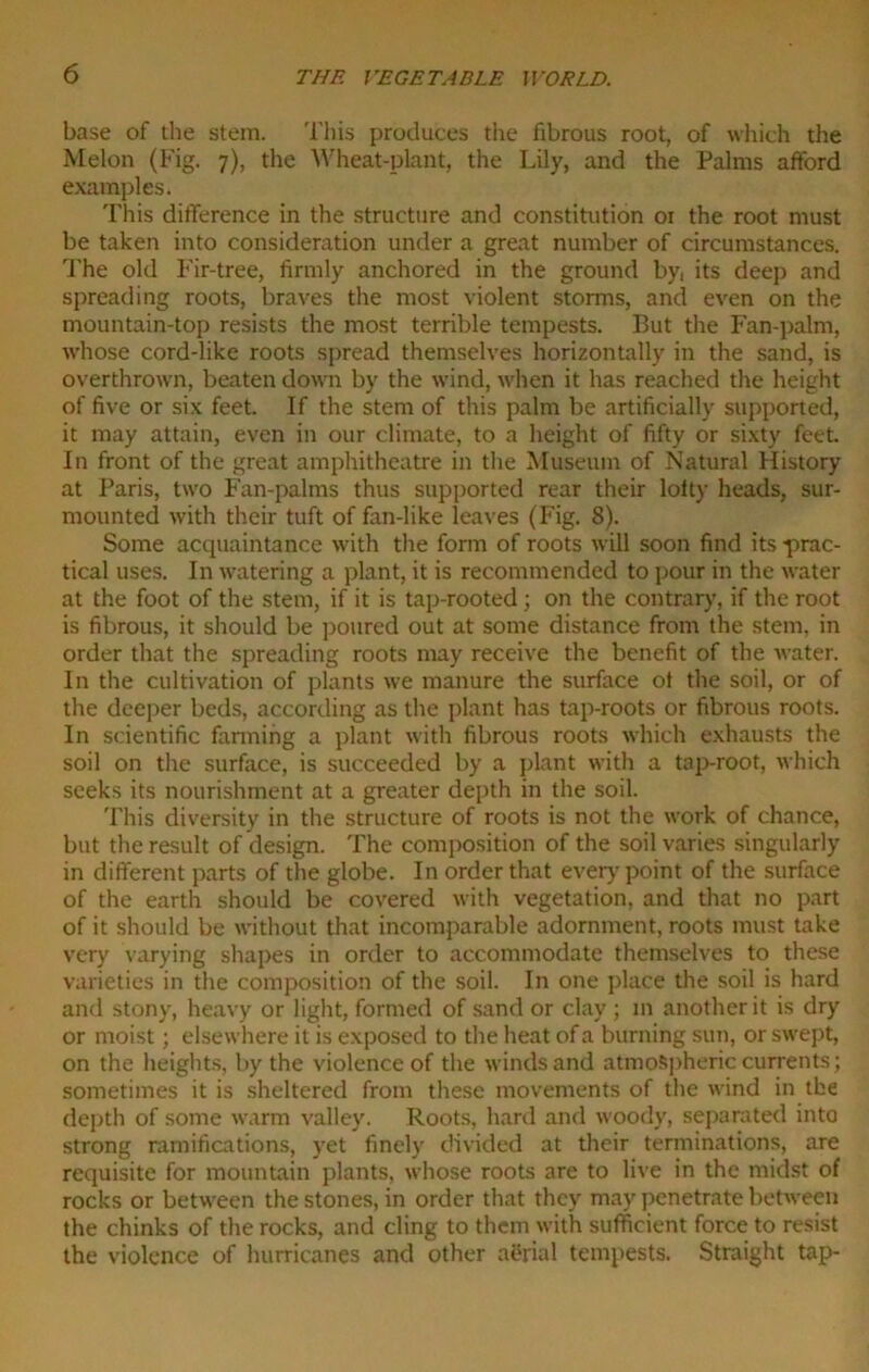 base of the stem. This produces the fibrous root, of which the Melon (Fig. 7), the Wheat-plant, the Lily, and the Palms afford examples. This difference in the structure and constitution 01 the root must be taken into consideration under a great number of circumstances. The old Fir-tree, firmly anchored in the ground by, its deep and spreading roots, braves the most violent storms, and even on the mountain-top resists the most terrible tempests. But the Fan-palm, whose cord-like roots spread themselves horizontally in the sand, is overthrown, beaten down by the wind, when it has reached the height of five or six feet. If the stem of this palm be artificially supported, it may attain, even in our climate, to a height of fifty or sixty feet. In front of the great amphitheatre in the Museum of Natural History at Paris, two Fan-palms thus supported rear their loity heads, sur- mounted with their tuft of fan-like leaves (Fig. 8). Some acquaintance with the form of roots will soon find its prac- tical uses. In watering a plant, it is recommended to pour in the water at the foot of the stem, if it is tap-rooted; on the contrary, if the root is fibrous, it should be poured out at some distance from the stem, in order that the spreading roots may receive the benefit of the water. In the cultivation of plants we manure the surface ot the soil, or of the deeper beds, according as the plant has tap-roots or fibrous roots. In scientific farming a plant with fibrous roots which exhausts the soil on the surface, is succeeded by a plant with a tap-root, which seeks its nourishment at a greater depth in the soil. This diversity in the structure of roots is not the work of chance, but the result of design. The composition of the soil varies singularly in different parts of the globe. In order that ever)'point of the surface of the earth should be covered with vegetation, and that no part of it should be without that incomparable adornment, roots must take very varying shapes in order to accommodate themselves to these varieties in the composition of the soil. In one place the soil is hard and stony, heavy or light, formed of sand or clay ; in another it is dry or moist; elsewhere it is exposed to the heat of a burning sun, or swept, on the heights, by the violence of the winds and atmospheric currents; sometimes it is sheltered from these movements of the wind in the depth of some warm valley. Roots, hard and woody, separated into strong ramifications, yet finely divided at their terminations, are requisite for mountain plants, whose roots are to live in the midst of rocks or between the stones, in order that they may penetrate between the chinks of the rocks, and cling to them with sufficient force to resist the violence of hurricanes and other aerial tempests. Straight tap-