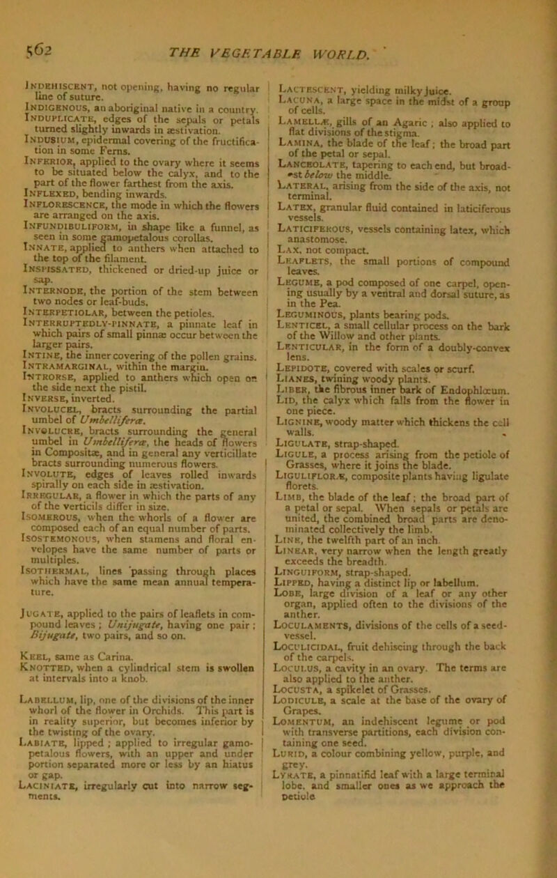 Indehiscent, not opening, having no regular line of suture. Indigenous, an aboriginal native in a country. Induplicate, edges of the sepals or petals turned slightly inwards in aestivation. Indusium, epidermal covering of the fructifica- tion in some Ferns. Inferior, applied to the ovary where it seems to be situated below the calyx, and to the part of the flower farthest from the axis. Inflexed, bending inwards. Inflorescence, the mode in which the flowers are arranged on the axis. INFUNDIBULIFORM, in shape like a funnel, as seen in some gamopetalous corollas. Innate, applied to anthers when attached to the top of the filament. Inspissated, thickened or dried-up juice or sap. Internode, the portion of the stem between two nodes or leaf-buds. Interpetiolar, between the petioles. iNTERRUPTEDLY-riNNATE, a pinnate leaf in which pairs of small pinna: occur between the larger pairs. Intine, the inner covering of the pollen grains. Intkamarginal, within the margiu. IttTRORSE, applied to anthers which open or. the side next the pistil. Inverse, inverted. Involucel, bracts surrounding the partial umbel of Umbtllifera. Involucre, bracts surrounding the general umbel in Umbellifera, the heads of flowers in Composite, and in general any vcrticillate bracts surrounding numerous flowers. Involute, edges of leaves rolled inwards spirally on each side in aestivation. Irregular, a flower in which the parts of any of the verticils differ in size. Isomerous, when the whorls of a flower are composed each of an equal number of parts. Isosthmonous, when stamens and floral en- velopes have the same number of parts or multiples. Isothermal, lines 'passing through places which have the same mean annum tempera- ture. Jugate, applied to the pairs of leaflets in com- pound leaves ; Unijugate, having one pair ; Bijugate, two pairs, and so on. Keel, same as Carina. Knotted, when a cylindrical stem is swollen at intervals into a knob. Labellum, lip, one of the divisions of the inner whorl of the flower in Orchids. This part is in reality superior, but becomes inferior by the twisting of the ovary. I.abiate, lipped ; applied to irregular gamo- petalous flowers, with an upper and under portion separated more or less by an hiatus or gap. Laciniate, irregularly cut into narrow seg- ments. Lactescent, yielding milky juice. Lacuna, a large space in the midst of a group of cells. Lamella?, gills of an Agaric ; also applied to I flat divisions of the stigma. Lamina, the blade of the leaf; the broad part of the petal or sepal. , Lanceolate, tapering to each end, but broad- est below the middle. Lateral, arising from the side of the axis, not terminal. ! Latex, granular fluid contained in laticiferous vessels. Laticiferous, vessels containing latex, which j anastomose. | Lax, not compact. Leaflets, the small portions of compound leaves. Legume, a pod composed of one carpel, open- ing usually by a ventral and dorsal suture, as in the Pea. Leguminous, plants bearing pods. Lenticel, a small cellular process on the bark of the Willow and other plants. Lenticular, in the form of a doubly-convex lens. Lepidote, covered with scales or scurf. 1 Lianes, twining woody plants. Liber, the fibrous inner bark of Endophlocum. Lid, the calyx which falls from the flower in one piece. Lignine, woody matter which thickens the cell walls. Ligulate, strap-shaped. Ligule, a ptocess arising from the petiole of 1 Grasses, where it joins the blade. Liguliflor.k, composite plants having ligulate florets. Limb, the blade of the leaf; the broad part of a petal or sepal. When sepals or petals arc united, the combined broad parts are deno- minated collectively the limb. Line, the twelfth part of an inch Linear, very narrow when the length greatly exceeds the breadth. Linguiform, strap-shaped. Lipped, having a distinct lip or labellum. Lobe, large division of a leaf or any other organ, applied often to the divisions of the anther. Loculaments, divisions of the cells of a seed- vessel. Loculicidal, fruit dehiscing through the back of the carpels. Loculus, a cavity in an ovary. The terms are also applied to the anther. Locust a, a spikelet of Grasses. Lodicule, a scale at the base of the ovary of Grapes. Lomentum, an indehisccnt legume or pod with transverse partitions, each division con- taining one seed. Lurid, a colour combining yellow, purple, and grey. Lyrate, a pinnatifid leaf with a large terminal lobe, and smaller ones as we approach the petiole