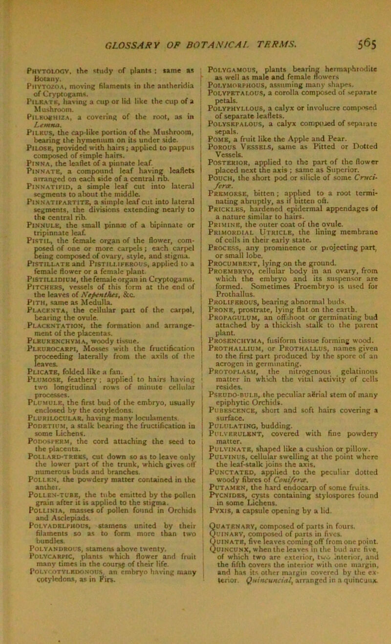 Phytologv, the study of plants ; same as botany. Piiytozoa, moving filaments in the antheridia of Cryptogams. Pileatb, having a cup or lid like the cup of a Mushroom. Pilkoshiza, a covering of the root, as in Lemna. Pilkl'S, the cap-like portion of the Mushroom, bearing the hymemum on its under side. Pilose, provided with hairs; applied to pappus composed of simple hairs. Pinna, the leaflet of a pinnate leaf. Pinnate, a compound leaf having leaflets arranged on each side of a central rib. Pinnatifid, a simple leaf cut into lateral segments to about the middle. Pinnatipartite, a simple leaf cut into lateral segments, the divisions extending nearly to the central rib. Pinnule, the small pinna: of a bipinnate or tripinnate leaf. Pistil, the female organ of the flower, com- posed of one or more carpels; each carpel being composed of ovary, style, and stigma. Pistillate and Pistilliferous, applied to a female flower or a female plant. Pistillidium, the female organ in Cryptogams. Pitchers, vessels of this form at the end of the leaves of Nepenthes, &c. Pith, same as Medulla. Placenta, the cellular part of the carpol, bearing the ovule. Placentation, the formation and arrange- ment of the placentas. Pleurenchyma, woody tissue. Plkurocarpi, Mosses with the fructification proceeding laterally from the axils of the leaves. Plicate, folded like a fan. Plumose, feathery; applied to hairs having two longitudinal rows of minute cellular processes. Plumule, the first bud of the embryo, usually enclosed by the cotyledons. Plurilocular. having many loculamcnts. Podetium, a stalk bearing the fructification in some Lichens. Podosi’Erm, the cord attaching the seed to the placenta. Pollard-trees, cut down so as to leave only the lower part of the trunk, which gives otf numerous buds and branches. Pollen, the powdery matter contained in the anthet. Pollen-tube, the tube emitted by the pollen grain after it is applied to the stigma. Pollinia, masses of pollen found in Orchids and Asclepiads. Polyadelphous, stamens united by their filaments so as to form more than two bundles. Polyandrous, stamens above twenty. Polycarpic, plants which flower and fruit many times in the course of their life. Polvcotyledonous an embryo having many cotyledons, as in Pirs. Polygamous, plants bearing hermaphrodite as well as male and female flowers Polymorphous, assuming many shapes. Polypetalous, a corolla composed of separate petals. Polyphyllous, a calyx or involucre composed of separate leaflets. Polyskpai.ous, a calyx composed of separate sepals. Pome, a fruit like the Apple and Pear. Porous Vessels, same as Pitted or Dotted Vessels. Posterior, applied to the part of the flower placed next the axis ; same as Superior. Pouch, the short pod or silicic of some Cruci- fer<r. Premorse, bitten ; applied to a root termi- nating abruptly, as if bitten oft. Prickles, hardened epidermal appendages of a nature similar to hairs. Priminr, the outer coat of the ovule. Primordial Utricle, the lining membrane of cells in their early state. Process, any prominence or projecting part, or small lobe. Procumbent, lying on the ground. Proembryo, cellular body in an ovary, from which the embryo and its suspensor are formed. Sometimes Proembryo is used for Prothallus. Proliferous, bearing abnormal buds. Prone, prostrate, lying flat on the earth. Propagulum, an oIT,hoot or germinating bud attached by a thickish stalk to the parent plant. Prosenchyma, fusiform tissue forming wood. Prothallium, or Prothallus, names given to the first part produced by the spore of an acrogen in germinating. Protoplasm, the nitrogenous gelatinous matter in which the vital activity of cells resides. j Pseudo-bulb, the peculiar aerial stem of many epiphytic Orchids. Pubescence, short and soft hairs covering a surface. I Pululating, budding. I Pulverulent, covered with fine powdery I matter. | Pulvinate, shaped like a cushion or pillow. i Pulvinus, cellular swelling at the point where the leaf-sulk joins the axis. Punctated, applied to the peculiar dotted woody fibres of Conifera. Putamen, the hard endocarp of some fruits. Pycnxdes, cysts containing stylosporcs found in some Lichens. Pvxis, a capsule opening by a lid. 8Uatenarv, composed of parts in fours. _ uin arv, composed of parts in fives. Quinatb, five leaves coming off from one point. Quincunx, when the leaves in the bud are five, of which two arc exterior, two interior, and the fifth covers the interior with one margin, J and has its other margin covered by the ex- terior. Quincuncial, arranged in a quincunx.