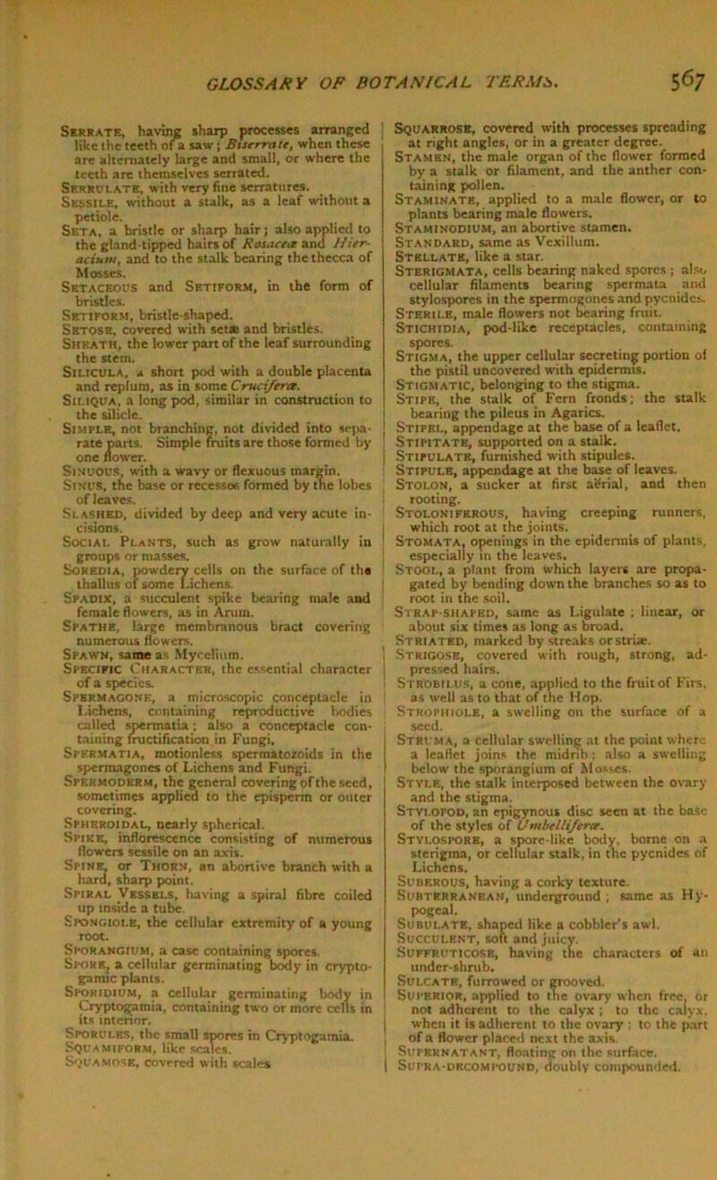 Serrate, having sharp processes arranged like the teeth of a sasv ; Biscrratt, when these arc alternately large and small, or where the teeth are themselves serrated. Serrulate, with very fine serratures. Sessile, without a stalk, as a leaf without a petiole. Seta, a bristle or sharp hair; also applied to the gland tipped hairs of Rosace* and J/ier- acinm, and to the stalk bearing thethecca of Mosses. Setaceous and Setiform, in the form of bristles. Setiform, bristle-shaped. Setose, covered with set® and bristles. Sheath, the lower part of the leaf surrounding the stem. Silicula, a short pod with a double placenta and replum, as in some Crucifera. Siliqua, a long pod, similar in construction to the silicic. Simple, not branching, not divided into sepa- rate parts. Simple fruits are those formed by one flower. Sinuous, with a wavy or flexuous margin. Sinus, the base or recessos formed by the lobes of leaves. Slashed, divided by deep and very acute in- cisions. Social Plants, such as grow naturally in groups or masses. Soredia, powdery cells on the surface of the thallus of some Lichens. Spadix, a succulent spike bearing male and female flowers, as in Arum. Spathe, large membranous bract covering numerous flowers. Spawn, same as Mycelium. Specific Character, the essential character j of a species. Spermagone, a microscopic conceptacle in Lichens, containing reproductive bodies called spermatia; also a conceptacle con- taining fructification in Fungi. Spermatia, motionless spermatozoids in the spcrmagones of Lichens and Fungi. Spermodkrm, the general covering of the seed, sometimes applied to the episperm or outer covering. Spheroidal, nearly spherical. Spike, inflorescence consisting of numerous flowers sessile on an axis. Spinel or Thorn, an abortive branch with a hard, sharp point. Spiral Vessels, having a spiral fibre coiled up inside a tube Spongiole, the cellular extremity of a young root. Sporangium, a case containing spores. Spoke, a cellular germinating body in crypto- gamic plants. Sporidium, a cellular germinating body in Cryptogamia, containing two or more cells in its interior. Sporui.es, the small spores in Cryptogamia. Squamiform, like scales. Squa.niose, covered with scales Squarrose, covered with processes spreading at right angles, or in a greater degree. Stamen, the male organ of the flower formed by a stalk or filament, and the anther con- taining pollen. Staminate, applied to a male flower, or to plants bearing male flowers. Staminodium, an abortive stamen. Standard, same as Vexillum. Stellate, like a star. Sterigmata, cells bearing naked spores ; also cellular filaments bearing spermata and stylospores in the spermogones and pycnidcs. Sterile, male flowers not bearing fruit. Stichidia, pod-like receptacles, containing spores. Stigma, the upper cellular secreting portion of the pistil uncovered with epidermis. Stigmatic, belonging to the stigma. Stipe, the stalk of Fern fronds; the stalk bearing the pilcus in Agarics. Stipkl, appendage at the base of a leaflet. ! Stipitate, supported on a stalk, j Stipulate, furnished with stipules. Stipule, appendage at the base of leaves. Stolon, a sucker at first aerial, and then rooting. Stolonifkrous, having creeping runners, which root at the joints. Stomata, openings in the epidermis of plants, especially in the leaves. Stool, a plant from which layers are propa- gated by bending down the branches so as to root in the soil. Strap-shaped, same as Ligulate ; linear, or about six times as long as broad. Striated, marked by streaks or stria:. Strigose, covered w ith rough, strong, ad- pressed hairs. Strobilus, a cone, applied to the fruit of Firs, as well as to that of the Hop. Strophiole, a swelling on the surface of a seed. Struma, a cellular swelling at the point where a leaflet joins the midrib; also a swelling below the sporangium of Mosses. Style, the stalk interposed between the ovary and the stigma. Styi.opod, an epigynous disc seen at the base of the styles of Unibelli/erce. Styi.ospore, a spore-like body, borne on a sterigma, or cellular stalk, in the pycnides of Lichens. Suberous, having a corky texture. Subterranean, underground ; same as Hy- pogcal. Subulate, shaped like a cobbler’s awl. Succulent, soft and juicy. Suffruticose, having the characters of an under-shrub. Sulcatk, furrowed or grooved. Superior, applied to the ovary when free, or not adherent to the calyx ; to the calyx, when it is adherent to the ovary : to the part of a flower placed next the axis. Supernatant, floating on the surface. | Sutra-decompound, doubly compounded.