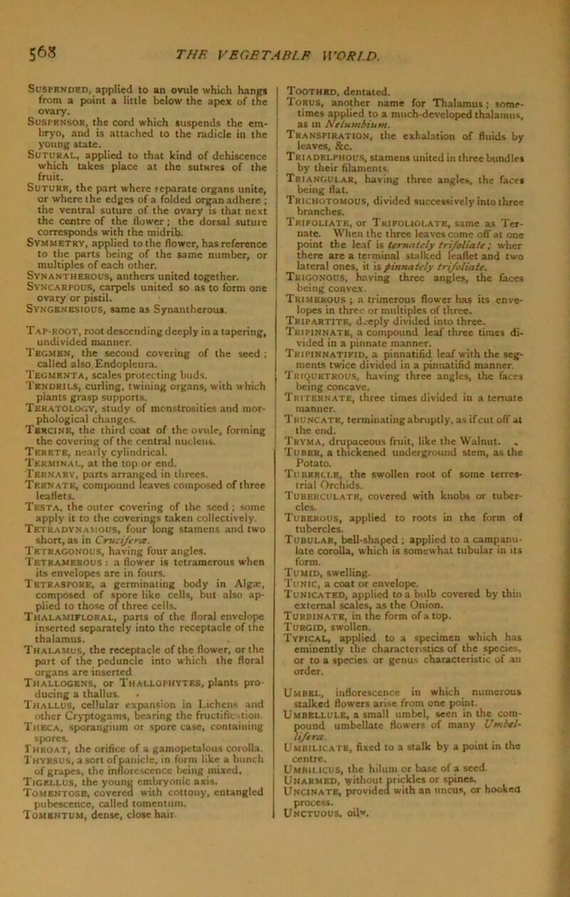Suspended, applied to an ovule which Hanes from a point a little below the apex of the ovary. SusrENSOR, the cord which suspends the em- bryo, and is attached to the radicle in the young state. Sutural, applied to that kind of dehiscence which takes place at the sutures of the fruit. Suture, the part where separate organs unite, or where the edges of a folded organ adhere ; the ventral suture of the ovary is that next the centre of the flower; the dorsal suture corresponds with the midrib. Symmetry, applied to the flower, has reference to the parts being of the same number, or multiples of each other. Synantherous, anthers united together. Syncarpous, carpels united so as to form one ovary or pistil. Syngenesious, same as Synantherous. Tap-root, root descending deeply in a tapering, undivided manner. Tegmen, the second covering of the seed ; called also Endopleura. Tegmenta, scales protecting buds. Tendrils, curling, twining organs, with which plants grasp supports. Teratology, study of monstrosities and mor- phological changes. Tbrcine, the third coat of the ovule, forming the covering of the central nucleus. Terete, nearly cylindrical. Terminal, at the top or end. Ternary, parts arranged in threes. Tern ate, compound leaves composed of three leaflets. Testa, the outer covering of the seed; some apply it to the coverings taken collectively. Tetkadynamous, four long stamens and two short, as in Crucifera. Tetragonous, having four angles. Tetramerous: a flower is tetramerous when its envelopes arc in fours. Tetraspore, a germinating body in Algse, composed of spore like cells, but also ap- plied to those of three cells. Thalamifloral, parts of the floral envelope inserted separately into the receptacle of the thalamus. Thalamus, the receptacle of the flower, or the part of the peduncle into which the floral organs are inserted Thallockns, or Thallophytes, plants pro- ducing a thallus. Thallus, cellular expansion in Lichens and other Cryptogams, bearing the fructification. Theca, sporangium or spore case, containing spores. 1'hroat, the orifice of a gamopetalous corolla. Thyrsus, a sort of panicle, in form like a bunch of grapes, the inflorescence being mixed. Tigellus, the young embryonic axis. Tomentosb, covered with cottony, entangled pubescence, called tomentum. Tombntum, dense, close hair. Toothed, dentated. Torus, another name for Thalamus; some- times applied to a much-developed thalamus, as in Nelutnbium. Transpiration, the exhalation of fluids by leaves. &c. Tri adelphous, stamens united in three bundles by their filaments. Triangular, having three angles, the faces being flat. Trichotomous, divided successively into three branches. Trifoliate, or Trifolioi.atb, same as Tcr- nate. When the three leaves come off at one point the leaf is ternatcly trifoliate; wher there are a terminal stalked leaflet and two lateral ones, it is pinnately trifoliate. Trigonous, having three angles, the faces being convex. Trimerous ; a trimerous flower has its enve- lopes in three or multiples of three. Tripartite, deeply divided into three. Trifinnate, a compound leaf three times di- vided in a pinnate manner. Tripinnatikid, a pinnatifid leaf with the seg- menLs twice divided in a pinnatifid manner. Triquetrous, Itaving three angles, the faces being concave. Triternate, three times divided in a temate manner. Tru nc ate, terminating abruptly, as if cut off at the end. Tryma, drupaceous fruit, like the Walnut. Tuber, a thickened underground stem, as the Potato. Tubercle, the swollen root of some terres- trial Orchids. Tuberculate, covered with knobs or tuber- cles. Tuberous, applied to roots in the form of tubercles. Tubular, bell-shaped ; applied to a campanu- latc corolla, which is somewhat tubular in its form. Tumid, swelling. Tunic, a coat or envelope. Tunicated, applied to a bulb covered by thin external scales, as the Onion. Turbinate, in the form ofatop. Turgid, swollen. Typical, applied to a specimen which has eminently the characteristics of the species, or to a species or genus characteristic of an order. Umbel, inflorescence in which numerous stalked flowers arise from one point. Umbellule, a small umbel, seen in the com- pound umbellate flowers of many Umbel- lifera. ... Umbilicate, fixed to a stalk by a point in the centre. Umbilicus, the hilum or base of a seed Unarmed, without prickles or spines. Uncinate, provided with an uncus, or hooked process. Unctuous. oiW.