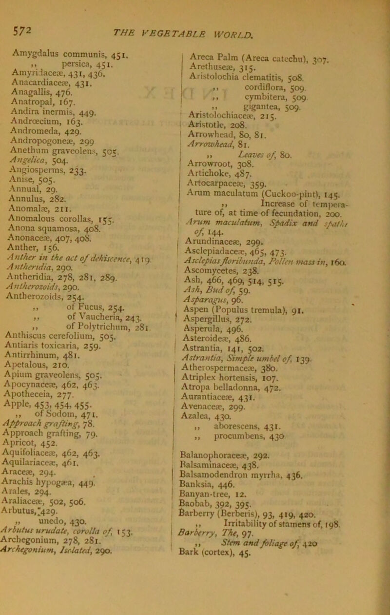 Amygdalus communis, 451. >> persica, 451. Amyriiacese, 431, 436. Anacardiacete, 431. Anagallis, 476. Anatropal, 167. Andira inermis, 449, Andrcecium, 163. Andromeda, 429. Andropogoneae, 299 Anethum graveolens, 505, Angelica, 504. Angiosperms, 233. Anise, 505. Annual, 29. Annulus, 282. Anomalas, 211. Anomalous corollas, 155. Anona squamosa, 408. Anonaccre, 407, 408. Anther, 156. Anther in the act of dehiscence, 419 Antheridia, 290. Antheridia, 278, 281, 289. Antherozoids, 290. Antherozoids, 254. ,, of Fucus, 254. ,, of Vaucheria, 243. ,, of Polytrichum, 281 Anthiscus cerefoliunt, 505. Antiaris toxicaria, 259. Antirrhinum, 481. Apetalous, 210. Apium graveolens, 505. Apocynacete, 462, 463. Apotheceia, 277. APPle, 453- 454, 455- ,, of Sodom, 471. Approach grafting, 78. Approach grafting, 79. Apricot, 452. Aquifoliaceae, 462, 463. Aquilariaceae, 461. Araceae, 294. Arachis hypogtea, 449. A rales, 294. Araliacete, 502, 506. Arbutus,^429. „ unedo, 430. A rbutus urudate, corolla of 153. Archegonium, 278, 281. Archegonium, Isolated, 290. | Areca Palm (Areca catechu), 307. Arethuseas, 315. Aristolochia clematitis, 508. ,, cordiflora, 509. ,, cymbitera, 509 gigantea, 509. Aristolochiacea?, 215. Aristotle, 208. ! Arrowhead, 80, 81. Arrowhead, 81. „ Leaves of, 80. ; Arrowroot, 308. Artichoke, 487. Artocarpacea.', 359. Arum maculatum (Cuckoo-pintl, 145. >, Increase of tempeia- I ture of, at time of fecundation, 200. Arum maculatum, Spadix and spat/',/ of, 144. j Arundinaceee, 299. Asclepiadacete, 465, 473. Asclepiasfloribunda. Pollen mass in, 160. Ascomycetes, 238. Ash, 466, 469, 514, 515. Ash, Bud of, 59. Asparagus, 96. , Aspen (Populus trcmula), 91. I Aspergillus, 272. Asperula, 496. Asteroideas, 486. Astrantia, 141, 502. Astrantia, Simple umbel of, 139. I Atherospermaceas, 380. 1 Atriplex hortensis, 107. Atropa belladonna, 472. Aurantiaceae, 431. i Avenaceae, 299. ! Azalea, 430. ,, aborescens, 431. ,, procumbens, 430 Balanophoraceae, 292. Balsaminaceae, 438. | Balsamodendron myrrha, 436, Banksia, 446. ; Banyan-tree, 12. Baobab, 392, 395. Barberry (Berberis), 93, 419, 420. ,, Irritability of stamens of, 198. Barberry, The, 97. ,, Stem and foliage of, 420 Bark (cortex), 45.