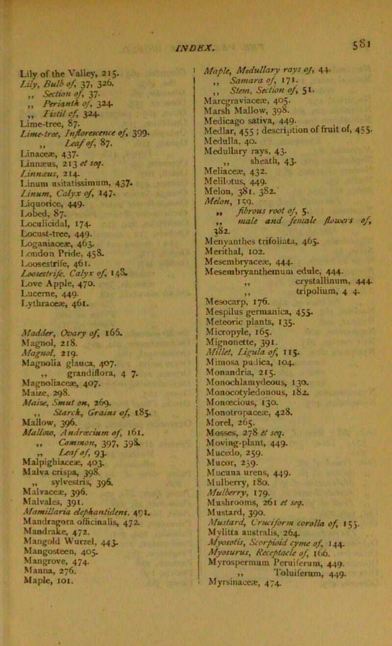 Lily of the Valley, 215. Lily, Bulb of 37, 326. „ Section of 37. ,, Perianth of 324. „ Pistil cf 324. Lime-tree, 87. Lime-tree, Inflorescence of 399- „ Leaf of 87. Linaceae, 437- Linnaeus, 213 et seq. Linnaeus, 214 Linum usitatissimum, 437- Linum, Calyx cf, 147- Liquorice, 449. Ix>bed, 87. Ixtculicidal, 174. Locust-tree, 449. Loganiaceae, 463. I.ondon Pride, 458. Loosestrife, 461. Loosestrife, Calyx of 148. Love Apple, 470. Lucerne, 449. Lythracea:, 461. Madder, Ovary of l65- Magnol, 218. Magnol, 219. Magnolia glauca, 407. ,, grandiflora, 4 7. Magnoliaceae, 407. Maize, 298. Maize, Smut on, 269. ,, Starch, Grains of, 185. Mallow, 396. Mallow, Audrocciumof 16c. „ Common, 397, 398b „ Leaf of 93. Malpighiaceae, 403. Malva crispa, 398. „ sylvestris, 396. Malvaceae, 396. Mai vales, 391. Mamillaria depkantidens, 491, Mandragora officinalis, 472. Mandrake, 472. Mangold Wurzel, 443. Mangosteen, 405. Mangrove, 474. Manna, 276. Maple, 101. I Maple, Medullary rays oj, 44. ,, Samara of, 171. ,, Stem, Section oj, 51. Marcgraviaceae, 405. Marsh Mallow, 398. Medicago sativa, 449. Medlar, 455 ; description of fruit of, 455. Medulla, 40. Medullary rays, 43. „ sheath, 43. Meliaceae, 432. Melilotus, 449. Melon, 381, 382. Melon, K9. ,, fibrous root op, 5. „ male and female flowers of 382. Menyanthcs trifoliata, 465. Merithal, 102. Mesembryaceae, 444. Mesembryanthemum edule, 444. „ crystallinum, 444 ,, tripolium, 4 4 Mesocarp, 176. Mespilus germanica, 455. Meteoric plants, 135. Micropyle, 165. Mignonette, 391. Millet, Lipytla of, 115- Mimosa pudica, 104 Monandria, 215. ' Monochlamydeous, 130. ] Monocotyledonous, 182. ■ Monoecious, 130. Monotropaceae, 428. J Morel, 265. i Mosses, 278 et seq. I Moving-plant, 449. Mucedo, 259. Mucor, 239. Mucuna urens, 449. 1 Mulberry, 180. Mulberry, 179. Mushrooms, 261 et seq. Mustard, 390. Mustard, Cruciform corolla of, 155. Mylitta australis, 264. Myosotis, Scorpioid cyme of 144. Myosurus, Receptacle of 166. Myrospermum Peruiferum, 449. ,, Toluiferum, 449. ■ Myrsinaceie, 474