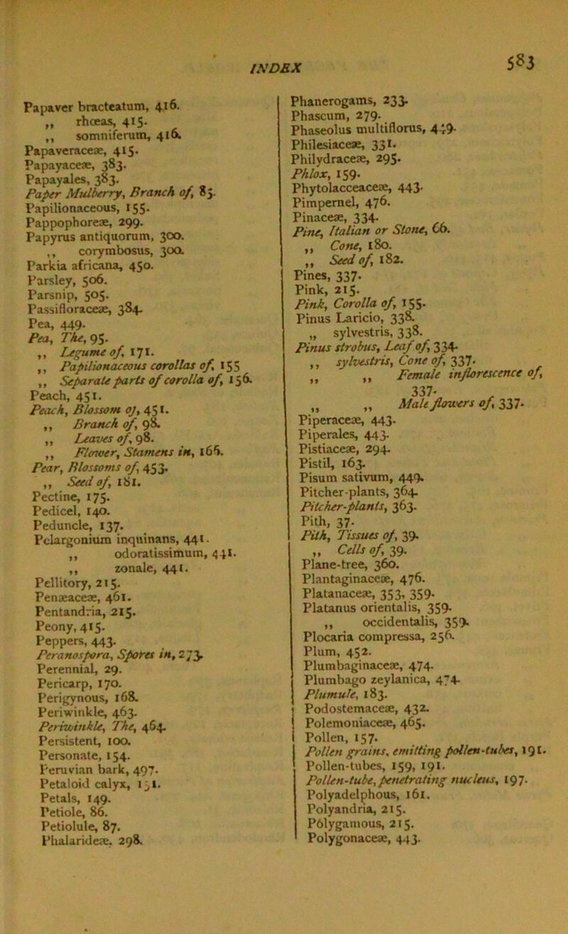 5*3 Papaver bracteatum, 416. „ rhoeas, 415. ,, somniferum, 410. Papavcraceae, 415. Papayaceae, 383. Papayales, 383. Paper Mulberry, Branch of, 05. Papilionaceous, 155. Pappophoreae, 299. Papyrus antiquorum, 300. ,, corymbosus, 300. Parkia africana, 450. Parsley, 506. Parsnip, 505. Passifioraceae, 384. Pea, 449. Pea, The, 95- ,, Legume of 171. ,, Papilionaceous corollas of 155 ,, Separate parts of corolla of, 156- Peach, 451. Peach, Blossom oj, 451. ,, Branch of, 98. ,, Leaves of, 98. ,, Flower, Stamens in, 16 5. Pear, Blossoms of, 453. ,, Seed of, 181. Pectine, 175. Pedicel, 140. Peduncle, 137. Pelargonium inquinans, 441. ,, odoratissimum, 441. ,, zonale, 441. Pellitory, 215. Penaeaceae, 461. Pentandria, 215. Peony, 415. Peppers, 443. Peranospora, Spores in, 273. Perennial, 29. Pericarp, 170. Perigynous, 168. Periwinkle, 463. Periwinkle, The, 464. Persistent, 100. Personate, 154. Peruvian bark, 497. Petaloid calyx, 1 jl. Petals, 149. Petiole, 86. Petiolule, 87. Phalaridete, 298. Phanerogams, 233. Phascum, 279. Phaseolus multiflorus, 4.',9- Philesiaceas, 331. Philydracese, 295. Phlox, 159. Phytolacceaceai, 443. Pimpernel, 476. Pinaceae, 334- Pine, Italian or Stone, Co. ,, Cone, 180. ,, Seed of, 182. Pines, 337. Pink, 215. Pink, Corolla of, 155- Pinus Laricio, 338. „ sylvestris, 338. Pinus strobus. Leaf of, 334. ,, sylvestris. Cone of, 337- „ ,, Female inflorescence of, 337. „ „ Malt flowers of, 337. Piperaceae, 443. Piperales, 443. Pistiaceae, 294. Pistil, 163. Pisum sativum, 449. Pitcher-plants, 364. Pitcher-plants, 363. Pith, 37- Pith, 'Tissues of, 39. „ Cells of, 39- Plane-tree, 360. Plantaginaceoe, 476. Platanaceas, 353, 359. Platanus orientalis, 359- ,, occidentalis, 359. Plocaria compressa, 256. Plum, 452. Plumbaginaceae, 474 Plumbago zeylanica, 474 Plumule, 183. Podostemacete, 432. Polemoniaceae, 465. Pollen, 157. Pollen grains. emitting pollen-tubes, 191. Pollen-tubes, 159, 191. Pollen-tube,penetrating nucleus, 197. Polyadelphous, 161. Polyandria, 215. Pftlygamous, 215. Polygonaceae, 443.