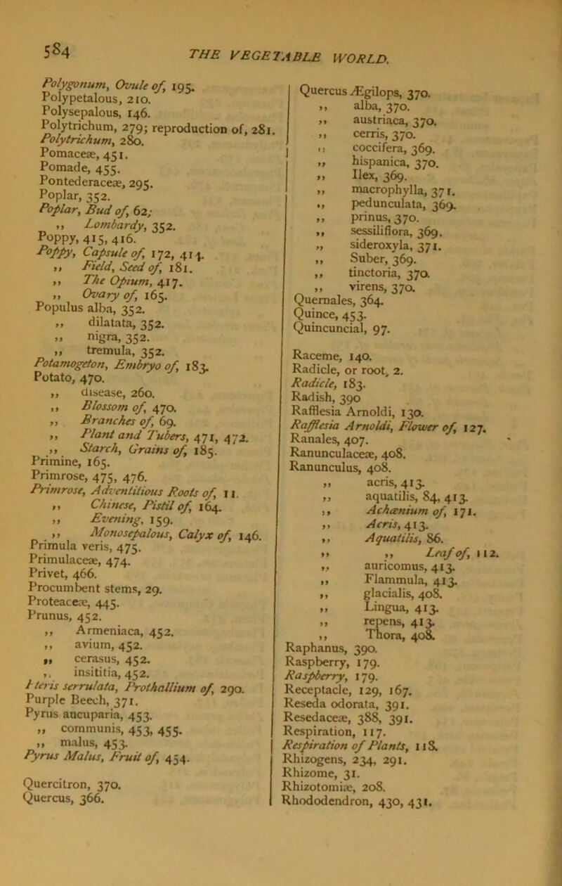 5S4 the VEGETABLE Polygonum, Ozmle of, 195. Polypetalous, 210. Polysepalous, 146. Polytrichum, 279; reproduction of, 281. Polytrichum, 280. Pomaceas, 451. Pomade, 455. Pontederacese, 291;. Poplar, 352. Poplar, Bud of, 62; ,, Lombardy, 352. p°ppy. 415.416. Poppy, Capsule of 172, 414. >> Field, Seed of, 181. ,, The Opium, 417. „ Ovary of, 165. Populus alba, 352. ,, dilatata, 352. „ nigra, 352. „ tremula, 352. Potamogeton, Embryo of, 183. Potato, 470. „ disease, 260. ,, Blossom of 470. „ Branches of 69. ,, Plant and Tubers, 471, 472. ,, Starch, Grains of 185. Primine, 165. Primrose, 475, 476. Primrose, Adventitious Roots of, ii. ,, Chinese, Pistil of, 164. ,, Evening, 159. ,, Monoscpalotis, Calyx of, 146. Primula veris, 475. Primulace*, 474. Privet, 466. Procumbent stems, 29. Proteaceas, 445. Prunus, 452. ,, Armeniaca, 452. ,, avium, 452. ,, cerasus, 452. insititia, 452. I teris serru/ata, Prothallium of 290. Purple Beech, 371. Pyrus aucuparia, 453. » communis, 453, 455. ,, malus, 453. Pyrus Malus, Fruit of, 454. Quercitron, 370. Quercus, 366. WORLD. Quercus/Egilops, 370. ,, alba, 370. ,, austriaca, 370. » cerris, 370. 1. coccifera, 369. „ hispanica, 370. ,, Ilex, 369. „ macrophylla, 371. 1, pedunculata, 369. ,, prinus, 370. ,, sessilifiora, 369. „ sideroxyla, 371. ,, Suber, 369. „ tinctoria, 370. ,, virens, 37a Quemales, 364. Quince, 453. Quincuncial, 97. Raceme, J40. Radicle, or root, 2. Radicle, 183. Radish, 390 Rafflesia Arnoldi, 130. Rafjlesia Arnoldi, Flower of, 127. Ranales, 407. Ranunculacece, 408. Ranunculus, 408. ft acris, 413* ,, aquatilis, 84, 413. I, Achanium of, 171. ,, Acris, 413. ,, Aquatilis, 86. >> ,, Leaf of, 112 ,, auricomus, 413. ,, Flammula, 413. ,, glacialis, 408. „ Lingua, 413. „ repens, 413. ,, Thora, 408. Raphanus, 390. Raspberry, 179. Raspberry, 179. Receptacle, 129, 167. Reseda odorata, 391. Resedacete, 388, 391. Respiration, 117. Respiration of Plants, 11S. Rhizogens, 234, 291. Rhizome, 31. Rhizotomias, 20S. Rhododendron, 430, 431. » » M It