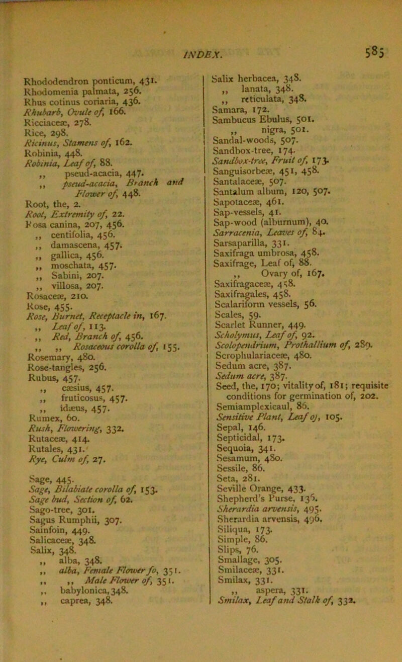 Rhododendron ponticum, 431. Rhodomenia palmata, 256. Rhus cotinus coriaria, 436. Rhubarb, Ovule of, 166. Ricciaceae, 278. Rice, 298. Ricinus, Stamens of, 162. Robin ia, 448. Robtnia, Leaf of, 88. ,, pseud-acacia, 447- ,, pseud-acacia, Branch and Blower of, 448. Root, the, 2. Root, Extremity of, 22. Rosa canina, 207, 456. ,, centifolia, 456. ,, damascena, 457. „ gallica, 456. ,, moschata, 457. ,, Sabini, 207. ,, villosa, 207. Rosacea;, 210. Rose, 455- Rose, Burnet, Receptacle in, 167. „ Leaf of, 1x3. ,, Red, Branch of, 456. ,, ,, Rosaceous corolla of 155. Rosemary, 480. Rose-tangles, 256. Rubus, 457. „ cassius, 457. ,, fruticosus, 457. „ idams, 457. Rumex, 60. Rush, Flowering, 332. Rutaceae, 414. Rutales, 431. Rye, Culm of, 27. *age, 445- Sage, Bilabiate corolla of, 15 3. Sage bud, Section of, 62. Sago-tree, 301. Sagus Rumphii, 307. Sainfoin, 449. Salicaceae, 348. Salix, 348. „ alba, 348. ,, alba, Female Flower fo, 351. ,, ,, Male Flower of, 351. ,, baby lonica, 348. ,, caprea, 348. Salix herbacea, 34 8. „ lanata, 348. ,, reticulata, 348. Samara, 172. Sambucus Ebulus, 501. „ nigra, 501. Sandal-woods, 5°7- Sandbox-tree, 174. Sandbox-tree, Fruit of 173. Sanguisorbece, 451, 458. Santalaceae, 507. Santalum album, 120, 5°7- Sapotaceae, 461. Sap-vessels, 41. Sap-wood (alburnum), 40. Sarracenia, Leaves of, 84. Sarsaparilla, 331. Saxifraga umbrosa, 458. Saxifrage, Leaf of, 88. ,, Ovary of, 167. Saxifragaceas, 4^8. Saxifragales, 458. Scalarifonn vessels, 56- Scales, 59. Scarlet Runner, 449. Scholymus, Leaf of, 92. Scolopendrium, Prothallium of, 289. Scrophulariacese, 480. Sedum acre, 387. Sedum acre, 387. Seed, the, 170; vitality of, 181; requisite conditions for germination of, 202. Semiamplexicaul, 86. Sensitive Plant, Leaf oj, 105. Sepal, 146. Septicidal, 173. Sequoia, 341. Sesamum, 4So. Sessile, 86. Seta, 281. Seville Orange, 433. Shepherd’s Purse, 136. Sherardia arvensis, 495. Sherardia arvensis, 496. Siliqua, 173. Simple, 86. Slips, 76. Smallage, 305. Smilaceae, 331. Smilax, 331. „ aspera, 331. Smilax, Leaf and Stalk of, 332.