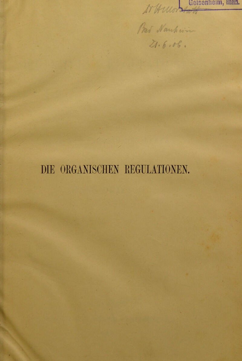 /3>/ % DIE ORGANISCHEN EEGULATIONEN.