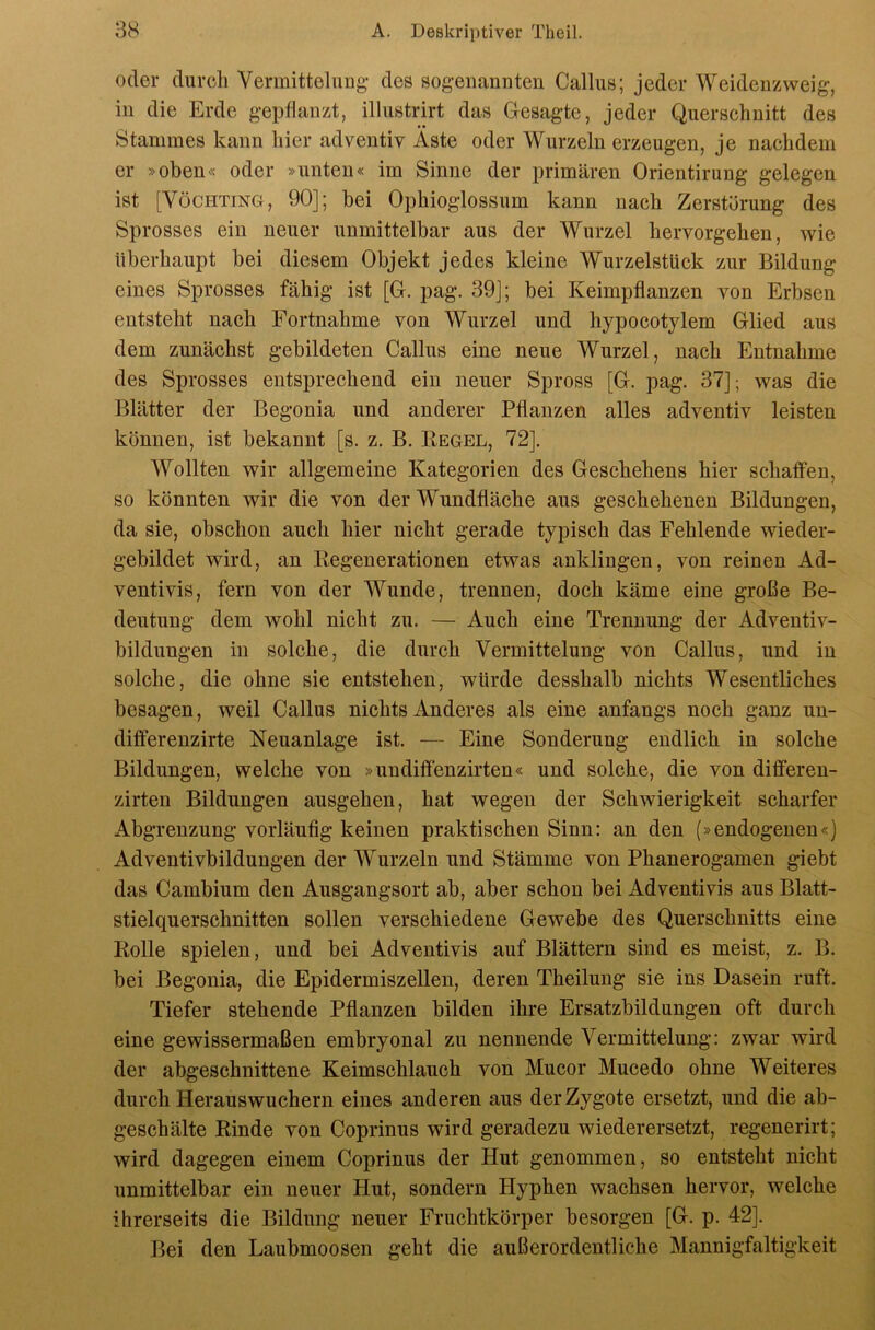 oder durcli Vermittelung- des sogenannten Calliis; jeder Weidenzweig, in die Erde gepflanzt, illustrirt das Gesagte, jeder Querschnitt des Stammes kann hier adventiv Äste oder Wurzeln erzeugen, je nachdem er »oben« oder »unten« im Sinne der primären Orientirung gelegen ist [VöcHTiNG, 90]; bei Ophioglossum kann nach Zerstörung des Sprosses ein neuer unmittelbar aus der Wurzel hervorgehen, wie überhaupt bei diesem Objekt jedes kleine Wurzelstück zur Bildung eines Sprosses fähig ist [G. pag. 39]; bei Keimpflanzen von Erbsen entsteht nach Fortnahme von Wurzel und hypocotylem Glied aus dem zunächst gebildeten Gallus eine neue Wurzel, nach Entnahme des Sprosses entsprechend ein neuer Spross [G. pag. 37]; was die Blätter der Begonia und anderer Pflanzen alles adventiv leisten können, ist bekannt [s. z. B. Eegel, 72]. Wollten wir allgemeine Kategorien des Geschehens hier schaffen, so könnten wir die von der Wundfläche aus geschehenen Bildungen, da sie, obschon auch hier nicht gerade typisch das Fehlende wieder- gebildet wird, an Kegenerationen etwas anklingen, von reinen Ad- ventivis, fern von der Wunde, trennen, doch käme eine große Be- deutung dem wohl nicht zu. — Auch eine Trennung der Adventiv- bildungen in solche, die durch Vermittelung von Gallus, und in solche, die ohne sie entstehen, würde desshalb nichts Wesentliches besagen, weil Gallus nichts Anderes als eine anfangs noch ganz un- dififerenzirte Neuanlage ist. — Eine Sonderung endlich in solche Bildungen, welche von »undiffenzirten« und solche, die von differen- zirten Bildungen ausgehen, hat wegen der Schwierigkeit scharfer Abgrenzung vorläufig keinen praktischen Sinn: an den (»endogenen«) Adventivbildungen der Wurzeln und Stämme von Phanerogamen giebt das Gambium den Ausgangsort ab, aber schon bei Adventivis aus Blatt- stielquerschnitten sollen verschiedene Gewebe des Querschnitts eine Kolle spielen, und bei Adventivis auf Blättern sind es meist, z. B. bei Begonia, die Epidermiszellen, deren Theilung sie ins Dasein ruft. Tiefer stehende Pflanzen bilden ihre Ersatzbildungen oft durch eine gewissermaßen embryonal zu nennende Vermittelung: zwar wird der abgeschnittene Keimschlauch von Mucor Mucedo ohne Weiteres durch Herauswuchern eines anderen aus der Zygote ersetzt, und die ab- geschälte Kinde von Goprinus wird geradezu wiederersetzt, regenerirt; wird dagegen einem Goprinus der Plut genommen, so entsteht nicht unmittelbar ein neuer Hut, sondern Hyphen wachsen hervor, welche ihrerseits die Bildung neuer Fruchtkörper besorgen [G. p. 42]. Bei den Laubmoosen geht die außerordentliche Mannigfaltigkeit