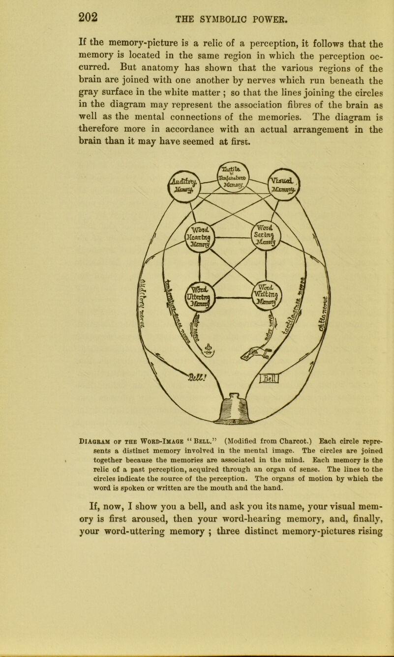 If the memory-picture is a relic of a perception, it follows that the memory is located in the same region in which the perception oc- curred. But anatomy has shown that the various regions of the brain are joined with one another by nerves which run beneath the gray surface in the white matter ; so that the lines joining the circles in the diagram may represent the association fibres of the brain as well as the mental connections of the memories. The diagram is therefore more in accordance with an actual arrangement in the O brain than it may have seemed at first. Diagram of the Word-Image “ Bell.” (Modified from Charcot.) Each circle repre- sents a distinct memory involved in the mental image. The circles are joined together because the memories are associated in the mind. Each memory is the relic of a past perception, acquired through an organ of sense. The lines to the circles indicate the source of the perception. The organs of motion by which the word is spoken or written are the mouth and the hand. If, now, I show you a bell, and ask you its name, your visual mem- ory is first aroused, then your word-hearing memory, and, finally, your word-uttering memory ; three distinct memory-pictures rising