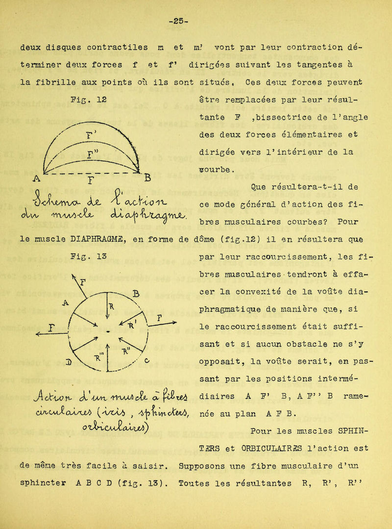 -25- deux disques contractiles m et m.’ vont par leur contraction dé- terminer deux forces f et f’ dirigées suivant les tangentes à la fibrille aux points où ils sont situés, Ces deux forces peuvent être remplacées par leur résul- Pig. 12 qVv-v W\aaA I tante P ,bissectrice de l’angle des deux forces élémentaires et dirigée vers l’intérieur de la courbe. Que résultera-t-il de ce mode général d’action des fi- bres musculaires courbes? Pour le muscle DIAPHRAGMA, en forme de dôme (fig.12) il en résultera que Pig . 13 par leur raccourcissement, les fi bres musculaires - tendront à effa- cer la convexité de la voûte dia- phragmatique de manière que, si le raccourcissement était suffi- sant et si aucun obstacle ne s’y opposait, la voûte serait, en pas sant par les positions intermé- J\ obu? n- X- Ww 'tl'uuh cZt cv 'l&rJlà. diaires A P’ B, A P’’ B rame- caa-Cvu^oJwxjA ; née au plan A P B. Poiir les milscies SPHIN- TARS et ORBICULAIRAS l’action est de même très facile à saisir. Supposons une fibre musculaire d’un sphincter A B C D (fig. 13). Toutes les résultantes R, R’, R’