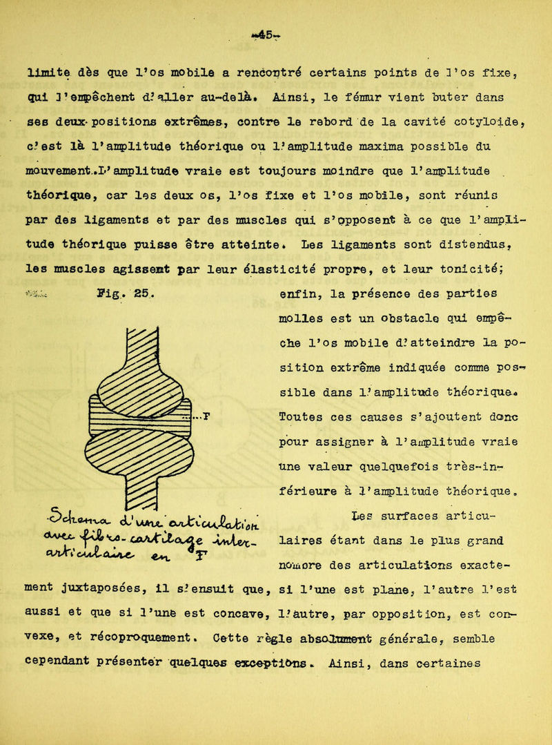 limite dès que l’os mobile a rencontré certains points de 3’os fixes qui 3’empêchent d.’aller au-delà» Ainsi, le fémur vient buter dans ses deux-positions extrêmes, contre le rebord de la cavité cotyloide, c’est là l’amplitude théorique ou l’amplitude maxima possible du mouvement.»!’amplitude vraie est toujours moindre que l’amplitude théorique, car les deux os, l’os fixe et l’os mobile, sont réunis par des ligaments et par des muscles qui s’opposent à ce que l’ampli- tude théorique puisse être atteinte* Les ligaments sont distendus, les muscles agissent par leur élasticité propre, et leur tonicité; enfin, la présence des parties molles est un obstacle qui empê- che l’os mobile d?atteindre la po- sition extrême indiquée comme pos- sible dans l’amplitude théorique.» Toutes ces causes s’ajoutent donc pour assigner à l’amplitude vraie une valeur quelquefois très-in- férieure à l’amplitude théorique» Les surfaces articu- laires étant dans le plus grand nom ore des articulations exacte- ment juxtaposées, il s’ensuit que, si l’une est plane, l’autre l’est aussi et que si l’une est concave, 1.’autre, par opposition, est con- vexe, et récoproquement. Cette règle absolument générale, semble cependant présenter quelques exceptions » Ainsi, dans certaines 2?ig.* 25. cL’uaw. ft/ufctouJlcJcîôH. <W*X' 'Wk'Oû- UXAÀrilo^e -MvW- c\a)cC c*jJLûl+ji4* ^